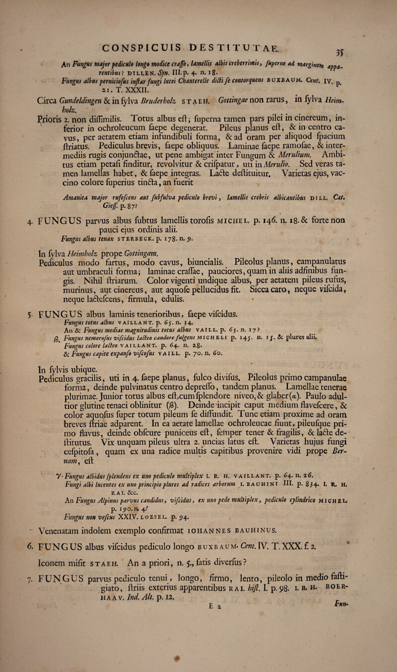 An Fungus major pediculo longo modice crajfo, lamellis albis creberrimis, fuperne ad marginem appa¬ rentibus? DiLLEN. Syn. III.p. 4. n. i8* Fungus albus perniciofus injlar fungi lutei Chanterelle diftife contorquens buxbaum. Cent. iy, p. 21. T. XXXII. Circa Gundeldingen & in fylva Bruderholz s t a e h. Gottingae non rarus, in fylva Heim- holz. Prioris 2. non diflimilis. Totus albus eft; fuperna tamen pars pilei in cinereum, in¬ ferior in ochroleucum faepe degenerat. Pileus planus eft, & in centro ca¬ vus, per aetatem etiam infundibuli forma, & ad oram per aliquod lpacium ftriatus. Pediculus brevis, faepe obliquus. Laminae faepe ramofae, & inter¬ mediis rugis conjundtae, ut pene ambigat inter Fungum & Merulum, Ambi¬ tus etiam petali finditur, revolvitur & crifpatur, uti in Merulio. Sed veras ta¬ men lamellas habet, & faepe integras. Lafte deftituitur. Varietas ejus, vac¬ cino colore fuperius tinfta, an fuerit Amanita ?najor rufefcens aut fubfulva pediculo brevi , lamellis crebris albicantibus pill. Cat* Giejf. p. 87? ' 4. FUNGUS parvus albus fub tus lamellis torofis michel. p. 146. n. i8-& forte non pauci ejus ordinis alii. Fungus albus tenax sterbeck. p. 178. n. In fylva Heimholz prope Gottingam. Pediculus modo fartus, modo cavus, biuncialis. Pileolus planus, campanulattis aut umbraculi forma; laminae craftae, pauciores, quam in aliis adfinibus fun¬ gis. Nihil ftriarum. Color vigenti undique albus, per aetatem pileus rufus, murinus, aut cinereus, aut aquofe pellucidus fit. Sicca caro, neque vifcida, neque laflefcens, firmula, edulis* 5- FUNGUS albus laminis tenerioribus, faepe vifcidus. Fungus totus albus vaillant. p. 65. n. 34. A11 Sc Fungus mediae magnitudinis totus albus vAI ll. p. 63. 11. 17? /8 Fungus nemorofus vifcidus latteo candore fulgens micheli p. 145* n° 1 j. & plures alii* Fungus colore latteo v aillant. p. 64. n. 28. & Fungus capite expanfo vifcofus vaill. p. 70.11. 6oa ^ 1 t In fylvis ubique. Pediculus gracilis, uti in 4. faepe planus, fulco divifus. Pileolus primo campanulae forma, deinde pulvinatus centro deprefto, tandem planus. Lamellae tenerae plurimae. Junior totus albus efhcumfplendore niveo, & glaber (ct). Paulo adul- tior glutine tenaci oblinitur (/3). Deinde incipit caput medium flavefcere, & color aquofus fuper totum pileum fe diffundit. Tunc etiam proxime ad oram breves ftriae adparent. In ea aetate lamellae ochroleucae fiunt, pileufque pri¬ mo flavus, deinde obfcure puniceus eft, femper tener & fragilis, & ladte de- ftitutus. Vix unquam pileus ultra 2. uncias latus eft. Varietas hujus fungi cefpitofa, quam ex una radice multis capitibus provenire vidi prope Ber- nam, eft y • Fungus albidus fplendens ex uno pediculo multiplex I. R. H. vaillant. p. 64. n. 26. Fungi albi lucentes ex uno principio plure s ad radices arborum 1. bauhint III. p. 854* fc» H. 11 Ai. &c. An Fungus Alpinus parvus candidus, vifcidus, ex uno pede multiplex, pediculo cylindrico michel, p. 190. n. 4? Fungus non vefcus XXIV. loesel. p. 24* ' Venenatam indolem exemplo confirmat 1011 annes bauhinus. 6. FUNGUS albus vifcidus pediculo longo buxbaum. Cent, IV. T.XXX. f. 2. Iconem mifit staeh. An a priori, n* J., fatis diverfus? 7. FUNGUS parvus pediculo tenui, longo, firmo, lento, pileolo in medio fafti- . giato, ftriis exterius apparentibus r a 1. hifi, I. p. 98* 1. R* H* boer- H A a v. Ind. Alt. p. 12. E 2 ***