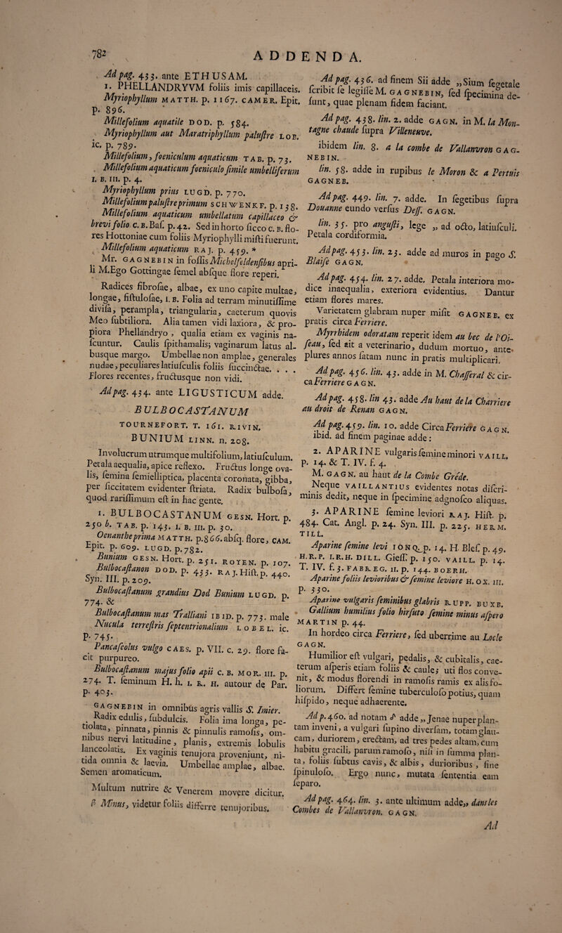 Adpag. 435. ante ETHUSAM. Ad pap 4.2 G ad finem Qi,* c* r 1 x. PHELLANDRYVM foliis imis capillaceis, fcribit feigiiieM. g a g n e b i n, fed foelSa dt Mpwphyllum m ATTH. p. 1167. CAMER. Epit. fune, quae plenam fidem faciant. P o96. 89^. Millefolium aquatile dod. p. 534. Myriopbyllum aut Maratripbjllum paluftre loe. ic. p. 7s<?. Millefolium, foeniculum aquaticum tab. p. 75. Millefolium aquaticum foeniculo jimile umbelliferum 1. b. iii. p. 4. Myriopbyllum prius lugd. p. 770. Adpag. 438. lin. 2. adde gagn, in M. Ia Mon- tagne cbaude fupra Villeneuve. ibidem lin. 8. ** /4 combe de Vallanvron g ag- N E B I N. Im. 58. adde in rupibus le Moron 5c a Pertuis GAGNEB. F. p.,. 8. DffJ* *r- «£*J**~ *• Millefolium aquaticum umbellatum capillaceo & brevi folio c.B.Baf p. 42. Sed in horto ficco c. b flo- n PF0 an£uftl> lege „ ad o&o, latiufculi. res Hottoniae cum foliis Myriophyllimiftifuerunt. 1 £ta a C(>rdltormia- 1 Jf‘llefolimn aquaticum raj, p. 459. * 4Jj. lin. 2;. adde ad muros in pavo S. Mi. g a g ne b i n m follis Michelfeldenjibus apri- Blaife gagn, li M.Ego Gottingae femel ablquc flore reneri a a ■p j. CT r u 1 P v Mf*g' lm' 2 adde' Petala interiora mo- Kadices hbrolae, albae, ex uno capite multae, dlce inaequalia, exteriora evidentius. Dantur longae, fiftulolae, l. b. Folia ad terram minutiflime etiam flores mares. divila, perampla, triangularia, caeterum quovis Varietatem glabram nuper mifit gagneb. ex Meo fubtiliora. Alia tamen vidi laxiora, & pro- pratis circa Ferriere. piora Phellandryo , qualia etiam ex vaginis na- Myrrhidem odoratam reperit idem au bec de l’Oi- Icuntur. Caulis fpithamalis; vaginarum latus al- feau> Ped sit a veterinario, dudum mortuo, ante busque margo. Umbellae non amplae, generales Plures annos fatam nunc in pratis multiolicari nudae, peculiares latiufculis foliis fuccincfae_ __ .... T Flores recentes, frudtusque non vidi. Adpag.454. ante LIGUSTICUM adde. BULBOCASTANUM TOURNEFORT. T. l6l. R.1VIN. BUNIUM linn. n. 208. Involucrum utrumque multifolium, latiufculum. Petala aequalia, apice reflexo. Fruttus longe ova¬ lis, femina femielliptica, placenta coronata, gibba, per ficcitatem evidenter flriata. Radix bulbola, quod rariflimum eft in hac gente o Adpag. 456. im. 43. adde in M. Chajferal &: cir¬ ca Ferriere gagn. Adpag. 458. lin 43. adde Au baut dela Cbarriere au droit de Renan gagn. Adpag. 4557. lin. 10. adde Circa Ferriere gagn. lbid. ad finem paginae adde : 2. APAR1NE vulgarisfemineminori vatll p. 14.&T. IV.jf.4. M^ gagn. au ha ut de la Combe Grede. Neque va tll antius evidentes notas diferi- minis dedit, neque in fpecimine adgnofco aliquas. 1. BULBOCASTANUM gesn. Hort. p. }' ^PARINE femine leviori raj. Hift. p. 2 J° l' T AB. p. I4J. J. B. m, p. jo. 4 8 4 ' P' 2d- Syn. III. p. 22 J. HERM. Oenanthe prima m atth. p.gCd.abfq. flore. Cam. tpit. p. G09. LUGD. p.782. Bunium gesn. Hort. p. 2Jr. rotem, p. I07. Bulhcaftanm do», p. 4JJ. ra j. Hift.p. 44o. Syn. III. p.209. hulbocaflanum grandius JDod Bunium lugd. p 774- & r* Bulbocajlanum mas Tralliani ibid. p. 773. male Nucula terrejlris feptentrionalium l o b e l. ic P* 745* . Bancafeolus vulgo caes. p. VII. c. 2?. flore fa¬ cit purpureo. Bulbocaftanum majus folio apii c. b. mor. ui. p. 274. T. feminum H. h. 1. r. h. autour de Par. p. 403. gagneb in in omnibus agris vallis S. Imier. a ix edulis, fubdulcis. Folia ima longa, pe- tIOklata’ P^nata, pinnis & pinnulis ramofis, om- Laui Tnij a VLli§ari lL1Pmc) diverlam, totamglau- mbus nervi latitudine , planis, extremis lobulis f3?1/ duriorie;m» eredtam, ad tres pedes altam,cum lanceolatis. Ex vaginis tenuiora proveniunt, ni- hablrtl!.?ra,ClTl3 parum ramofo, nili in fumma plan- tina omnia Rr 1^.0...:* tt 1 ’* * -- ta, roliis lubtus cavis, & albis, durioribus , flne TILt. Aparine femine levi 1 o n c^p. 14. FI. Blef p. 45). ' H. R. P, I. R. H. D 1 L L. GielE p. 130. VA1LL. p. 1 4. IV. f. 3. FABREG. IU p. 144. BOER H. Aparine foliis levioribus & femine leviore h. ox. 111. p. 330. Aparine vulgaris feminibus glabris e. u r p. b u x b. Gallium humilius folio birfuto femine minus afpero Martin p. 44. Jr In hordeo circa Ferriere, led uberrime au Locle gagn. Humilior efl vulgari, pedalis,. & cubitalis, cae¬ terum alperis etiam foliis & caule; uti flos conve¬ nit, & modus florendi in ramofis ramis ex alis fo¬ liorum. Differt femine tuberculofo potius, quam hifpido, neque adhaerente. Adp. 460. ad notam L adde„Jenae nuperplan- tam inveni, a vuigari fupino diverfam, totamglau- . , . o-pxuvtillUIU, 111- tida omnia Sc laevia n i „ oc laevia. Umbellae amplae, albae. Semen aromaticum. Multum nutrire & Venerem movprc dicitur, f Minus, videtur foliis difFcrre tenujoribus. _ ^ «xiuuuilJ y llliC lpinulolo. Ergo nunc, mutata fententia eam leparo. Adpag. 4^4. lin. 3. ante ultimum adde,, dansles Combes de Vallanvron. gagn. Al
