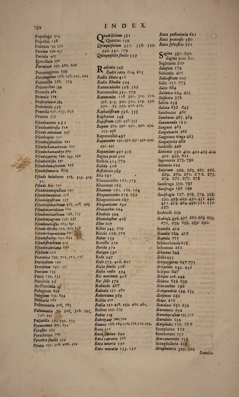 D E X. Popitlago 3*9 Populas ‘58 Porrum ’94 778 Porrum 2-96* 297 PortuU 40!7 Portulaca 392 Portulaca 395- 4°7* 608 Potamogeton 199 Potamogetou *78* 198* 20 202 Potentilla 338- 779 Prenanthes 7/4 Primula 48i Primula 722 P roferpinaca 182, Protentilla 358 Prunella 636* 637, 638 Prunus 355 P fetido ac orus 281 Pfeudoambrofia $4 * P fetido amomum 347 P feudo apios 596 Pfeudoafphodelus 29* Pfeudochamaebuxus 607 Pfeudochamaedrys Sx9 Pfeudvcyperus x39* 247» Pfeudocytifus 591 Pfeudodamafeonium 27<5 P/eudofumarta P feudo belieborus 318* 319» 319, 325 P feudo Iris 291 Pfeetidoleontopodium 703 Pfeudohmo doron 27 8 Pfeudoliguftrum 357 Pfeudolyfimacinum 4°7. 4°8. 4°9 Pfeudomanubium 660 Pfeudomelantbium 736. 737 Pfeudomy agrum 536 537 Pfeudonarciffus 285. 294 Pfeeudo-Orchis x7°> 277.278 Pfeudorbaponticum Pfeudoftacbys 642.643 P feudofiruthium 3 * 5 Pfeudovaleriana 666 PfyIlium 47 Q Ptarmica 799. 712. 7I3* 737 P teriadium 140 P teri dium Mc- : 4* Pterium 133 Pferw 13 2. 133 * Puccinia id AnPuccinia 17 Pulegium 659 Pulegium 651. 654 Pulicaria 1 81 \ Pulmonaria 516^ 783 9i Pulmonaria 73» 5*6, 518. 745, 746. 747 Pulfatilla 331« 332. 779 Pycnocomos 427. 671 pyrafier 3 53 Pyrethrum 7 20 Pyrethro fimilis 712 Pyrola 277. 3*6; 420f 421 1 N Quadrifolium 5 S1 ( QuerCus 1 79 Quinquefolium 357. 538* 3 39* 340. 341. 779 Quinquefolio fimilis 339 TJ adicula 548 604. (joy /^4^4 41 (5 Rhodia 394 Ranunculoides 328. 329 Ranunculus 321. 779 Ranunculus *28 3oc*' 301. 310. 318. 319. 320- 32f• 329* 33°. 331 • 33. 335* 412- 425« Raphaniftrum 5 3 (5. 555 Raphanus 548 Rapifirum 536- 548- 555 Rapum 379* 490, 49,*.49*» 494* 495- 498 Rapunculiis 497 Rapunculus 491.492.491A 492.494» 495* 497 Rapuntium 497 498 Regina prati 306 Reieda 3 15.779 Refeda 3 1 <5 Refiabovis 589 Rba 68 7 * Rhamnoides 1 6 /. 775 Rhamnus 1 6 3 Rhamnus 1 61. 162. 1 64 Rhaponticoides 678. 6g6 Rhaponticum 687 Rhaponticum 690 Rhinanthus 624 Rhodiola 394 Rhododaphne 408 607 Ribes 343. 779 Riccia 128. 77 2 159 Rorella 372 Rorida 372 Rorippa 550 Rofa 347 R°fa 373- 416. 417 Rofae fimilis 3 7'6 ivo/ftf 394 marinum 416 £0* folis 372 Rubeola 45f Rubeola 3 57* 460 Rubertiana 369 Rubia 462 457-45 8- 459* 46°- 461. Rubus 343- 779 348 Ruhrkraut 7°°*702 Rumex 168.169.170,171.172,174, Ruta 411 Ruta cdnina 620 Ruta capraria 576 lunaria 1 3 o Rata murari A 133. 137 pedicularia 621 pratenfis 380 /lata fylvefiris 3 61 387-390. ^ Sagina 300* 3or. Sagittaria 300 Sainfoin 574 Salicaria 4° 5 Salicafirum 507 Salix 151* 773 &//# 664 Saliunca 664, 665 Salfirora 372 Salvia 638 Salvia 63 2 643 Sambucus 465 Sambucus 463. 464 Sanamunda 18 7 > Sanguen 4^3 Sanguinaria 365 Sanguinea vinga 463 Sanguiforba 4^9 Sanicula 449 Sanicula 330- 400- 401403 404 405. 439* 611 Saponaria 373* 78° Satureia 616 Satyrium 262,, 263♦ 267. 266, 269. 270, 271, 272, 273. 274. 275. 277. 278 Saxifraga 399* 781 Saxifraga 186 189 Saxifragia 13% 308- 374* 388- 390. 428*429’ 430-43 442- 1.458- 464.486; 551-55^ ,587- Scabiola 669 iSfcfto/i 496.497 ^7- ^8 669c 671, 672. <688- 689* 690- Scandix 454 Scandix 184* 452 Scatiola 755' Scheuchzeria 258, Schoenus 25I Schoenus 244 4SV///4 293 Scirpocyperus 247.777 Scirpoides 243. 276 Scirpus 247 Scirpus 116. 244 Sclarea 638* 639 Scleranthus ig6 Scolopendria 134. 13^ Scolymus 6g6 Scopa 4*9 Scordium 631.632 Scorodonia 632 Scorodopraftim 2 9 5 * 7 7 8 Scorodotis 6 32 Scorpioides 719, 52 0 Scorpiurus 7*9 Scorzonera 777 Scorz.otieroides 77$ Scrophularia 618 - Scrophularia 321, 394 Scutella-