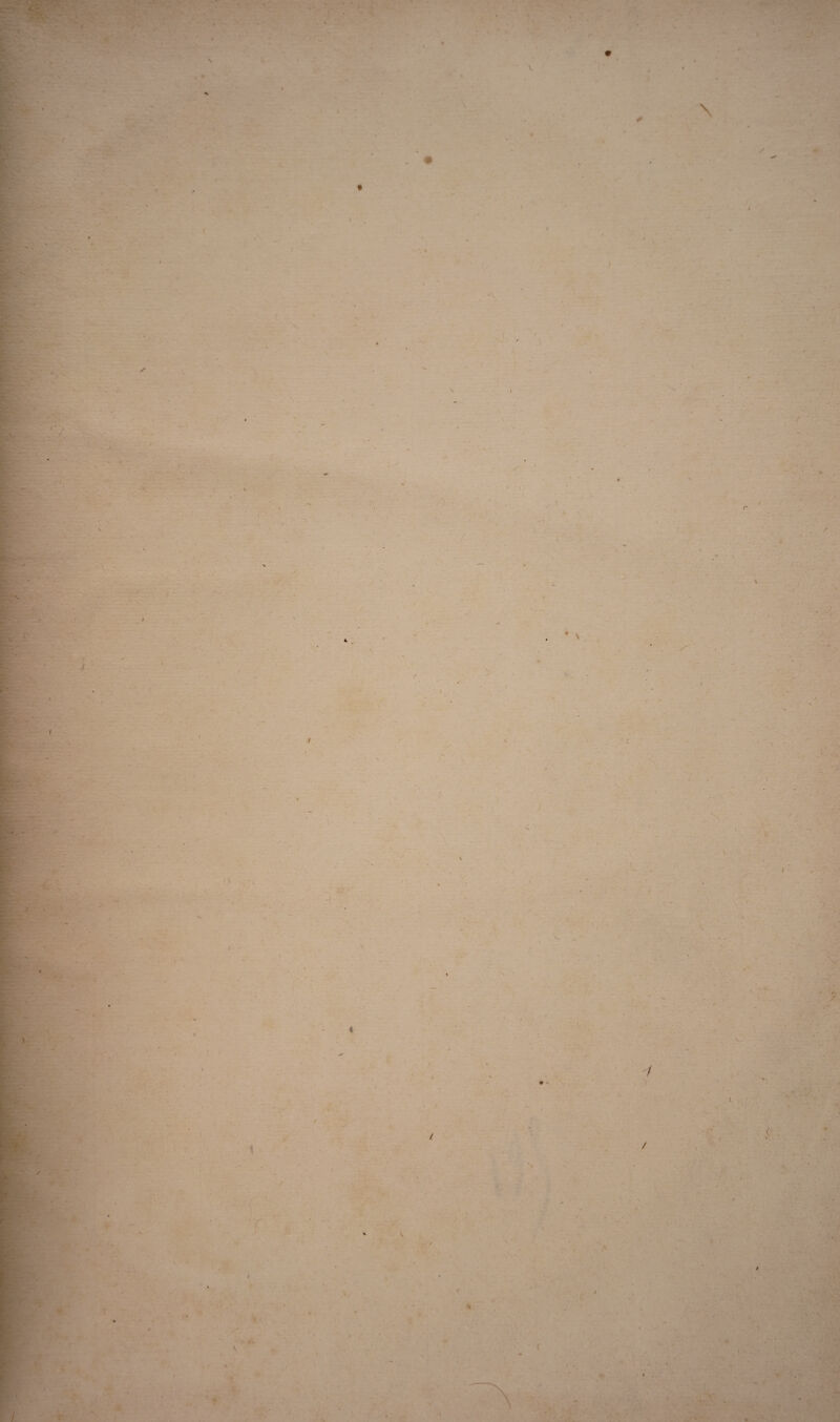 ' • ■ . ■ . \ ■•V 1 r. t s r ■y *- . . , V. . : v >• e • ■ > i. -* / ( i i ' » > . ■ * ■