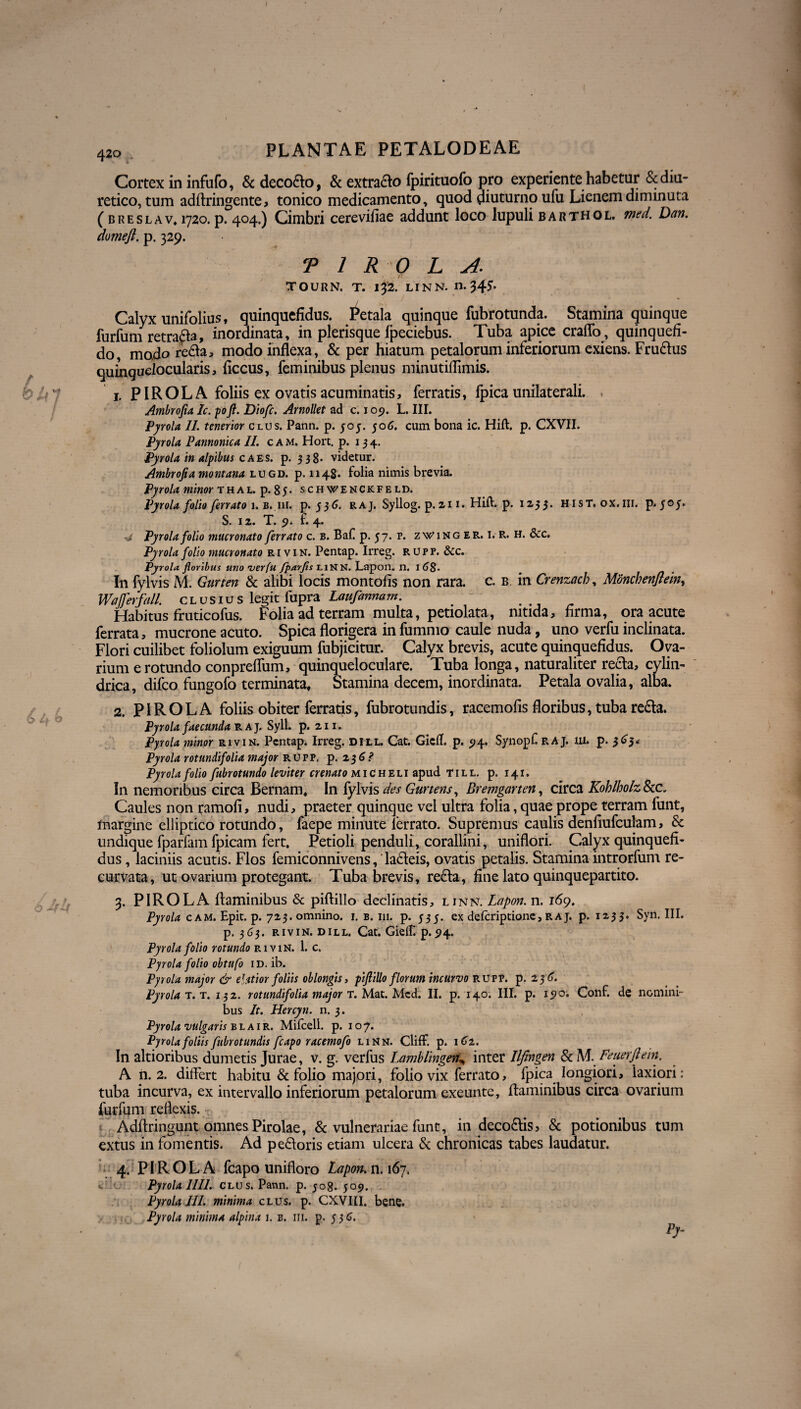 / / • 1 t b k 7 /A O 6 420 PLANTAE PETALODEAE Cortex in infufo, & decoflo, & extracto fpirituofo pro experiente habetur & diu¬ retico, tum adftringente, tonico medicamento, quod diuturno ufu Lienem diminuta (breslav. 1720. p. 404.) Cimbri cerevifiae addunt loco lupuli barthol. med. Dan. domejl. p. 329. T 1 R 0 L A. TOURN. T. 132. LINN. n. 345. Calyx unifolius, quinquefidus. Petala quinque fubrotunda. Stamina quinque furfum retra^a, inordinata, in plerisque fpeciebus. Tuba apice craflo, quinquefi- do, mado refla, modo inflexa, & per hiatum petalorum inferiorum exiens. Fruflus qumqudocularis, flccus, feminibus plenus minutiflimis. j. PIROLA foliis ex ovatis acuminatis, ferratis, lpica unilaterali. Ambrofia Ic. poft. Diofc. Arnollet ad c. 109. L. III. Pyrola II. tenerior clus. Pann. p. 505. 506. cum bona ic. Hift. p. CXVII. Pyrola Pannonica II. cam. Hort. p. 134. Pyrola in alpibus c aes. p. 33 8* videtur. Ambrofia montana lugd. p. 114S. folia nimis brevia. Pyrola minor thal. p. 85- schwenckfeld. Pyrola folio ferrato 1. b.iii. p. 536. raj. Syllog. p. 2 i i . Hift. p. 1233. hist. ox.m. p. yoy. S. 12. T. 9* f. 4. V Pyrola folio mucronato ferrato c. b. BaC p. 57. p. zwinger. i. r. h. &c. Pyrola folio mucronato r r v 1 n. Pentap. Irreg. rupp. &c. Pyrola floribus uno rver(u fparfis LiNN. Lapon. n. 168• In fylvis M. Gurten & alibi locis montofis non rara. c. b. in Crenzach, Monchenflem, Wafferfall. clusius legit fupra Laufannarn. _ . Habitus fruticofus. Folia ad terram multa, petiolata, nitida, firma, ora acute ferrata, mucrone acuto. Spica florigera in fummo caule nuda, uno verfu inclinata. Flori cuilibet foliolum exiguum fubjicitur. Calyx brevis, acute quinquefidus. Ova¬ rium e rotundo conpreflum, quinqueloculare. Tuba longa, naturaliter recta, cylin¬ drica, difeo fungofo terminata. Stamina decem, inordinata. Petala ovalia, alba. 2. PIROLA foliis obiter ferratis, fubrotundis, racemofis floribus, tuba refla. Pyrola faecunda raj. Syll. p. 211. Pyrola minor rivin. Pentap. Irreg. dill. Cat. Giefl. p. 5)4. Synopf RAJ. m. p. 365* Pyrola rotundifolia major rupp, p. 23 6? Pyrola folio fubrotundo leviter cr enato micheli apud till. p. 141. In nemoribus circa Bernam, In fylvis des Gurtens, Bremgarten, circa KoblholzScc. Caules non ramofi, nudi, praeter quinque vel ultra folia, quae prope terram funt, margine elliptico rotundo, faepe minute lerrato. Supremus caulis denfiufculam, & undique fparfam fpicam fert. Petioli penduli, corallini, uniflori. Calyx quinquefi¬ dus , laciniis acutis. Flos femiconnivens,'lafleis, ovatis petalis. Stamina introrfum re¬ curvata, ut ovarium protegant. Tuba brevis, refla, fine lato quinquepartito. 3. PIROLA flaminibus & piftillo declinatis, linm Lapon. n. 169. Pyrola cam. Epit. p. 723. omnino. 1. b. 111. p. 535. ex deferiptione, r a j. p. 1233. Syn. III. p. 363. rivin. dill. Cat. GielE p.5)4. Pyrola folio rotundo rivin. 1. c. Pyrola folio obtufo 1D. ib. Pyrola major & elatior foliis oblongis, pijlillo florum incurvo RUPP. p. 236. Pyrola t. t. 132. rotundifolia major t. Mat. Mcd. II. p. 140. III. p. 15)0. Conf. de nomini¬ bus It. Hercyn. n. 3. Pyrola vulgaris b l a i r. Mifceli. p. 107. Pyrola foliis fubrotundis fcapo racemofo linn. Cliff. p. 1C1. In altioribus dumetis Jurae, v. g. verfus Lamblingen„ inter Iljingen & M. Fe aer flem. A n. 2. differt habitu & folio majori, folio vix ferrato, lpica longiori, laxiori: tuba incurva, ex intervallo inferiorum petalorum exeunte, flaminibus circa ovarium furfum reflexis. Adflringunt omnes Pirolae, & vulnerariae funt, in decoflis, & potionibus tum extus in fomentis. Ad pefloris etiam ulcera & chronicas tabes laudatur. 4. PIROLA fcapo unifloro Lapon. n. 167. Pyrola 1111. clus. Pann. p. 508. 509. Pyrola III. minima clus. p. CXVIII. bene. Pyrola minima alpina 1. b. iii. p. 5 3 C. Py-