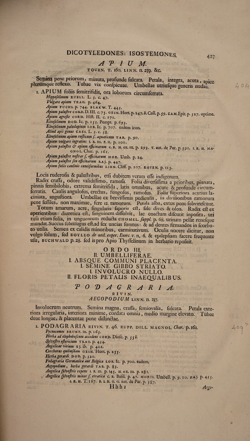 ■27 ATIUM. TOURN. T. l6o. LINN. n. 239. &C. Semina pene priorum, minuta, profunde fulcata. Petala, integra, acuta, aD;ce plerumque reflexo. Tubae vix conlpicuae. Umbellae utriufque generis nudae. 1. APIUM foliis lemitrifidis, ora loborum circumferrata. Hippofelinum ruell. L. 5. c. 47. Vulgare apium trag. p. 464. Apium FUCHS. p. 744. BLAKW. T. 445. Ajium pMuftre c oU III c. 7 j. g e s N. Hort. p. z„. k Coli. p.,j.c A M.Epic. p.Sz7. optime. Apium agrefte cord. Hift. II. c. 171. r r Eieofelinum dod. Ic. p. 133. Pempt. p.695. Eieofelinum paludapium lob. Ic. p. 707. eadem icon. Aliud apii genus caes. L. 5. c. 38. Eieofelinum apium rufiicum fi. aquaticum t ab. p. 90. Apium vulgare ingratius 1. b. m. p. n. p. IOo. Apiumpalufire & apium officinarum c. b. H.ox.nr.p. 293. T. aut. de Par. p.35)0. 1. r. h. ma¬ gno l. Char. p. 161. Apium palufire nofiras f. officinarum mor. Umb. p. 24. Apium palufire [eu officinarum raj. p. 447. Apium foliis caulinis cuneiformibus linn. ClifF. p. 107. royen. p. 113. .Locis ruderofis Sc paluffribus, etfi dubitem veram efle indigenam. Radix crafla, odore validiflimo, ramofa. Folia diverfiflima a prioribus, pinnata, pinnis lemibilobis, extrema femitrifida , latis omnibus, acute & profunde circum- ierratis. Gaulis angulofiis, eredlus, fungolus, ramofus. Folia fuperiora acutius la- ciniata, anguftiora. Umbellae ex brevillimis pediculis, in diviiionibus ramorum pene felliles, non maximae, fere 12. ramorum. Petala alba, extus penefubvirefcunt. Totum amarum, acre, Angularis faporis eft, fale dives & oleo. Radix eft ex aperientibus: diuretica eft, fanguinem diflolvit, lac coaffum difcunt inpofita, uti tufa etiam folia, in unguentum reducia chomel. fuppl. p. 68. urinam pellit renefque mundat. Succus febrifugus efhad fex uncias fumtus: Sc ad dentes firmandos in lcorbu- to utilis. Semen ex calidis minoribus, carminativum. Oculis nocere dicitur, non vulgo folum, fed eoyleo de util. ex fer. Exerc.v.n, 6. Sc epilepfiam facere frequente ulu, buchwald p. 28* fed is pro Apio Thyftelinum in herbario repofuit. ORDO III. II. UMBELLIFERAE. I. ABSQUE COMMUNI PLACENTA. I. SEMINE GIBBO STRIATO. I. INVOLUCRO NULLO. II. FLORIS PETALIS INAEQUALIBUS. PODAGRARIA. R I V I N. AEGOP0DIVM linn. n. 237. Involucrum neutrum. Semina magna, crafla, femiovalia, fulcata. Petala exte¬ riora irregularia, interiora minime, cordata omnia, medio margine elevato. Tubae duae longae, & placentae pene diftinclae. 1. PODAGRARIA rivin. t. 46. rupp. dill. magnol. Char. p. 162. Pycnocomos brunf. m. p. 16$. Herba ad elophobofcnm accedens cord. Diofc. p. 33b. Sylveftre oftericium trag. p. 434. Angelicae vitium ej. ib. p. 422. Cor chorus quibufdam gesn. Hort. p. 233. Herba gerar di dod. p. 320. Podagraria Germanica aut Belgica lob. Ic. p. 700. eadem. Aegopodium, herba gerar di tab. p. 85. Angelica fylveftris repens 1. b. 111. p. 143. h. ox. iii. p. 28 r. ,/ Angelica fylveftris minor fi erratica c. b. Bafil. p. 47. moris. Umbell. p. 5,. 10. RAJ. p. 433. 1. r. h. T. 167. b. 1. h. g. g. aut. de Par. p. 387. l