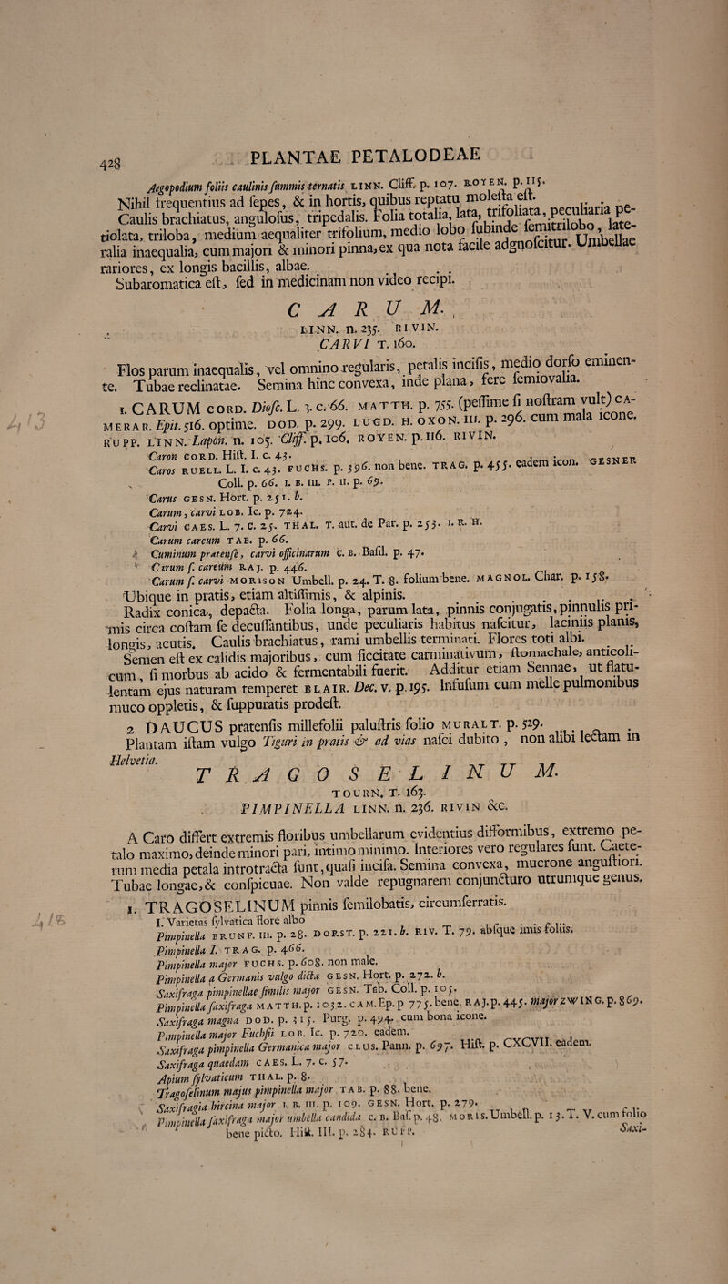 /f ' 0 LN A Aegoyodium foliis caulinisfummistertiatis linn. Cliff, p.107. b-oy en. P-*rf- Nihil frequentius ad 1'epes, & in hortis, quibus reptatu molet.a elt. Caulis brach.atus, angulofus, tripedalis. Folia totaha lata • tiolata, triloba, medium aequaliter trifolium, medio lobo fu 1 . Umbellae ralia inaequalia, cum majori & minori pinna, ex qua nota facile adgn rariores, ex longis bacillis, albae. Subaromaticaell, fed in medicinam non video recipi. C A R V , LINN. n.235- RIVIN. CA R VI T. 160. Flos parum inaequalis, vel omnino regularis, petalis incilis, medio dorfo eminen te. Tubae reclinatae. Semina hinc convexa, mde plana, fere emiov t. CARUM cord. Dioft.L. t-c.66. matth. p. 755- (pelbme fi noftram vult)^ca- merar. Epit.516. optime. DOD. p. 299. LUGD. h.oxon. m. p* “9 • rupp. linn.T^w. n. 105. U/i^ p« io6. royen. p.no. rivin. Cayoh cord* Hift. 1« c* 45* . i - ^kpn Caros EOEIL L. I. c. 43. fuCBs. p. 39*. *“ii bene. trag. p. 4JJ- wdem icon. GESNER s Coli. p. 66. i. b. 111. r. II. p. 69. Carus gesn. Hort. p. 251. b. Carum, carvi lob, Ic. p. 724. Carvi caes. L. 7. c. 25. thal. T.-aut. de Par. p. 255. l r. a. Carum careum tab. p. 66. Cuminum pratenfe, carvi officinarum c. b. Bafll. p. 47* Ctrum f. canum raj. p. 446. Carum f. carvi morison Umbell. p. 24. T. 8- folium bene, magnol. Cnar. p. 158* Ubique in pratis, etiam akiffimis, & alpinis. . . Radix conica, depa£ta. Folia longa, parum lata, pinnis conjugatis,pinnulis pri¬ mis circa collam fe decubantibus, unde peculiaris habitus nafcitur, laciniis planis, lono-is, acutis. Caulis brachiatus, rami umbellis terminati. Flores toti albi. _ Semen elt ex calidis majoribus, cum liccitate carminativum, ftomachale, anticoli- cum fi morbus ab acido & fermentabili fuerit. Additur etiam Sennae, utflatu- lentam ejus naturam temperet bl air. Dee. v. p.195. lnfufum cum meile pulmonibus muco oppletis, & fuppuratis prodelt. 2. DAUCUS pratenlis millefolii palullris folio muralt. p. 529* Plantam illam vulgo Tigiiri in pratis ■& ad vias nafci dubito , non alibi lectam 111 Helvetia. , TRAGO S E ‘ L INU M. TOURN. t. 163. PIMPINELLA linn. n. 236. rivin &c. \ Caro differt extremis floribus umbellarum evidentius ditformibus, extremo pe¬ talo maximo, deinde minori pari, intimo minimo. Interiores vero regulares lunt. Caete- rum media petala introtracla lunt,quali mcifa. Semina convexa, mucrone angultiori. Tubae longae,& confpicuae. Non valde repugnarem conjunauro utrumque genus. 1. TRAGOSELINUM pinnis femilobatis, eircumferratis. I. Varietas fylvatica flore albo . . * ... Pimpinella brunf. iii. p. 28. dorst. p. zzi.b. RiV. T. 79. ablque imis fo us. Pimpinella I. trag. p. \66. Pimpinella majer fuchs. p. 608. non male. Pimpinella a Germanis vulgo clicla gesn. Hort. p. 272. b. Saxifraga pimpinellae fimilis major gesn. Teb. Coli. p. ioj. _ Pimpinella faxifraga m a t t h. p. 1 o 3 2. c a m. Ep. p 7 7 5 • bene. R A J. p. 445. major Z WIN G. p. 8^9 • Saxifraga magna dod. p. 11 5. Purg. p. 494* cum bona icone. Pimpinella major Puchfii lob. Ic. p. 720. eadem. nnT , Saxifraga pimpinella Germanica major clus. Pann. p. 69 7. Hilt. p. CXCVll. eadem. Saxifraga quaedam c A e s. L. 7* c. 5 7• Apium fylvaticum thal. p. 8* Tra^ofelinum majus pimpinella major tab. p. 88- bene. Saxifragia hircina major 1, b. iii. p. 109. gesn. Hort. p. 279- P imo mella faxifraga major umbella candida c. b. Bafp. 48. m oris. Umbell. p. 13.T. V. cum fo 10 r bene pi&o. Hi ii. III. p. 2^4. RUrr. tei- 1