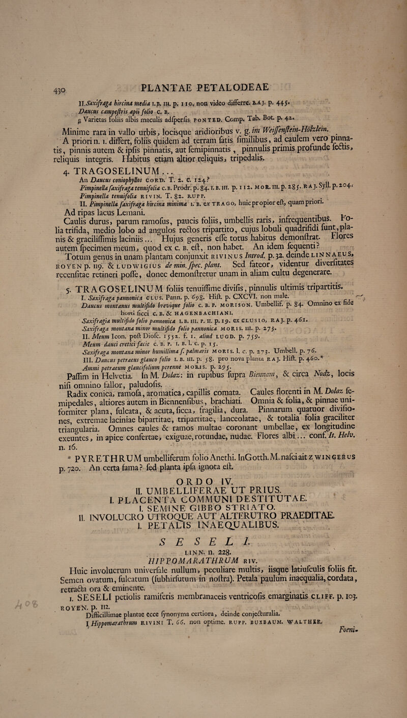 II.Saxifraga hircina media i.b. iii. p. i io. non video differre. &aj. p. 445. Daucus campejiris apii folio c. b. p Varietas foliis albis maculis adfperfis ponted, Comp. Tab. Bot. p. 42, Minime rara in vallo urbis, locisque aridioribus v. g. tm Weijfenftein-Hohlein. . A priori n. 1. differt, foliis quidem ad terram fatis fimilibus, ad caulem vero Pia¬ tis, pinnis autem & ipfis pinnatis, aut femipinnatis , pinnulis primis profunde lectis, reliquis integris. Habitus etiam altior reliquis, tripedalis. 4. TRAGOSELINUM ... An Daucus coniophjllos cord. T. 2. C. 124? Pimpinellafaxifraga tenuifolia c.b. Prodr. p. 84.1. b. iii. p. i i 2. moR. iii. p- 2,8R a j. Syll. p. 204. Pimpinella tenuifolia ri vin. T. 82. kupp. _ . II. Pimpinella faxifraga hircina minima 1. b. ex trago, huic propior eft, quam priori. Ad ripas lacus Lemani. . . . r ., .. Caulis durus, parum ramofus, paucis foliis, umbellis raris, infrequentibus. Po¬ lia trifida, medio lobo ad angulos re£tos tripartito, cujus lobuli quadrifidi lunt,pla¬ nis & graciliflimis laciniis... Hujus generis effe totus habitus demonftrat. rlores autem fpecimen meum, quod ex c. b. eft, non habet. An idem fequenti? Totum genus in unam plantam conjunxit r 1 v 1Nus lntrod. p.32. deinde liNNiaeus, ROYENp.119. & ludwigius de min.fpec.piant. Sed fateor, videntur diverntates recenfitae retineri pofte, donec demonflretur unam in aliam cultu degenerare. 5. TRAGOSELINUM foliis tenuiflimedivifis, pinnulis ultimis tripartitis, I. Saxifraga pannonica Clus. Pann. p. 65)8« Hift. p. CXCVI. non male. _ ca Daucus montanus multifido brevique folio c. b. r. morison. Umbellif. p. 84* Omnino ex e horti ficci C. B. & HAGENBACHIAN1. Saxifragia multifido folio pannonica i.b. iii. p. 11. p. 19. ex Clusio, RAJ. p. 461. Saxifraga montana minor multifido folio pannonica moris. 111. p. 273. II. Meum Icon, poft Diofc. 1552.. f. 1. aliud lugd. p. 755?. Meum dauci cretici facie c. b. p. i. b. 1. c. p. 15. Saxifraga montana minor humillima f. palmaris moris. 1. c. p. 273. Urnbell. p. 76. III. Daucus petraeus glauco folio 1. b. iii. p. 58- pro nova planta r aj. Hift. p. 460.* Ammi petraeum glaucifolitun perenne moris, p. 25)3. Paflim in Helvetia. lnM.Dolaz: in rupibus fupra Biennem, & circa Nodz, locis nili omnino fallor, paludofis. .. r Radix conica, ramofa, aromatica, capillis comata. Caules florenti in M. Dolaz ie- mipedales, altiores autem in Biennenfibus, brachiati. Omnia & folia, & pinnae uni¬ formiter plana, fulcata, & acuta,ficca, fragilia, dura. Pinnarum quatuor divifio- nes, extremae laciniae bipartitae, tripartitae, lanceolatae, & totalia folia graciliter triangularia. Omnes caules & ramos multae coronant umbellae, ex longitudine exeuntes, in apice confertae, exiguae, rotundae, nudae. Flores albi... conf. //. Helv. n. 16. * PYRETHRUM umbelliferum folio Anethi. InGotth. M. nafei ait z w 1N g e r u s p. 720. An certa fama? fed planta ipla ignota eft. ORDO IV. II. UMBELLIFERAE UT PRIUS. I. PLACENTA COMMUNI DESTITUTAE. I. SEMINE GIBBO STRIATO, il INVOLUCRO UTROQUE AUT ALTERUTRO PRAEDITAE. L PETALIS INAEQUALIBUS. SESELI LINN. n. 228. HIPPOMARATHRUM riv. Iluic involucrum univerfale nullum, peculiare multis, iisque latiufculis foliis fit. Semen ovatum, fulcatum (fubhirfutum in noftra). Petala paulum inaequalia,cordata, retra&a ora & eminente. 1. SESELI petiolis ramiferis membranaceis ventricolis emarginatis cliff. p. 103. royen. p. 112. . , . Difficillimae plantae ecce fynonyma certiora, deinde conjecturalia. I Hippomarathrum r 1 v 1 n i T. 66. non optime, r u p p. b u x b a u m. \v a l t h £ R. Poeni •
