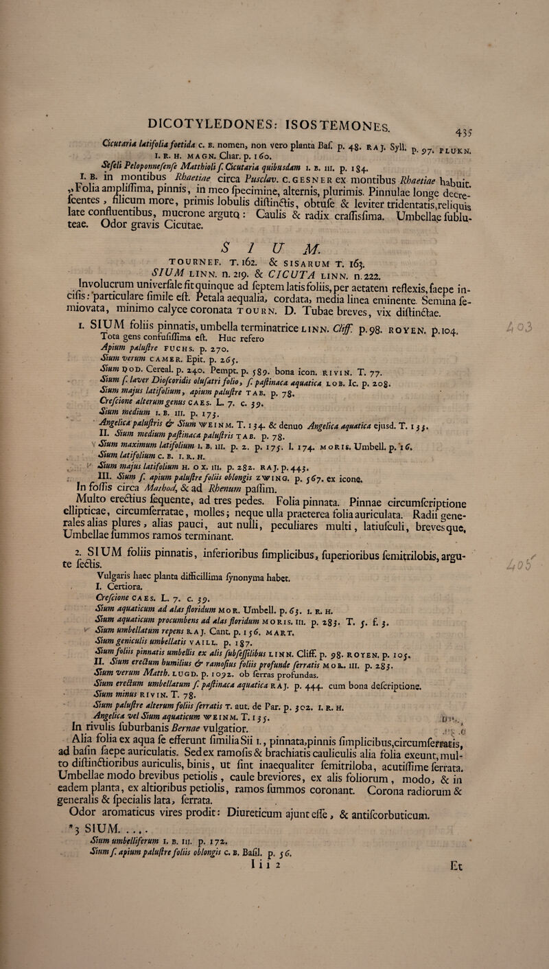 Cicutaria Utifolia foetida c. b. nomen, non vero planta Baf p. 48. ra 7. Syll. n „T ITirxT I. R. H. MAGN. Cliar. p. I 60. P.P7*PLUKN. Sefeli Peloponnefenfe Matthloit f Cicutaria quibusdam 1. b. nr. p. 1S4. I. B. in montibus Rhaetiae circa Pusclav. c.gesner ex montibus Rhaetiae habuit- ,,Folia ampliflima, pinnis, in meo fpecimine, alternis, plurimis. Pinnulae longe decre- fcentes , filicum more, primis lobulis diftin&is, obtufe & leviter tridentatis,reliquis late confluentibus, mucrone argutq : Caulis & radix craflisfima. Umbellae iublu- teae. Udor gravis Cicutae. sium,: TOURNEF. T. 162. & SISARUM T. 163. SIUM linn. n. 219. & CICUTA linn. n.222. Involucrum uni verfaleflt quinque ad feptem latis foliis, per aetatem reflexis, faepe in¬ cilis . particulare nmile eft. Petala aequalia, cordata, media linea eminente. Semina fe- miovata, minimo calyce coronata tourn. D. Tubae breves, vix diftin£tae. l' SIUM foliis pinnatis,umbella terminatrice linn. Cliff. p.98. royen. p.104. Tota gens confufiffima eft. Huc refero r T Apium paluflre fuchs. p. 270. Sium verum camer. Epit. p. z6$. Sium 9od. Cereal. p. 240. Pempt. p. 589* bona icon, rivin. T. 77. Sium f laver Diofcoridis olufatri folio, f. pajiinaca aquatica lob. Ic. p. 208. Sium majus latifolium, apium paluflre tab. p. 78. Crcfcione alterum genus caes. L. 7. c. 39. Sium medium 1. b. nr. p. 173. Angelica palujlris & Sium weinm. T. 134. &c denuo Angelica aquatica ejusd. T. 133. II. Sium medium pajiinaca palujlris t ab. p. 78. Sium maximum latifolium 1. b. nr. p. 2. p. 173. 1. 174. moris. Umbell. p. 16. Sium latifolium c. b. r. r. h. Sium majus latifolium h. .0 x. 111. p. 232. RAj. p. 443. III. Sium f. apium paluflre foliis oblongis zwing. p. ex icone. In fortis circa Matbod.\ Sc ad Rbenurn paflim. Multo ereclius fequente, ad tres pedes. Folia pinnata. Pinnae circumfcriptione ellipticae, circumferratae, molles; neque ulla praeterea foliaauriculata. Radii gene- rales alias plures, alias pauci, aut nulli, peculiares multi, latiufculi, breves que. Umbellae lummos ramos terminant. 1 \ * ffl'^UM pinn^tis, inferioribus fimplicibus, fuperioribus femitrilobis,argu- Vulgaris liaec planta difficillima iynonyma habet. I. Certiora. Crefcione caes. L. 7. c. 39. Sium aquaticum ad alas floridum mor. Umbell. p. 63. 1. r. h. Sium aquaticum procumbens ad alas floridum moris, iri. p. 285. T. y. £3. ^ Sium umbellatum repens r a j. Cant. p. 1 5 6. m a r t. Sium geniculis umbellatis vaill. p. 187. Sium foliis pinnatis umbellis ex alis fubfejjilibus linn. ClifF. p. 98- royen. p. 105. II. Sium eredum humilius & ramofius foliis profunde ferratis moel. nr. p. 28 3. Sum verum Rlatth. lugd. p. 1092. ob (erras profundas. Sium eredum umbellatum f. pajiinaca aquatica raj. p. 444. cum bona defcriptione. Sium minus rivin. T. 78. Sium paluflre alterum foliis ferratis t. aut. de Par. p. 302. 1. r. h. Angelica vel Sium aquaticum weinm. T. 135. 0,. „ In rivulis luburbanis Bemae vulgatior. x> Alia folia ex aqua fe efferunt fimiliaSii 1., pinnata,pinnis fimplicibus,circumferraris ad bafin faepe auricularis. Sed ex ramofis& brachiatis cauliculis alia folia exeunt,mul- to diffindioribus auriculis, binis, ut fint inaequaliter femitriloba, acutiflime ferrata. Umbellae modo brevibus petiolis , caule breviores, ex alis foliorum , modo, & in eadem planta, ex altionbus petiolis, ramos fummos coronant. Corona radiorum & generalis & lpecialis lata.? lerrata. Odor aromaticus vires prodit: Diureticum ajuntefle, & antifcorbuticum. 3 SIUM. Sium umbelliferum 1. b. nr. p. 172. Sium f. apium paluflre foliis oblongis c. b, Bafil. p. 5 6.