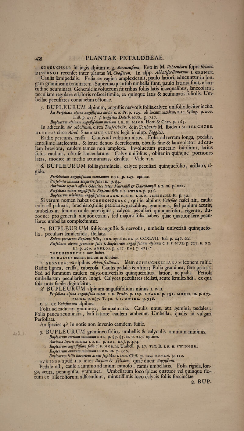 scheuchzer in jugis alpium v. g. Surenenfium. Ego in M. Rohtenhorn fupraRrienz. di ve k no i recenfet inter plantas M. Chafferon. In alpp. Abbatijcellanorum i. gesner. Caulis femipedalis. Folia ex vagina amplexicauli, paulo latiori, educuntur in lon. gam gramineam tenuitatem: Suprema,quae lub umbella funt, paulo latiora funt, e lati¬ tudine acuminata. Generale involucrum fit tribus foliis latis inaequalibus, lanceolatis; peculiare regulare eft,floris rofacei fimile, ex quinque latis & acuminatis foliolis. Um¬ bellae peculiares conjunbimobonae. 5. BUPLEURUM alpinum, anguftisnervofisfo!iis,calyce unifolio,leviterincifo. An Perfoliata alpina angufiifolia Media c. b. Pr. p. 129. ob locum natalem, r aj. Syllog. p. 200. Hift. p. 473.* fi longifolia Dalecb. mur. p. 727. Bupleurum alpinum angufiifolium medium 1. k. h. magu. Hort. & Char. p. 165. In adfcenfu die Sckollinen, circa Teufelsbruk, & in Gotthatdo M. Ibidem scheuchzer. huburus circa Airol. Suam muraltus legit in alpp. Toggicis. Radix perennis, cralTa. Caulis ad cubitum altus. Folia ad terram longa, pedalia, lentiflime latefcentia , & lente denuo decrefcentia, obtufo fine & lanceolato : ad cau¬ lem breviora, caulem tamen non amplexa. Involucrum generale bifolium, latius foliis caulinis, obtufe lanceolatum. Calyx unifolius , obiter in quinque portiones latas, modice in medio acuminatas, diviius. Vide t.x. 6. BUPLEURUM foliis gramineis, calyce peculiari quinquefolio, ariftato, ri¬ gido. Perfoliatum angufiifolium montanum coi. p. 247. optime. Perfoliata minima BupleUri folio id. p. '84. Auriculae leporis affinis Odontites lutea Valerandi & Dalechampii 1. B. m. p. 201. Perfoliata minor angufiifolia Bupleurifolio C. B. zwing. p. 9$6. Bupleurum minimum angufiifolium magn. h. r. m. 1. h. r. scheuchZ. It. p. 32. Si verum nomen habet scheuch zerus , qui in alpibus Valefiae nafci ait, cauli¬ culo eft palmari, brachiato,foliis petiolatis, gracilibus, gramineis, fed paulum acutis, umbellis in fummo caule perexiguis , calyce peculiari quinquefolio, rigente, du- roque: pro generali aliquot etiam * fed majora folia habet, quae quatuor fere pecu¬ liares umbellas complebuntur. *7. BUPLEURUM foliis anguftis & nervofis, umbella univerfali quinquefo¬ lia , peculiari femifexfida, ftellata. Sedum petraeum Bupleuri folio t pon. apud Clus. p. CCXLVII. Ital. p. 24«?. &c. Perfoliata alpina gramineo folio f. Bupleurum angufiifolium alpinum C. b. r. mur. p. 727. H. ox. III. p. 295). AMBROS. p. 417. RAJ. p. 473. * tournefOrtius non habet. muraltus nomen indicat in Alpibus. i. g e s n e r u s ex alpibus Abbatifcellanis. Idem scheuchzerianam iconem mifit. Radix lignea, crafla, tuberofa. Caulis pedalis & altior; Folia graminea, fere prioris. Sed ad lummum caulem calyx univerfalis quinquefolius, latior, aequalis. Petioli umbellarum peculiarium longi. Calyces peculiares ftellati, acute femilexfidi, ex qua fola nota facile dignofcitur. 8* BUPLEURUM alpinum angufiifolium minus i. r. h. Perfoliata alpina angufiifolia minor c. b. Prodr. p. 125. r. fae.k. p. 581« moris. 111. p. PLUKN. p. 2S7. T. JO. f. I. ZWING. p. 936. c. b. ex Valefiorum alpibus. Folia ad radicem graminea, femipalmaria. Caulis unus, aut gemini, pedales: Folia pauca acuminata, bafi latiore caulem ambeunt. Umbella, qualis in vulgari Perfoliata. An fpecies 4? In notis non invenio eamdem fuifle. 9. BUPLEURUM gramineo folio, umbellis & calyculis omnium minimis. Bupleurum tertium minimum col. p. 85- 85. ic. p. 247. optime. Auricula leporis minima 1. b. m. p. 201. raj. p. 474. Bupleurum angufiiffimo folio c. b. mous. Umbell. p. 27. tit. It. 1. r. h. z^inger. Bupleurum annuum minimum k. ox. 111. p. 300. Bupleurum foliis linearibus acutis feffilibus linn. Cliff. p. 104. r o r e n. p. 11 o. ryhiner apud i.b. inter Birjam & fylvam, quae ducit Auguflam. Pedale eft , caule a fummo ad imum ramofo , ramis umbellatis. Folia rigida, lon¬ ga, acuta, perangufta, graminea. Umbellarum loco fpicae quatuor vel quinque flo¬ rum ex alis foliorum adfcendunt, minutiflimis loco calycis foliis fuccinbae. 8. BUP-