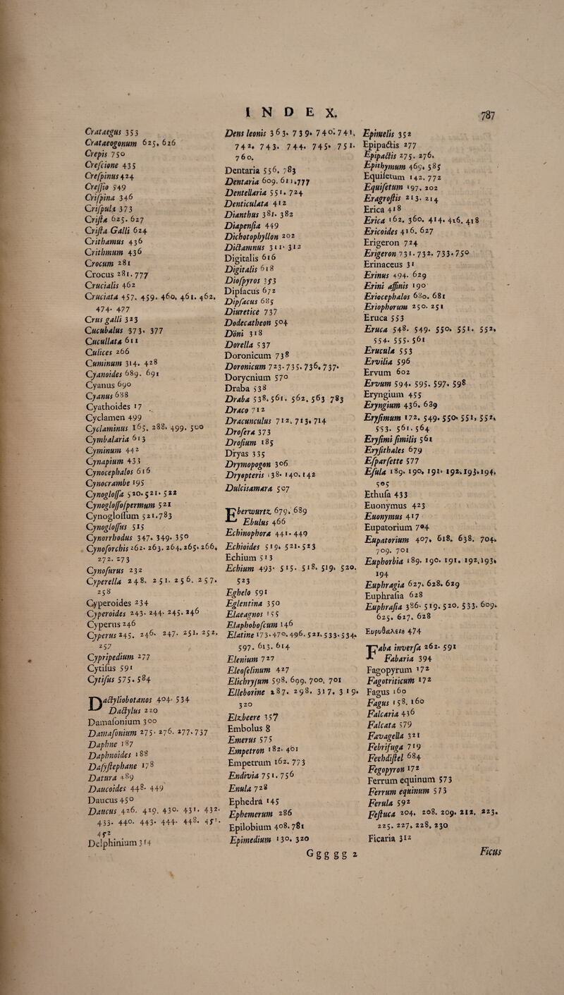 Crataegus 353 Crataeogonum 625, 626 Crepis 75° Crefcione 43 5 Crefpinus 424 549 Crifpina 3+6 Crifpula 373 Cr//?<« 625. 627 GW/i 624 Crithamus 436 Crithmum 436 Crocum 281 Crocus 281.777 Cruciatis 462 Cruciata +57. 459. 460. 461. 462. 474- 477 Crus galli 3 23 Cucubalus 37 3* 377 Cucullata 61 > Culices 266 Cuminum 314« 428 Cyanoides 689. 691 Cyanus 690 Cyanus 688 Cyathoides >7 Cyclamen 499 Cyclaminus 165. 288. 499. 500 Cymbalaria 613 Cyminum 44 2 Cynapium 433 Cynocephalos 616 Cynocrambe l95 Cynogloffa 310.5 21 • 5 22 Cynoglojfofpermum 521 CynoglolFum 521.783 Cynogloffus 5X5 Cynorrhodus 347* 349' 35° Cynoforchis 262* 263. 264.265» 266, 272. 273 Cynofurus 232 Cyperella 248. 251.256.257. 258 Gyperoides 234 Cyperoides 243. 244. 245. 246 Cyperus 246 Cyperus 245. 246. 247. 251.252. 257 Cypripedium 277 Cytifus 591 Cytifus 575* 584 4°4* 534 Daily lus 220 Damafonium 300 Damafonium 275• 276. 277.737 Daphne 187 Daphnoides 1 88 Dafyjlephane x78 Datura 4-89 Daucoides 448, 4+9 Daucus +5° Daiicus 426. 429. 43°- 43'• 432- 433. 440. 443. 444. 448. 4y'. 4 f 2 Ddphinium 3r+ INDEX. DtfWf /w»w 363* 7 3 9* 7 4 °* 7 4». 742, 743. 744. 745. 751. 760. Dentaria 556* ?s3 Dentaria 609. 611,777 Dentellaria 5 51 • 7 24 Denticulata 412 Dianthus 38x* 382 Diapenjia 449 Dichotopbyllon 202 Dictamnus 311* 312 Digitalis 616 Digitalis 618 Diofpyros 3f3 Dipfacus 672 Dipfacus 685 Diuretice 737 Dodecatheon 5°+ £to'»f 3«8 Dorella 5 37 Doronicum 738 Doronicum 723- 73 5* 736» 737* Dorycnium 57° Draba S38 538« 561. 562. 563 783 0 7 1 2 Dracunculus 7IZ. 713*714 Drofera 373 Drofium 185 Dryas 335 Drymopogon 3°6 Dryopteris >3 8* 140.142 Dulcis amara 507 Eberwurtz. 679, 689 Ebulus 466 Echinophora 441.449 Echioides 5X9* 521*523 Echium ? 13 493‘ 5 «5- 5»5. 519, 520. 523 Eghelo 59' Eglentina 35° Elaeagnos ' 5 5 Elaphobofcum 146 Elatine i73»+7°.496- 52i.533.S34* 597. 613. 614 Elenium 7 27 Eleo felinum 427 Elichryfum 598- 699> 7°°. 70X Elleborine i87* 298. 317, 319. 320 Elzbeere 357 Embolus 8 Emerus 575 Empetroti 18z* +61 Empetrum 162. 773 Endivia 75«. 756 £««/4 728 Ephedra * 45 Ephemerum 286 Epilobium 4°8, 781 Epimedium 13°* 320 Ggg gg i Epimelis 352 Epipadtis 277 Epipattis 275. 276. Epithymum 469« 585 Equiietum 142. 772 Equifetum 197.202 Eragroftis 213- 214 Erica 418 £nY<* '62. 360. 414. 416. 418 Ericoides 416. 627 Erigeron 724 Erigeron 731.732, 733. 75° Erinaceus 3X Erinus 49+- 629 £ri«i 19° Eriocephalos 680. 681 Er'tophorum 250. 251 Eruca 553 £r«(T4 548. 549« 55°» 55x- 552» 554- 555- S6x Erucula 553 Ervilia 5)6 Ervum 602 Ervum 594* 595. 597* 598 Eryngium 455 Eryngium 436* 639 Eryjimum 172.549.550» 551,552* 553. 561 • 564 Eryjimi fimilis 561 Eryjithales 679 Efparfette 577 Efula «89. 19°* X9X* 192*193*194* 505 Ethufa 433 Euonymus 423 Euonymus 4*7 Eupatorium 7®4 Eupatorium 4°7* 618. 638. 704* 709. 701 Euphorbia ‘89’ x90, X9X* 19Z*193* 194 Euphragia 627. 628. 629 Euphrafia 628 Euphra/ia 386- 519. 520, 533. 609. 625. 627. 628 EvpuftciKZt» 474 Faba inverfa 262. 591 Fabaria 394 Fagopyrum »72 Fagotriticufn x72 Fagus »60 Kigtt; • 58- x6° Falcaria 436 Falcata 579 Favagella 32X Febrifuga 719 Feehdijlel 684 Fegopyron x72 Ferrum equinuni 573 Ferrum equinum 5 7 3 Ferula 592 Fejluca 204, 208. 209. 212. 223. 225. 227, 228. 230 Ficaria 312 Ficus