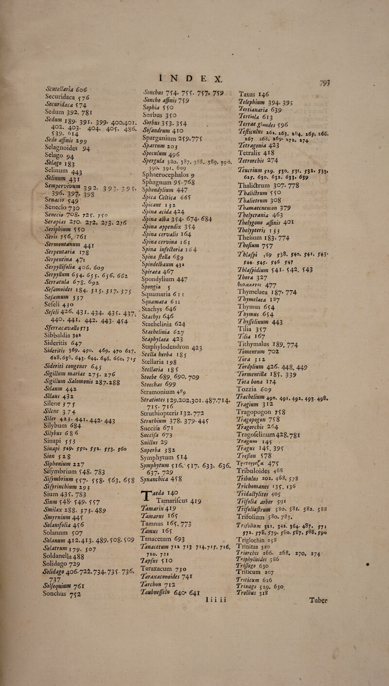 7 93 ScutelUria 606 Securidaca 5-7 6 Secundaca 574 Sedum 392. 781 6eduw i89. 39i< 399t 40040It 4°2. 403. 404. 405-» 486. 5 39* 614 iSVio affinis 299 Selagnoides 94 Selago 94 »S>%0 133 Selinum 443 Selinum 431 Sempervivum 392. 39- ? q 396. 397* 39S~’ Senacio ^49 Senecio 730 Senecio 7°8* 72 f. 75-0 Serapias 270. 272. 273» 276 Seriphium 550 *5mr 756* 61 Sermontanum 441 Serpenlaria 178 Serpentina 471 Serpyllifolia 406. 609 Serpyllum 654. 653. 6; 6. Serratula 6yg. 6c,z Sefamoides 1S4. 315. 317. 37; Sefamum 337 Sefeli 430 Sefeli 426* 431.434. 433. 437^ 440. 441. 442. 443. 4^.4 Sferracavallofis Sibbaldia 34* Sideritis 647 Sideritis 3^9* 4/°* 4^9* 470 627. 628.636* 643. 644. 646. 66c. Sideriti congener 645 Sigillum mariae 275. 276 Sigillum Salomonis 287.288 Silaum 442 Silaus 432 Silene 375 Silene 374 4Z3* 44r* 442* 443 Silybum 684 Silybus 6 8 ^ Sinapi 553 Shwpi f49* 37°» 37*. 3-73. 360 Sio« 5 2 8 Siphonium 227 Sifymbrium 548. 783 Sifymbrium ^7. yjg. 563. 678 Sifyrinchium 293 Sium 435. 783 *5>«w ^48- f49* 557 Smilax 2S8. 3 73- 489 Smyrnium 445 Solamfolia 45 6 Solanum 507 Solanum 412.413. 489* 5°8* 5°9 Solatrum 179. 507 Soldanella488 Solidago 729 Solidago 406.722.734. 73 5 73 737 Sol/equiam 76l Sonchus 752 Sonchus 754. 755- 757. 759 Soncho affinis 759 Sophia 55° Sorbus 350 Sorbus 353* 354 Sofandrum 410 Sparganium 259*775 Spartum 203 Speculum 496 Spergula 380. 387* 3SS. 389. 590. 39°* 391 * 6q9 Sphaerocephalos 9 Sphagnum 95-7^8 Sphondylium 447 Spica Celtica 665 Spicant 1 3 2 a5/>z«<* 424 4/^4 354* 674. 684 Spina appendix 354 *5/>hw cervalis 164 cervina 1 6 3 infector ia 1 6 4 Spi/w 7?r//4 689 Spindelbaum 432 Spiraea 467 Spondylium 447 Spongia j Squamaria 6 r 1 Squamata 611 . Stachys 646 Stachys 646 Staehelinia 624 Staehelinia 627 Staphylae a 423 Staphylodendron 423 Stella herba 1S 5 Stellaria 198 Stellaria 18 5 Sfork 689. 690» 709 Stoechas 699 Stramonium 4^9 S tratiotes 129.202,301.487*714* 7i5- 7i6. Struthiopterb 132.772 Struthium 378* 379-445 Succila 671 Succifa 673 Suillus 29 Superba 3 82. Symphytum 5T4 Symphytum 516. 517* 633* 636. ' 637. 739 Synanchica 458 •nr+aeda 140 Tamarifcus 419 Tamarix 419 Tamarus 165 Tamnus 165*773 Tamus 165 Tanacetum 693 Tanacetumjn 713 714.713-, 716* 720. 721 7 apfus 510 Taraxacum 730 Taraxaconoides 741 'Tarchon 712 Taubneffieln 640* 641 111 11 Taxus 146 7elepbium 394. 395 Tertianaria 639 Tertiola 613 Terrae glandes 596 Tefiiculus 261. 263* 264* a<56. 267 268. 269* 272* 274 Te tragonia 423 Tetralix 4*8 7etrorchis 374 Teucrium f 29. 3-30, 5-31* 5-32« 5-33* 623% 630. 632. <533* 639 Thalidrum 307*778 Thalidrum 55° ‘Thalietrum 3°8 Thamaecnemon 379 Thelycrania 4^3 7'belygono affinis 401 7helypteris 1 3 3 Thefium 183* 774 Thefium 757 Thlafpi 169 3-38. f4«>* 541* 5+3* i-44. j-4j-. 3-46 f47 Ihlafpidium 541- 540. 543 7/;or/« 327 6v\eiKiT/f 477 Thymelaea 187* 774 'Thymelae a 187 Thymus 654 Thymus 654 Thyffielinum 443 Tilia 357 7//id 167 Tithymalus I89, 774 Tomentum 702 Tara 3 1 2 Tordylium 426. 448* 449 Tormcntilla 185* 339 Tota bona 174 Tozzia 609 Trachelium 490. 491* 4.92* 493. 498» Tragium 312 Tragopogon 758 Tragopogon 758 Tragorchis 264 Tragofelinum 428.781 'Tragum 14^ , Tragus 145. 395 Trejlon 578 Tf»rofp/£tt 475 Tribuloides 46s Tribulus 202. 468* 578 7richomanes '35. 136 Tridadylites 405 Trifolia arbor 591 Trifoliaflrum 5^** 582. 588 Trifolium 5so* 783* Trifolium 321. 342. 364. 487. $71 Sji, 578. 3-79. ySo. 3-87. 788*3-90 Triglochin 258 Trinitas 320 Triorchis 266. 268* 270, 274 Triphylloides 586 Triffago 630 Triticum 207 Triticum 626 Trixago 529. 630, Tr ollius 318 Tuber