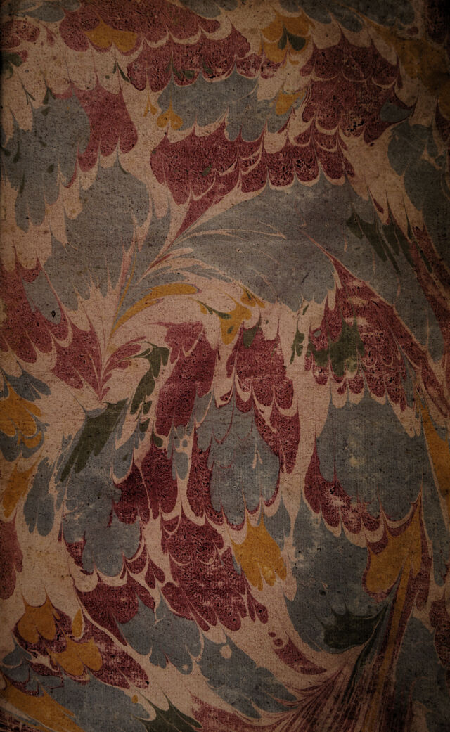 No text description is available for this image