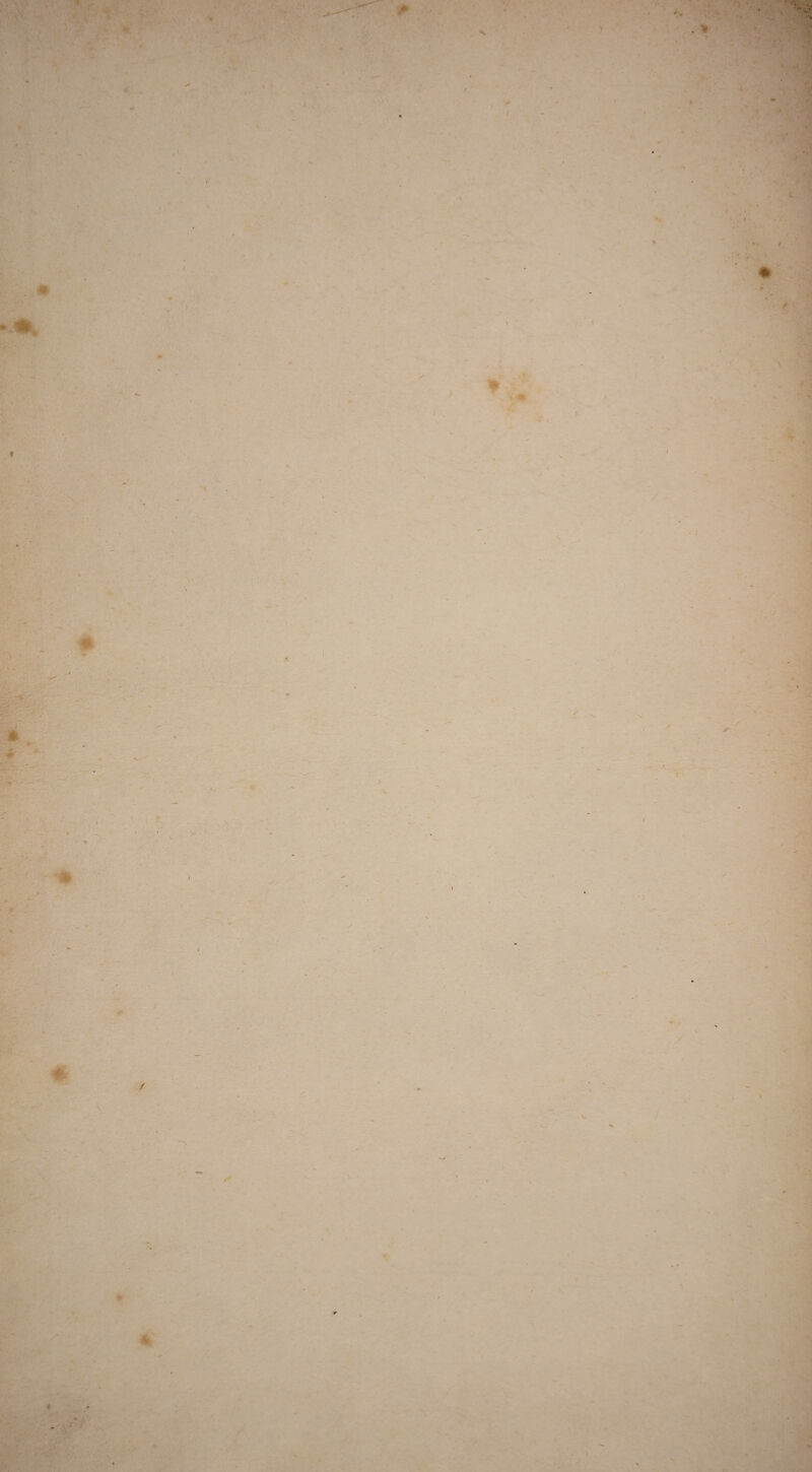 - . -- . , I - 'I ■ *■ .; * '■* . * ■ y *.. — / / N \ V * ♦ */ ( » ’ ■