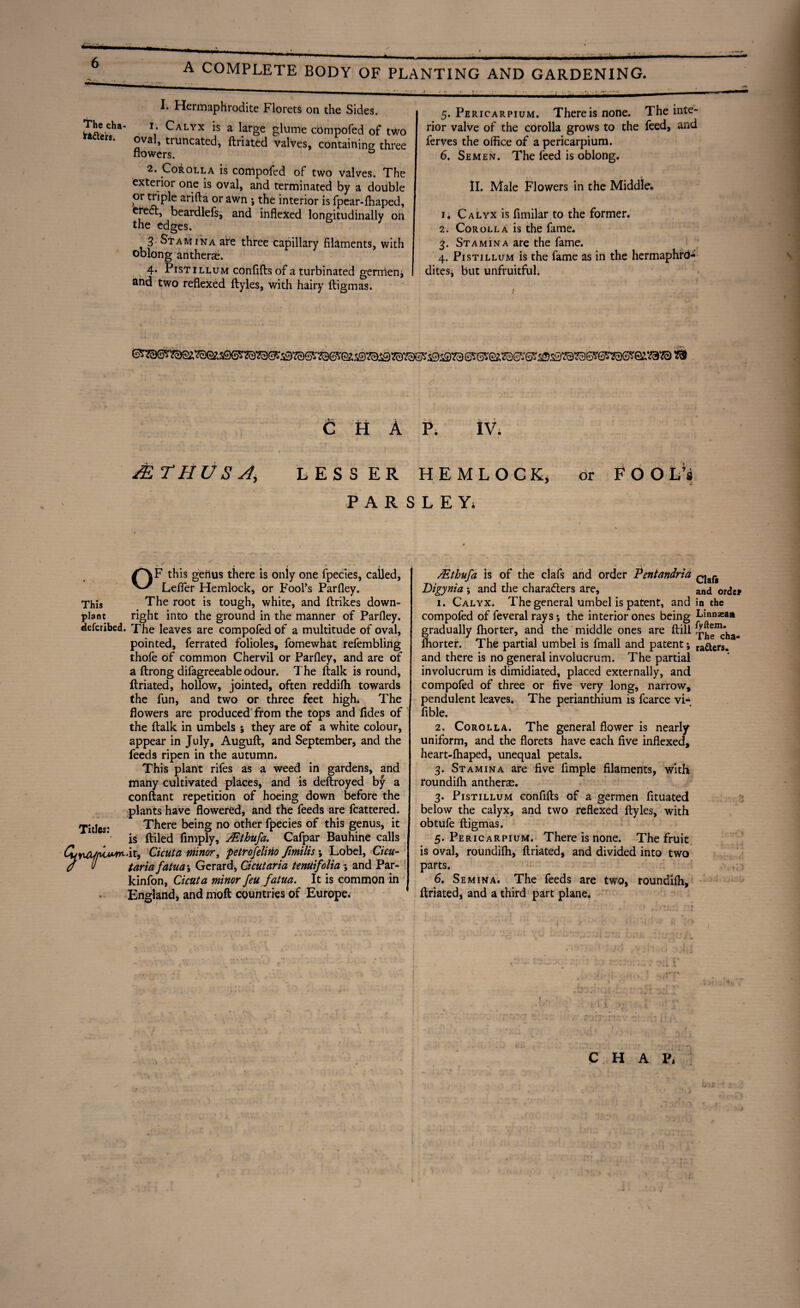 ' ' ' 1■■■ i . ■■■»., ■ J11 ii mu y;t • Mm* A COMPLETE BODY OF PLANTING AND GARDENING. I. Hermaphrodite Florets on the Sides. S£vcha' V Calyx is a large glume cbmpofed of two oval, truncated, ftriated valves, containing three flowers. 2. Corolla is compofed of two valves. The exterior one is oval, and terminated by a double or triple arifta or aWn j the interior is fpear-ftiaped, eredt, beardlefs, and inflexed longitudinally on the edges. 7 3 Stamina are three capillary filaments, with oblong antherae. 4* Pistillum confifts of a turbinated germen* and two reflexed ftyles, with hairy ftigmas. 5. Pericarpium. There is none. The inte¬ rior valve of the corolla grows to the feed, and ferves the office of a pericarpium. 6. Semen. The feed is oblong. II. Male Flowers in the Middle. 1* Calyx is fimilar to the former. 2. Corolla is the fame. 3. Stamina are the fame. 4. Pistillum is the fame as in the hermaphro¬ dites* but unfruitful. Chap. iv. /E THUS A LESSER HEMLOCK, or FOOL’j P A R S L E Yi .•> 1 » \ .f • * OF this geflus there is only one fpecies, called, Lefler Hemlock, or Fool’s Parfley. This The root is tough, white, and ftrikes down- plant right into the ground in the manner of Parfley. defcribed. The leaves are compofed of a multitude of oval, pointed, ferrated folioles, fomewhat refembling thofe of common Chervil or Parfley, and are of a ftrong difagreeable odour. The ftalk is round, ftriated, hollow, jointed, often reddifh towards the fun, and two or three feet high. The flowers are produced from the tops and fides of the ftalk in umbels ; they are of a white colour, appear in July, Auguft, and September, and the feeds ripen in the autumn. This plant riles as a weed in gardens, and many cultivated places, and is deftroyed by a conftant repetition of hoeing down before the plants have flowered, and the feeds are fcattered. Titles* There being no other fpecies of this genus, it ftiled Amply, ALthufa. Cafpar Bauhine calls &Yifypivuni.it, Cicuta minor, petrofelirio fimilis; Lobel, Cicu- / v tariafatua j Gerard, Cicutaria tenuifolia \ and Par- kinfon, Cicuta minor feu fatua. It is common in England, and moft countries of Europe* /Ethufa is of the clafs and order Pentandria Cjafg Digynia ; and the characters are, and Qrdc» 1. Calyx. The general umbel is patent, and in the compofed of feveral rays; the interior ones being Lmnsean gradually fhorter, and the middle ones are (till j-he^ha- fliorter. The partial umbel is fmall and patent * raaer3. and there is no general involucrum. The partial involucrum is dimidiated, placed externally, and compofed of three or five very long, narrow, pendulent leaves. The perianthium is fcarce vi* fible. 2. Corolla. The general flower is nearly uniform, and the florets have each five inflexed, heart-ftiaped, unequal petals. 3. Stamina are five Ample filaments, with roundiffi antheras. 3. Pistillum confifts of a germen Atuated below the calyx, and two reflexed ftyles, with obtufe ftigmas. 5. Pericarpium. There is none. The fruit is oval, roundilh, ftriated* and divided into two parts. 6. Semina. The feeds are two, roundiffi, ftriated, and a third part plane* C H A Vs