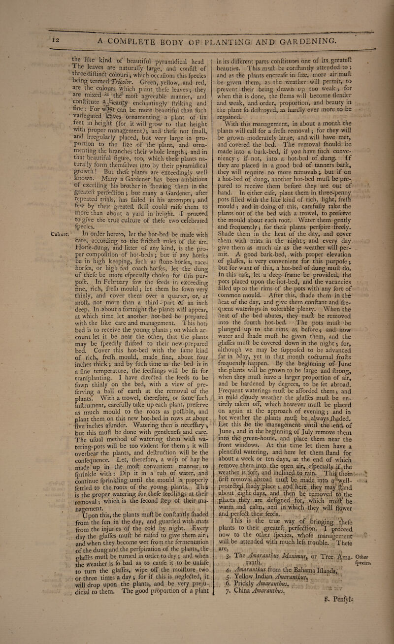 \ tie like kind of beautiful pyramidical head j ie *eaves are naturally large, and con fill of thiee ctidinft colours-, which occasions this fpecies being termed Tricolor. Green, yellow, and red, aae the colours which paint thefe leaves; they aie^naixed -nl the mod agreeable manner, and conditute ^Tieauty enchantingly linking and fine: For w'Mt can, be more beautiful than fuch variegated l£&ves ornamenting a plant of fix feet in height (for it will grow to that height with proper management); and thefe not fmall, and irregularly placed, but very large in pro¬ portion to the fize of the plant, and orna¬ menting the branches their whole length; and in that beautiful figure, too, which thefe plants na¬ turally form themfelves into by their pyramidical growth! But thefe plants are exceedingly well known. Many a Gardener has been ambitious of excelling his brother in (hewing them in the greatelt perfection ; but many a Gardener, after repeated trials, has failed in his attempts; and few by their greateft fkill could raife them to more than about a yard in height. I proceed to give the true culture of thefe two celebrated fpecies. Culture. In order hereto, let the hot-bed be made with Care, according to the drifted rules of the art. Horfe-dung, and litter of any kind, is the pro¬ per composition of hot-beds ; but if any horfes be in high keeping, fuch as ft one-horfes, race- horfes, or high-fed coach-horfes, let the dung of thefe be more efpecially chofen for this pur- pofe. In February fow the feeds in exceeding fine, rich, frefh mould ; let them be fown very thinly, and cover them over a quarter, or, at mod, not more than a third - part of an inch deep. In about a fortnight the plants will appear, at which time let another hot-bed be prepared with the like care and management. This hotT bed is to receive the young plants ; on which ac¬ count let it be near the other, that the plants may be fpeedily fhifted to their new-prepared bed. Cover this hot-bed with the fame kind of rich, frefh mould, made fine, about four inches thick; and by fuch time as the bed is in a fine temperature, the leedlings will be fit for tranfplanting. I have direfted the feeds to be fown thinly on the bed, with a view of pre- ferving a ball of earth at the removal of the plants’. With a trowel, therefore, or fome fuch indrument, carefully take up each plant, preferve as much mould to the roots as poflible, and plant them on this new hot-bed in rows at about five inches afunder. Watering then is necefifary ; but this mud be done with gentlenefs and care. The ufual method of watering them with wa¬ tering-pots will be too violent for them ; it will overbear the plants, and dedruftion will be the confequence. Let, therefore, a wifp of hay be made up in the mod convenient manner to fprinkle with : Dip it in a tub of water, and continue fprinkling until the mould is properly . fettled to the roots of the young plants. This is the proper watering for thefe feedlings at their removal; which is the fecond ftep of their ma¬ nagement. Upon this, the plants mud be condantly fhaded from the fun in the day, and guarded with mats from the injuries of the cold by night. Every day the glades mud be raifed to give them air ; and when they become wet from the fermentation of the dung and the perfpiration of the plants,.the olafies mult be turned in order to dry ; and when 5ie weather is fo bad as to caufe it to be unfafe to turn the glafies, wipe off the moidure two or three times a day; for if this is neglefted, it will drop upon the plants, and be very preju¬ dicial to them. The good proportion of a plant in its different parts conftitutes one of its greateft: beauties. This mud be condantly attended to ; and as the plants encreafe in fize, more air mud be given them, as the weather will permit, to prevent their being drawn up too weak ; for when this is done, the dems will become Oender and weak, and order, proportion, and beauty in the plant fo deftroyed, as hardly ever more to be regained. With this management, in about a month the plants will call for a frefh removal; for they will be grown moderately large, and will have met, and covered the bed. The removal fhould be made into a bark-bed, if you have fuch conve- niency ; if not, into a hot-bed of dung. If they are placed in a good bed of tanners bark, they will require no more removals y but if oil a hot-bed of dung, another hot-bed mud be pre¬ pared to receive them before they are out of hand. In either cafe, plant them in three-penny pots filled with the like kind of rich, light, Irefli mould ; and in doing of this, carefully take the plants out of the bed with a trowel, to preferve the mould about each root. Water them gently and frequently; for thefe plants perlpire freely. Shade them in the heat of the day, and cover them with mats in the night; and every day give them as much air as the weather will per¬ mit. A good bark-bed, with proper elevation of glafies, is very convenient for this purpofe ; but for want of this, a hot-bed of dung mud do. In this cafe, let a deep frame be provided, the pots placed upon the hot-bed, and the vacancies filled up to the rims of the pots with any fort of common mould. After this, fhade them in the heat of the day, and give them condant and fre¬ quent waterings in tolerable plenty. When the heat of the bed abates, they mud be removed into the fourth hot-bed. The pots mud be plunged up to the rims as, before-; and now- water and fhade mud be given them, and the glafies mud be covered down in the night; for, although we may be fuppofed to be advanced far in May, yet in that month nofturnal frofts frequently happen. By the beginning of June the plants will be grown to be large and drong, when they mud have a larger proportion of air, and be hardened by degrees, to be fet abroad. Frequent waterings mud be afforded them; and in mild cloudy weather the glafies mud be en¬ tirely taken off, which however mud be placed on again at the approach of evening; and in hot weather the plants muff be always Jhaded. Let this be the management until the end of June ; and in the beginning of July remove them into the green-houie, and place them near the front windows. At this time let them have a plentiful watering, and here let them dand for about a week or ten days, at the end of which remove them into the open air, efpecially if . the weather is. foft, and inclined to rain. This their firft removal abroad muff % madejnto a well- • 4 protefted ftiady place ; and here they may dand about eight days, and then be removed to the places they are defigned for, which mud' be warm and calm, and in which they will flower and perfeft their feeds. This is tKe true way of bringing thefe plants to their greated perfection. I proceed now to the other fpecies, whofe management will be attended with much lefs trouble. Thefe are, 3. The Amaranthus Maximus, or Tree Ama- Other ranth. fpecies, 4. Amaranthus from the Bahama Iflands. 5. Yellow Indian Amaranthus* / * 6. Prickly Amaranthus. 7. China Amaranthus, PenfyL