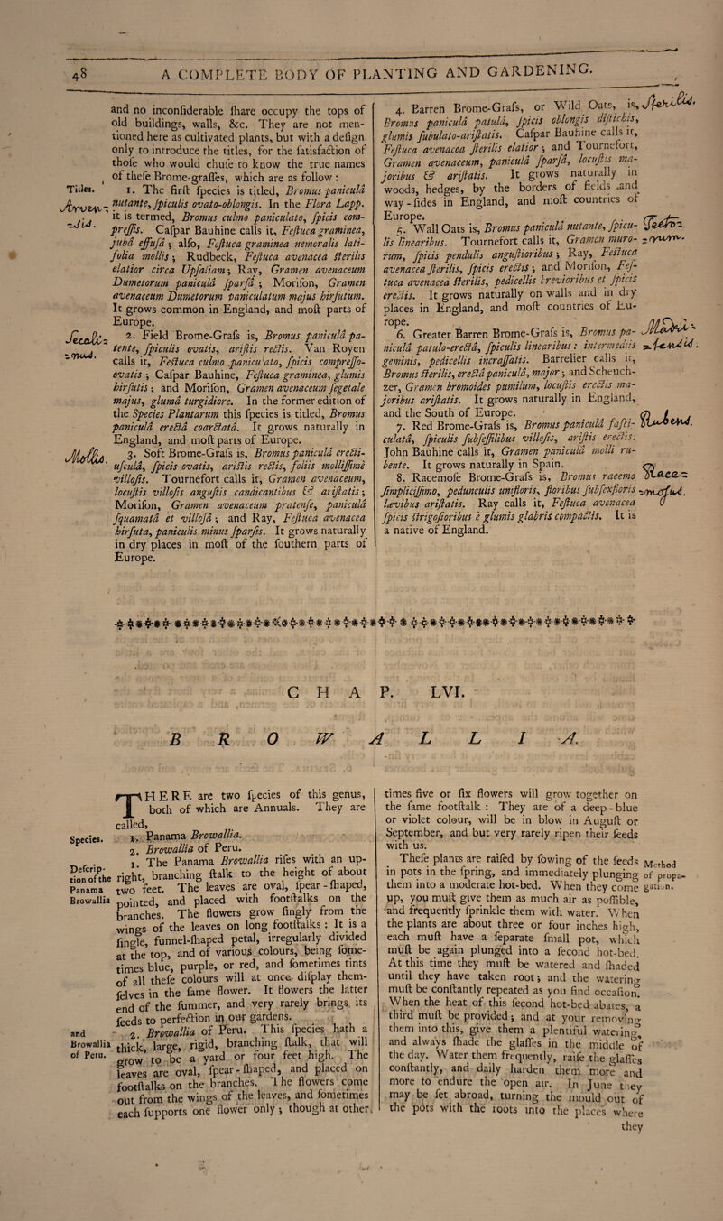 Titles. -~JU. Jeca&iz; z.yu*4. and no inconfiderable iliare occupy the tops of old buildings, walls, &c. They are not men¬ tioned here as cultivated plants, but with a defign only to introduce the titles, for the fatisfadtion of thole who would chufe to know the true names of thefe Brome-grafies, which are as follow : 1. The firft fpecies is titled, Bromus ‘paniculd nutante, Jpiculis ovato-oblongis. In the Flora Lapp. it is termed, Bromus culmo paniculato, fpicis com- prejfis. Cafpar Bauhine calls it, Fejluca graminea, jaba effufd ; alfo, Fcjluca graminea nemoralis lati- folia mollis ; Rudbeck, Fejluca avenacea Berths elatior circa Upfaliam; Ray, Gramen avenaceum Dumetorum paniculd Jparfd ; Morifon, Gramen avenaceum Dumetorum paniculatum majus hirfutum. It grows common in England, and molt parts of Europe. 2. Field Brome-Grafs is, Bromus paniculd pa¬ tent e, fpiculis ovatis, arijlis retlis. Van Royen calls it, Fefiuca culmo .panicu'ato, fpicis compreffo- ovatis ; Cafpar Bauhine, Fejluca graminea, glumis hirfutis and Morifon, Gramen avenaceum J'egetale majus, glumd turgidiore. In the former edition of the Species Plantarum this fpecies is titled, Bromus paniculd ereftd coarflatd. It grows naturally in England, and moft parts of Europe. 3. Soft Brome-Grafs is, Bromus paniculd ere5H- ufcula, fpicis ovatis, ariflis reflis, foliis mollijfime villojis. Tournefort calls it, Gramen avenaceum, locujtis villojis angujlis candicantibus & at if at is ; Morifon, Gramen avenaceum pratenfe, paniculd fquamatd et villofd \ and Ray, Fejluca avenacea hirfuta, paniculis minus Jparfis. It grows naturally in dry places in moft of the fouthern parts oi Europe. 4. Barren Brome-Grafs, or Wild Oars, is, Bromus paniculd patuld, fpicis oblongis dijtichts, glumis fubulato-arijlatis. Cafpar Bauhine calls it, Fefiuca avenacea Jlerilis elatior ; and Iournefort, Gramen avenaceum, paniculd fparfa, locufis ma- joribus & arijlatis. It grows naturally in woods, hedges, by the borders of fields .and^ way - fides in England, and moft countries oi Europe. 5. Wall Oats is, Bromus paniculd nut ante, fpicu¬ lis linearibus. Tournefort calls it, Gramen muro- rum, fpicis pendulis angufioribus ; Ray,^ Fefiuca avenacea Jlerilis, fpicis ere ft is ; and Morilon, Fej- tuca avenacea fferilis, pedicellis brevioribus et Jpicis ereflis. It grows naturally on walls and in diy places in England, and moft countries of Eu- rope. 6. Greater Barren Brome-Grafs is, Bromus pa¬ niculd patulo-erefld, fpiculis linearibus: inter meat is geminis, pedicellis incrajfatis. Barrelier calls it, Bromus fterilis, erefidpaniculd, major ; and Scheuch- zer, Gramen bromoides pumilum, locujlis eredits ma- joribus arijlatis. It grows naturally in England, and the South of Europe. 7. Red Brome-Grafs is, Bromus panicula fafei- culatd, fpiculis fubfeffilibus villojis, arijlis erectis. John Bauhine calls it, Gramen paniculd molli ru- bente. It grows naturally in Spain. 8. Racemofe Brome-Grafs is, Bromus racemo ftmplicijfmo, pedunculis unif oris, fioribus fubfexfions lavibus arijlatis. Ray calls it, Fejluca avenacea fpicis firigoftoribus e glumis glabris compaflis. It is a native of England. - eyuAT^' W. <jtcLCCd- ‘xynAud. •*$i *£• £*•#«■ 9-**#*C#$ *•? *$■*$ *■$-*- * *$-$-*$'•*$*$*$■*$*$*• $-*$-# ?- & CHAP. LVI. B R 0 TV A L A. Specic3. Defcrip- tion of the Panama Browallia and Browallia of Peru. There are two fpecies of this genus, both of which are Annuals. They are called, 1. Panama Browallia. 2. Browallia of Peru. 1* The Panama Browallia rifes with an up¬ right, branching ftalk to the height of about two feet. The leaves are oval, fpear - fhaped, pointed, and placed with footftalks on the branches. The flowers grow fingly from the wings of the leaves on long footftalks : It is a finale, funnel-fhaped petal, irregularly divided at the top, and of various colours, being fome- times blue, purple, or red, and fometimes tints of all thefe colours will at once, difplay them- felves in the fame flower. It Howers the latter end of the fummer, and very rarely brings its feeds to perfeftion in. our gardens. 2 Browallia of Peru. 1 his fpecies hath a thick, large, rigid, branching ftalk that will grow to be a vard or four feet high. 1 he leaves are oval, ‘ fpear- lb aped, and placed on footftalks on the branches. 1 he flowers come out from the wings of the leaves, and fometimes each fupports one flower only, though at other, times five or fix flowers will grow together on the fame footftalk : They are of a deep - blue or violet colour, will be in blow in Auguft or September, and but very rarely ripen their feeds with us. Thefe plants are raifed by fowing of the feeds Method in pots in the fpring, and immediately plunging of propa- them into a moderate hot-bed. When they come gati^n. up, you muft give them as much air as poffible, and frequently fprinkle them with water. W hen the plants are about three or four inches hio-fi, each muft have a feparate fmall pot, which muft be again plunged into a fecond hot-bed. At this time they muft be watered and (haded until they have taken root; and the watering muft be conftantly repeated as you find occafion! When the heat of this fecond hot-bed abates, a third muft be provided; and at your removing them into this, give them a plentiful watering and always fliade the glafles in the middle 5f the day. Water them frequently, rail'e the piaffes conftantly, and daily harden them more and more to endure the open air. In June they may be fet abroad, turning the mould out of the pots with the roots into the places where they