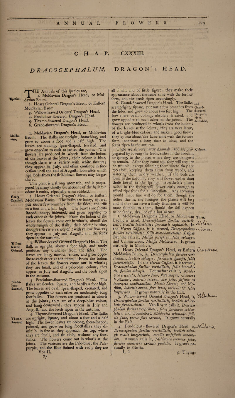 T T T ANNUAL F L O W E R S. 129 CHAP. CXXXIII. D R ACOC EP HALU M, DRAGON’s HEAD, THE Annuals of this fpecies are, 1. Moldavian Dragon’s Head, or Mol- ^pecies. ^avian Baum. 2. Hoary Oriental Dragon’s Head, or Eaftern Moldavian Baum. 3. Willow-leaved Oriental Dragon’s Head. 4. Pendulous-flowered Dragon’s Head. 5. Thvme-flowered Dragon’s Head. 6. Grand-flowered Dragon’s Head. Molda¬ vian, Hoary Oriental, Willow- leaved Oriental, Pendu- lous- flowered, Thyme- flowered 1. Moldavian Dragon’s Head, or Moldavian Baum. The (talks are upright, branching, and grow to about a foot and a half high. The leaves are oblong, fpear-flhaped, ferrated, and grow oppofite to each other at the joints. The flowers are produced in whorls from the bofom of the leaves at the joints ; their colour is blue, though there is a variety with white flowers ; they appear in July, and often continue in fuc- ceflion until the end of Auguft, foon after which ripe feeds from the firft-blown flowers may be ga¬ thered. This plant is a ftrong aromatic, and is propa¬ gated by many chiefly on account of the bgllamic odour it emits, efpecially when rubbed. 2. Hoary Oriental Dragon’s Plead, or Eaftern Moldavian Baum. The (talks are hoary, fquare, put out a few branches from the fides, and rife to a foot and a half high. The leaves are fpear- (haped, hoary, indented, and grow oppofite to each other at the joints. From the bofom of the leaves the flowers come out in whorls, almoft the whole length of the (talk ; their colour is blue, though there is a variety of it with yellow flowers ; they appear in July and Auguft, and the feeds ripen in the autumn. 3. Willow-leaved Oriental Dragon’s Head. The (talk is upright, about a foot high, and rarely produces any branches from the fides. The leaves are long, narrow, entire, and grow oppo¬ fite to each other at the joints. From the bofom of the leaves the flowers come out in whorls *, they are fmall, and of a pale-blue colour; they appear in July and Auguft, and the feeds ripen in the autumn. 4. Pendulous-flowered Dragon’s Head. The (talks are (lender, fquare, and hardly a foot high. The leaves are oval, fpear-ftiaped, crenated, and grow oppofite to each other on moderately long footftalks. The flowers are produced in whorls at the joints; they are of a deep-blue colour, and hang downward •, they appear in July and Auguft, and the feeds ripen in the autumn. 5. Thyme-flowered Dragon’s Head. The (talks are upright, fquare, and about a foot and a half high. The lower leaves are oblong, fpear-flhaped, pointed, and grow on long footftalks; they di- miniflh in fize as they approach the top, where they are fmall, and fit clofe, without any foot¬ ftalks. The flowers come out in whorls at the joints. The varieties are the Pale-blue, the Pale- purple, and the Blue ftained with red; they are VOL.II. s; deferibed. all fmall, and of little figure; they make'their appearance about the fame time with the former forts, and the feeds ripen accordingly. 6. Grand-flowered Dragon’s Head. The (talks an(j are upright, lquare, put out a few branches from Granfl- the fides, and grow to about two feet high. The flowered leav s are oval, oblong, obtufely ferrated, and * grow oppofite to each other at the joints. The flowers are produced in whorls from the bofoms of the leaves at the joints; they are very large, of a bright-blue colour, and make a good (how ; they appear about the fame time with the former forts, continue a long time in blow, and the feeds ripen in the autumn. The(e are all very hardy Annuals, and are pro- Culture, pagated by fowing the feeds, either in the autumn or fpring, in the places where they are deiigned to remain. After they come up, they will require no trouble, except thinning them where they are too clofe, keeping them clean from weeds, and watering them in dry weather. If the feeds are fown in the autumn, they will flower earlier than thofe lowed in the fpring; neverthelefs plants raifed in the fpring will flower early enough to afford ripe feeds for a fucceffion. Any common mould made fine will do for them, though the richer this is, the ftronger the plants will be 5, and if they can have a (hady fituation it will be more fuitable to them, fhould the foil happen to be fandy, dry, or of a hot nature. 1. Moldavian Dragon’s Head, or Moldavian Titles* Baum, is titled, Dracocephalum fioribus verticil- a n t laris, bracleis lanceolatis: ferratwis capillacds. In L ftajv- the Hortus Cliffort. it is termed, Dracocephalum --vicu~rrc. fioribus verticillatis, foliis ovato-lanceolatis. Cafpar Bauhine calls it, Meliffa peregrine, folio oblongo % and Cammerarius, Meliffa Moldavica. It grows naturally in Moldavia. 2. Hoary Oriental Dragon’s Plead, or Eaftern CovrJidCQAU. Moldavian Baum, is, Dracocephalum fioribus ver¬ ticillatis, hr a bids oblongis : Jerraturis Jpinofis, foliis fubtomentofis. In the Hortus Cliffort. it is termed, Dracocephalum fioribus verticillatis, foliis lanceola* tis, fioribus oblongis. Tournefort calls it, Molda¬ vica orient alis, betonica folio, fore magno, viclaceo; Volkamer, Sideritis in can a, olca folio, fiofculis ex incar mat 0 candic antibus, Montis Libani \ and Mo- rifon, Sideritis annua, fiore luteo, utriculis id foliis longioribus. It grows naturally in the Eaft. 3. Willow-leaved Oriental Dragon’s Head, is, Dracocephalum fioribus verticillatis, bracleis orbicu- latis ferrato-ciliatis. Van Royen calls it, Dracocet phalum fioribus verticillatis, foliis ficralibus orbicu¬ laris ; and Tournefort, Moldavica orient alis, fa ID cis folio, p(irvo fiore caruleo. It grows naturally in the Eaft. 4. Pendulous - flowered Dragop’s Head is, Dracocephalum fioribus verticillatis, bradeis oblon¬ gis ovatis integerrimis, corollis majufcults nut anti- bus. Amman calls it, Moldavica betonic a folio, fioribus minor i bus cant Ids pendulis. It grows na¬ turally in Siberia. L 1