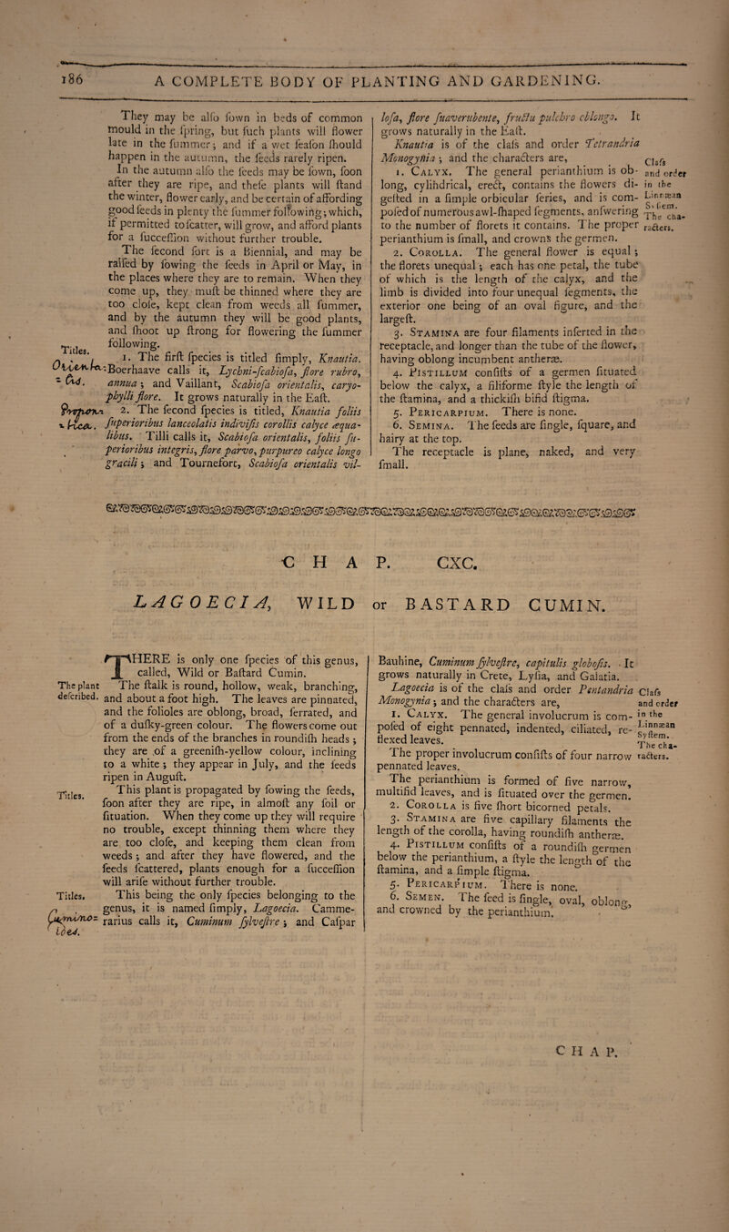 4 186 A COMPLETE BODY OF PLANTING AND GARDENING. They may be alfb Town in beds of common mould in the lpring, blit fuch plants will flower late in the fummer; and if a y/et feafon fhould happen in the autumn, the feeds rarely ripen. In the autumn alfo the feeds may be lbwn, foon after they are ripe, and thefe plants will ftand the winter, flower early, and be certain of affording good feeds in plenty the fummer following*, which, it permitted tofcatter, will grow, and afford plants for a fucceflion without further trouble. The iecond Port is a Biennial, and may be raffed by flowing the feeds in April or May, in the places where they are to remain. When they come up, they muff be thinned where they are too dole, kept clean from weeds all fummer, and by the autumn they will be good plants, and fhoot up ftrong for flowering the fummer Tules following. ' i. The firft fpecies is titled Pimply, Knautia. UU/&*,kc:Boerhaave calls it, Lychni-fcabiofa, f ore rubro, • (w. annua ; and Vaillant, Scabiofa orientalis, caryo- phylli fore. It grows naturally in the Eaft. 9'rvlurK~. 2. The fecond fpecies is titled, Knautia foliis x l^vcec, fuPerionbus lanceolatis indivifis corollis calyce squa¬ ll bus. Tilli calls it, Scabiofa orient alis, foliis fu- perioribus intcgris, fore parvo, pur pur eo calyce longo gracili; and Tournefort, Scabiofa orient alis vil¬ li Ufa, fore fuaverubente, frullu pulchro cblongo. grows naturally in the Fall. Knautia is of the clals and order Tctrandria Monogynia ; and the characters are, Cjaf-g 1. Calyx. The general perianthium is ob- and order long, cylindrical, ereCt, contains the flowers di- in the gelted in a Ample orbicular feries, and is com- Bin naan poled of numerous awl-fhaped fegments, anfwering T'^e*rnha. to the number of florets it contains. The proper ra&ers. perianthium is fmall, and crowns the germen. 2. Corolla. The general flower is equal ; the florets unequal *, each has one petal, the tube of which is the length of the calyx, and the limb is divided into four unequal fegments, the exterior one being of an oval figure, and the largeft. 3. Stamina are four filaments inferted in the receptacle, and longer than the tube of the flower, having oblong incumbent anther®. PlSTILLUM confifts of a germen fituated below the calyx, a filiforme ftyle the length of the ftamina, and a thickifn bifid ftigma. 5. Pericarpjum. There is none. 6. Semina. The feeds are Angle, fquare, and hairy at the top. The receptacle is plane, naked, and very fmall. CHAP. CXC. LAG 0 EC I A, WILD or BASTARD CUMIN. There is only one fpecies of this genus, called. Wild or Baftard Cumin. The plant The ftalk is round, hollow, weak, branching, deferibed. and about a foot high. The leaves are pinnated and the folioles are oblong, broad, ferrated, and of a dufky-green colour. The flowers come out from the ends of the branches in roundifh heads ; they are ,of a greenifh-yellow colour, inclining to a white ; they appear in July, and the feeds ripen in Auguft. Tries This plant is propagated by fowing the feeds, foon after they are ripe, in almoft any foil or fituation. When they come up they will require no trouble, except thinning them where they are too clofe, and keeping them clean from weeds; and after they have flowered, and the feeds fcattered, plants enough for a fucceflion will arife without further trouble. Titles. This being the only fpecies belonging to the n . genus, it is named Amply, Lagoecia. Camme- y4(07uAu>z rarjus caus jtj Cuminum fylvefre; and Cafpar loeA. Bauhine, Cuminum fylvefre, capitulis globofis. • It grows naturally in Crete, Lyfia, and Galatia. Lagoecia is of the clais and order Pentandria ciafs Monogynia ; and the characters are, and order 1. Calyx. The general involucrum is com- in.the poled of eight pennated, indented, ciliated, re- ^5n2ean flexed leaves. *yhfte“- , . I he cha- i he proper involucrum confifts of four narrow tacters. pennated leaves. The perianthium is formed of five narrow, multifid leaves, and is fituated over the germen. 2. Corolla is five fhort bicorned petals. 3. Stamina are five capillary filaments the length of the coiolla, having roundifh anther®. 4. Pistillum confifts of a roundifh germen below the perianthium, a ftyle the length of the ftamina, and a Ample ftigma. 5. Pericarpjum. There is none. 6. Semen. The feed is fingle, oval, oblonn- and crowned by the perianthiumi C H A 1>.