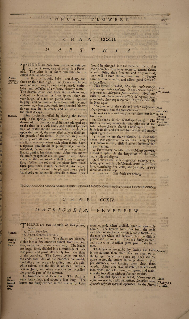 G II A P. CCXIII. Jl'T R T T N A. Annual THERE are only two fpecies of this ge¬ nus yet known, one of which is a Peren¬ nial. The other is ot fnort duration, and is called Annual Martynia. . The ftalk is robuft, hairy, branching, and defcribed. three or four feet high- The leaves are large, ' oval, oblong, angular, obtuie - pointed, entire, - hairy, and poflefied of a vilcous, clammy matter, j The flowers come out from the divisions and ends, of the branches in fhort fpikes ; they are very large, of a red or purple colour, appear in July, and continue in fucceffion until the end of autumn, when good feeds from the firft-blown flowers may be collected, and at which time the plant decays. Culture. This fpecies is raifed by fowing the feeds, early in the fpring, in pots filled with rich gar¬ den-mould. The pots mull be then plunged up to the rims in a bark bed •, and a flight fprink- ling of water fhould now-and-then be thrown upon the mould, the more effectually to facilitate the growth of the feeds. In this bed they mult' remain, with all careful management, until they are fit to remove ; when each plant fhould have a feparate pot, fhould be plunged again into a bark-bed, be well-watered, and kept conftantly fhaded until it has taken root. After this, more air muft proportionally be given them, efpe- cially as the hot weather fhall make it necei- fary. When the roots of the plants have filled thefe pots, they fhould be fhifted into larger, at which time they muft be plunged into a good bark-bed; or rather, if there be a ftove, thev ' j k h h till 111; ffif; Hill fhould be plunged into the bark-bed there, that their branches may have room to extend them- felves. Being thus ficuated, and duly watered, they will flower ftrong, continue in beauty three or four months, and afford good feeds for a fucceffion. 1 his fpecies is titled, Martynia caule ramofo, , foliis integerrimis angulatis. In the Hortus Cliffort. /] it is termed, Martynia foliis dentatis. Houftoun c7^>rvntUL' calls it, Martynia annua villofa & vifcofa, folio ■ fubrotundo, fore magno rubro. It grows naturally in New Spain. Martynia is of the clafs and order Didynamia CJ f Angiofpermia ; and the characters are, an^ Sor<Jet 1. Calyx is a withering perianchium cut into in the five parts. Linnsan 2. Corolla is one bell-fhaped petal. The Syftem> tube is patent, ventricofe, and gibbous at the iaei-s!^ bale, where there is found a honey-juice. The limb is itnall, and cut into five obtufe and nearly equal fegments. 3* Stamina are four filiforme, incurved fila¬ ments, with connivent, connected antheras. There is a rudiment of a fifth filament between the upper flamina. 4. Pistillum confifts of an oblong germen, a fhort Ample ftyle the length of the itamina, and a bilobed fligma. 5. Pertcarpium is a ligneous, oblong, gib¬ bous, quadrangular, bifulcated, acuminated cap- fule, containing five cells, and opening in two directions at the top. 6. Semina. The feeds are oblong. K§ if ri? rt Opccics. Defcrip- tion of Corn and Sweet- fcented Fever¬ few. ^XAyO\AAAXX^A#.XA^XX&AX^XXxXx$K3&X^fe$X&5XXX$^Oi§S3£3{OK&XX38^^55:5K;f!?XX€iX)0!(X$!? CHAP. CCXIV. . * * , . * ; * v > ■ * ^ j 1 - **■ MATRICARIA, FEVERFEW. There are two Annuals of this genus, called, i. Corn Feverfew. ■ 2. Sweet-fcented Feverfew. 1. Corn Feverfew. The ftalks are flender, divide into a few branches almoft from the bot¬ tom, and grow to about a foot long. The leaves are large, finely divided into a multitude of nar¬ row parts, and grow alternately from the fides of the branches. The flowers come out from the ends and fides of the branches on fuitable footftalks; the rays are fpreading, and of a pale- white colour, but the difk is yellow : They ap¬ pear in June, and often continue in fucceffion the greatefl part of the fummer. 2. Sweet-fcented Feverfew. The ftalk is weak, branching, and about a foot long. The leaves are finely divided in the manner of Cha¬ momile, and, when bruifed, emit an agreeable odour. The flowers come out from the ends and fides of the branches on fuitable footftalks; the rays are white and deflexed, but the difk is yellow and prominent: They are finely fcented, and appear in fucceffion great part of the fum¬ mer. 1 4 , * ; . Thefe fpecies are raifed by fowing the feeds c , in the autumn foon after they are ripe, or in ° * the fpring. When they come up, they will re¬ quire no trouole, except thinning them to pro¬ per diftances, and keeping them clean from weeds. After they have tiowered, the feeds will loon ripen, and a fcattering will grow, and main¬ tain the fucceffion without further trouble. i. The firft fpecies is titled, Matricaria re-^j , ceptaculis conicis, radiis patentibus, feminibus nudis, a 1 * flu amis calycinis margine *iualibus. In the Hortus : {ffa?