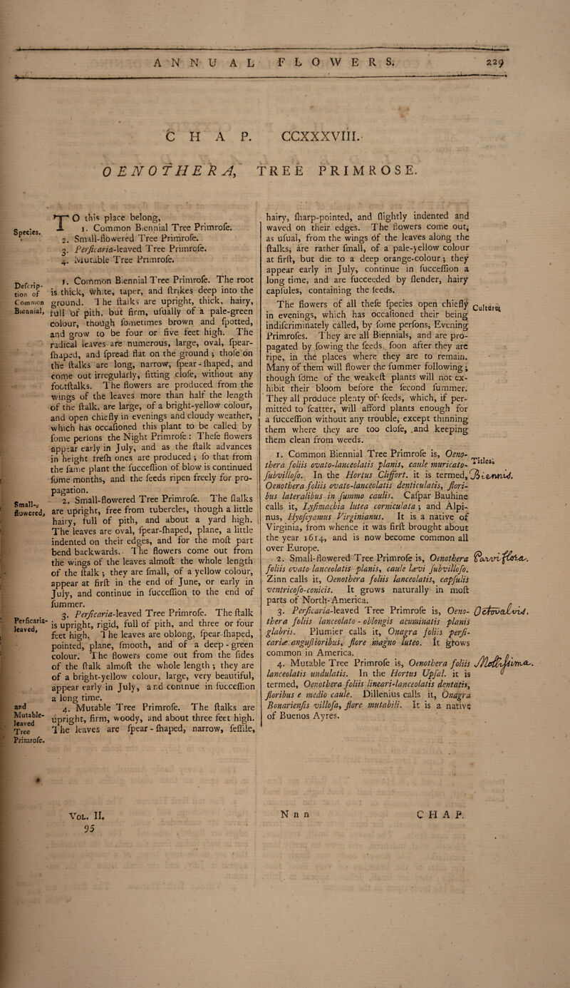 Species. Defcrlp- tion of Common Biennial, Small-# flowered, Perficaria- leaved, and Mutable¬ leaved Tree Primrofe, ANNUAL FLOWERS. 229 C H A P. CCXXXVliL- OENOTHERA TREE PRIMROSE. TO this place belong, 1. Common Biennial Tree Primrofe. 2. Small-flowered Tree Primrofe. 3. Perjicaria-\zzvcd Tree Primrofe. 4. Mutable Tree Pnmrole. j. Common Biennial Tree Primrofe. The root is thick, white, taper, and ftrikes deep into the ground. The ftaiks' are upright, thick, hairy, full of pith, but firm, ufualiy of a pale-green colour, though lbmetimes brown and fpotted, and grow to be four or five feet high. The radical leaves are numerous, large, oval, fpear- fhaped, and fpread flat on the ground *, thoie on the ftaiks are long, narrow, fpear - ihaped, and come out irregularly, fitting clofe, without any foctftalks. The flowers are produced from the wings of the leaves more than half the length of the ftalk, are large, of a bright-yellow colour, and open chiefly in evenings and cloudy weather, which has occafioned this plant to be called by fome perlons the Night Primrofe : Thefe flowers appear early in July, and as the ftalk advances in height frefh ones are produced ; fo that from the fame plant the fucceflion of blow is continued fome months, and the feeds ripen freely for pro¬ pagation. 2. Small-flowered Tree Primrofe. The ftaiks are upright, free from tubercles, though a little hairy, full of pith, and about a yard high. The leaves are oval, fpear-fhaped, plane, a little indented on their edges, and for the moft part bend backwards. The flowers come out from the wings of the leaves almoft the whole length of the ftalk ; they are fmall, of a yellow colour, appear at firft in the end of June, or early in July, and continue in fucceflion to the end of fummer. 3. Perjicaria-\ed.ved Tree Primrofe. The ftalk is upright, rigid, full of pith, and three or four feet high. 1 he leaves are oblong, fpear fhaped, pointed, plane, fmooth, and of a deep - green colour. The flowers come out from the fides of the ftalk almoft the whole length •, they are of a bright-yellow colour, large, very beautiful, appear early in July, and contnue in fucceflion a long time. 4. Mutable Tree Primrofe. The ftaiks are upright, firm, woody, and about three feet high. 1 he leaves are fpear - Ihaped, narrow, feflile. hairy, fharp-pointed, and (lightly indented and waved on their edges. The flowers come out^ as ufual, from the wings 6f the leaves along the , ftaiks, are rather fmali, of a pale-yellow colour at firft, but die to a deep orange-colour j they appear early in July, continue in fucceflion a long time, and are fucceeded by (lender, hairy capfules, containing the leeds. The flowers of all thefe fpecies open chiefly Cujt!j,e4 in evenings, which has occafioned their being indiferiminately called, by fome perfons. Evening Primrofes. They are all Biennials, and are pro¬ pagated by fowing the feeds foon after they are ripe, in the places where they are to remain. Many of them will flower the fummer following ; though lb me of the weakeft plants will not ex¬ hibit their bloom before the fecond fummer. They all produce plenty of' feeds, which, if per¬ mitted to fcatter, will afford plants enough for a fucceflion without any trouble, except thinning them where they are too clofe, .and keeping them clean from weeds. 1. Common Biennial Tree Primrofe is, Oeno- thera foliis ovato-lanceolatis plants, caule muricato- UAes, fubvillofo. In the Hortus Clijfort. it is termed, 3ieAVnuf. Oenothera foliis ovato-lanceolatis denticulatis, fiori- bus lateralibus in fummo caulis. Cafpar Bauhine calls it, Lyfimachia lutea corniculata ; and Alpi- nus, Hyofcyamus Virginianus. It is a native of Virginia, from whence it was firft brought about the year 1614, and is now become common all over Europe. 1 2. Small-flowered Tree Primrofe is, Oenothera boAArvfCoUu. foliis ovato-lanceolatis planis, caule lavi fubvillofo. Zinn calls it, Oenothera foliis lanceolatis, capfulis ventricofo-conicis. It grows naturally in moft parts of North-America. 3. Perftcaria-leaved Tree Primrofe is, Oeno- . thera foliis lanceolato - oblongis acuminatis plants ■glabris. Plunder calls it, Onagra foliis perfi- carise angufiioribus, fore magno luteo. it grows common in America. . 4. Mutable Tree Primrofe is, Oenothera foliis lanceolatis undulatis. In the Hortus Upfal. it is ^ termed, Oenothera foliis lineari-lanceolatis dentath, floribus e medio caule. Dillenius calls it, Onagra Bonarienfis villofa, florc mutabili. It is a native of Buenos Ayres. 95