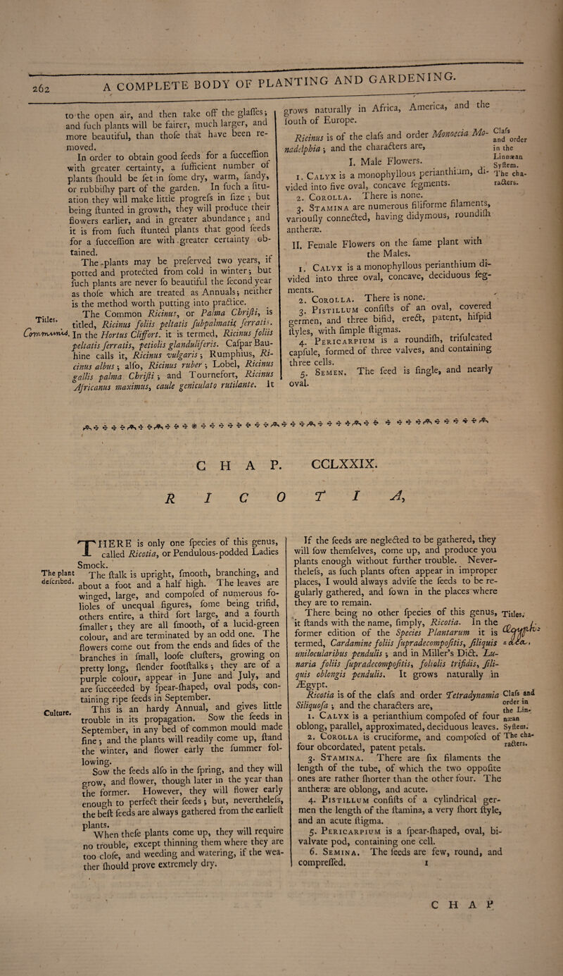 I 262 A COMPLETE BODY OF PLANTING AND GARDENING. \ to the open air, and then take off the glafles; and inch plants will be fairer, much larger, and more beautiful, than thofe that have been re¬ moved. In order to obtain good feeds for a fucceflion with greater certainty, a fufficient number ol plants fhould be fet in fome dry, warm, fandy, or rubbifhy part of the garden. In fuch a fili¬ ation they will make little progrefs in fize •, but being ftunted in growth, they will produce their flowers earlier, and in greater abundance; and it is from fuch ftunted plants that good feeds for a fuccelflon are with .greater certainty ob¬ tained. The .plants may be preferved two years, if potted and protected from cold in winter •, but fuch plants are never fo beautiful the fecondyear as thole which are treated as Annuals; neither is the method worth putting into pra&ice. . The Common Ricinus, or Palma Cbrijti, is Tltlcs# , titled, Ricinus foliis pit at is fubpahnatU, ferratis. jn the portus Cliffort. it is termed, Ricinus foliis peltatis ferratis, petiolis glanduliferis. Cafpar Bau- hine calls it, Ricinus vulgaris ; Rumphius, Ri¬ cinus albus ; alfo, Ricinus ruber ; Lobel, Ricinus gallis palma Chrijti ; and Tournefort, Ricinus Ajricanus maximusi caule geniculato rutilante. it grows naturally in Africa, America, and the fouth of Europe. Ricinus is of the clafs and order Moments Mo- nadelphia *, and the charafteis are, I. Male Flowers. 1. Calyx is a monophyllous perianthium, di¬ vided into five oval, concave fegments. 2. Corolla. There is none. 3. Stamina are numerous filiforme filaments, vanoufly connected, having didymous, roundilh antherae. II. Female Flowers on the fame plant with the Males. 1. Calyx is a monophyllous perianthium di¬ vided into three oval, concave, deciduous feg¬ ments. 2. Corolla. There is none. ' 3. Pistillum confifts of an oval, coveied germen, and three bifid, erect, patent, hilpid ityles, with fimple ftigmas. 4. Pericarpium is a roundilh, tnfulcated capfule, formed of three valves, and containing three cells. 5. Semen. The feed is Angle, and nearly oval. Clafs and order in the Linnaean Syftem. The cha¬ racters. CHAP. CCLXXIX. R 0 T A THERE is only one fpecies of this genus, called Ricotia, or Pendulous-podded Ladies Smock. The plant y^e ftalk is upright, fmooth, branching, and defcnbed. about a foot ancj a half high. The leaves are winged, large, and compofed of numerous fo- lioles of unequal figures, fome being trifid, others entire, a third fort large, and a fourth fmaller; they are all fmooth, of a lucid-green colour, and are terminated by an odd one. The flowers come out from the ends and fides of the branches in fmall, loofe clufters, growing on pretty long, {lender footftalks; they are of a purple colour, appear in June and July, and are fucceeded by fpear-lhaped, oval pods, con¬ taining ripe feeds in September. i Culture. This is an hardy Annual, and gives little trouble in its propagation. Sow the feeds in September, in any bed of common mould made fine *, and the plants will readily come up, ftand the winter, and flower early the lummer fol¬ lowing. . , Sow the feeds alfo in the fpring, and they will crrow, and flower, though later in the year than the former. However, they will flower early enough to perfect their feeds ♦, but, neverthelefs, the beft feeds are always gathered from the earlieft plants. When thefe plants come up, they will require no trouble, except thinning them where they are too clofe, and weeding and watering, if the wea¬ ther fliould prove extremely diy. If the feeds are neglected to be gathered, they will fow themfelves, come up, and produce you plants enough without further trouble. Never¬ thelefs, as fuch plants often appear in improper places, I would always advife the feeds to be re¬ gularly gathered, and fown in the places where they are to remain. There being no other fpecies of this genus, Titles, it Hands with the name, Amply, Ricotia. In the former edition of the Species Plantarum it is termed, Cardamine foliis fupradecompofitis, Jiliquis - unilocularibus pendulis °, and in Miller’s Diet. Lu- naria foliis fupradecompofitis, foholis trifidis, fili- quis oblongis pendulis. It grows naturally in Mgypt. Ricotia is of the clafs and order Petradynamia CIaft .and Siliquofa •, and the characters are, the6Lin- 1. Calyx is a perianthium compofed of four nEan oblong, parallel, approximated, deciduous leaves. Syftern; 2. Corolla is cruciforme, and compofed of The cha- four obcordated, patent petals. rafters. 3. Stamina. There are fix filaments the length of the tube, of which the two oppofite ones are rather fhorter than the other four. The antherae are oblong, and acute. 4. Pistillum confifts of a cylindrical ger¬ men the length of the ftamina, a very ftiort ftyle, and an acute ltigma. 5. Pericarpium is a fpear-ftiaped, oval, bi- valvate pod, containing one cell. 6. Semina. The feeds are few, round, and comprelfed. 1