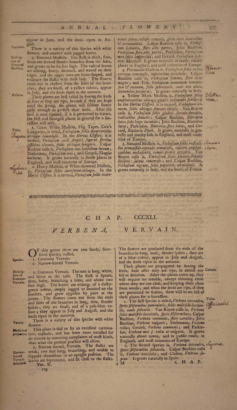 Varieties. Defer ip- lion of Sinuated Mullein, Culture. otudi nC- appear in June, and the feeds ripen in Au¬ gud. There is a variety of this fpecies with white flowers, and another with jagged leaves. 5. Sinuated Mullein. 1 he ilalkis thick, firm, fends out leveral (lender branches from the fides, and grows to be fix feet high. '1 he radical leaves are oblong, hoary, linuated, and waved on their edges, and the upper ones are heart-lhaped, and embrace the italics with their bafe. The flowers come out in chillers from the fides of the bran¬ ches •, they are frnall, of a yellow colour, appear in July, and the feeds ripen in the autumn. Thefe plants are bed raifed by fowing the feeds as foon as they are ripe, becaufe if they are kept until the fpring, the plants will feldom flower early enough to perfect their feeds. After the feed is once ripened, if it is permitted to fcatter, the belt and dronged plants in general for a fuc- ceffion will arife. 1. Great White Mullein, Hig Taper, Cow’s Lungwort, is titled, Verbafcum foliis decurrentibus . titrinque tomentofis. In the tiortus Cliffort. it is termed, Verbafcum caule Jimplici fuperne floribus fejfihbus clavato, foliis utrinque lanigeris. Cafpar Bauhine calls it, Verbafcum mas latifolium luteum *, Lodonseus, Verbafcum mas; and Gerard, Thapfus harbatus. It grows naturally in derile places in England, and mod countries of Europe. 2. Hoary Mullein, or White-flowered Mullein, is, Verbafcum foliis cuneiformi-oblongis. In the Hortils Cliffort. it is termed, Verbafcum foliis ovato- lit e*f. 0 l acutis fubtus villofis crenaiis, fpicis laxis later alibus & terminalibus. Cafpar Bauhine calls it, Verbaf¬ cum lycbnitis, flore albo parvo; John Bauhin'e, Verbafcum jlore albo parvo ; Parkinfon, Verbafcum mas foliis longioribus and Gerard, V erbafcum lych- nitis Matthioli. It grows naturally ih landy, chalky places in England, and mod countries of Europe, o/y 3. Phlomoide Mullein is, Verbafcum foliis ovatis LhVCcnrcO- uirinoLue tomentofis, inferioribus petiolatis. Cafpar Bauhine calls it, Verbafcum femina, flore luteo magno \ and Tilli, Verbafcum montanum tomento- fum & incanum, folio fubrotundo, caule non alato, ftaminibus purpureis. It grows naturally in Italy. 4. Yellow Moth Mullein is, Verbafcum folds amplexicaulibus oblongis glakris pedunculis folitarvs. -’eta., , In the Hortus Cliffort. it is termed, Verbafcum an- mum, foliis oblongis fmuatis obtufis. Van Royen calls it, Verbafcum foliis glabris ferrato-dentatis, radicalibus fmuatis *, Calpar Bauhine, Blattaria lutea folio longo laciniato ; John Bauhine, Blattaria lutea j Parkinfon, Blattaria flore luteo~\ and Ge¬ rard, Blattaria Plinii. It grows naturally in gra¬ velly and marley foils in England, and mod coun¬ tries of Europe. 5. Sinuated Mullein is, Verbafcum foliis radicali- Jimxua--- bus pinnatifido-repandis tomentofis. caulinis amplexi- - Auto, caulibus nudiufcutis, rameis primis oppofitis. Van Royen calls it, Verbafcum foliis pinnatofinuatis hirfutis: fubtus tomentofis ; and Cafpar Bauhine, Verbafcum nigrum, foliis papaveris corniculati. It grows naturally in Italy, and the South of France, CHAP. CCCXLI. VERBENA, VERVAIN. Species. Descrip¬ tion of Common Vervain. Variety. Medicinal properties Narrow¬ leaved Vervain deicribed. F this genus there are two hardy, diort- I lived fpecies, called, 1. Common Vervain. 2. Narrow-leaved Vervain. j. Common Vervain. The root is long, white, and bitter to the tade. The dalk is fquare, firm, hairy, branching a little, and about two feet high. The leaves are oblong, of a dulky- green colour, deeply jagged or finuated on the borders, and grow oppoflte by pairs at the joints. The flowers come out from the ends and fides of the branches in long, thin, (lender fpikes i they are frnall, and of a pale-blue co¬ lour ; they appear in July and Augud, and the feeds ripen in the autumn. ~ There is a variety of this fpecies with white flowers. This plant is Laid to be an excellent carmina¬ tive,' cephalic, and has been more extolled for its virtues in removing complaints of mod kinds, than what the prefent practice will allow. 2. Narrow-leaved^Vervain. The dalks are weak, two feet long, branching, and unable to fupport themfelves in an upright pofition. The leaves are bipinnated, and fit clofe to the dalks. VOL. II. 102 The dowers are produced from the ends of the branches in long, looie, dender fpikes ; they are of a blue colour, appear in July and Augud, and the feeds ripen in the autumn. Thefe plants are propagated by fowing the feeds, fopn after they are ripe, in almod any Culture, foil or fituation. After the plants come up, they will require no trouble, except thinning them where they are too clofe, and keeping them clean from weeds •, and when the feeds are ripe, if they are permitted to fcatter, there will be no fail of thefe plants for a fuccefiion. 1. The fil'd fpecies is titled, Verbena tetrandra* . /. » fpicis filiformibus paniculatis, foliis multifido-lacinia- tiSy caule folitario. Van Royen calls it. Verbena foliis multffido-laciniatis, fpicis filiformibus; Cafpar Bauhine, Verbena communis, flore casruleo \ John Bauhine, Verbena vulgaris •, Dodonaeus, Verbena refta; Gerard, V'erbena communis j and Parkin¬ fon, Verbena mas f. reft a et vulgaris. It grows naturally about towns, and in public roads, m England, and mod countries of Europe. - . 2. The fecond fpecies is, Verbena tetrandra, vuffMU*L. fpicis filiformibus folitariis. Cafpar Bauhine calls v it, Verbena tenuifolia ; and Clufius, Verbena ft- pina. It grows naturally in Spain. M CHAP.