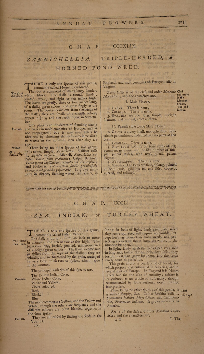 C II A P. CCCXLIX. ZAN NIC HE LL-IA TRIPLE -HEADED, HORNED POND-WEED; or THERE is onlv one fpecies of this genus, commonly called Horned Pond-weed. . The root is compofed of many long, (lender, defcnbed! whitilh fibres. The dalk is round, (lender, jointed, weak, and eight or ten inches high. The leaves are grafiy, three or four inches long, of a dulky-green colour, and grow fingly at the joints. The flowers come out from the wings of the (lalk ; they are (mall, of a whitifh colour, appear in July, and the feeds ripen in Septem¬ ber. This plant is an inhabitant of (landing waters Culture, and rivers in mod countries of Europe, and is not propagated; but it may neverthelels be obtained by throwing the feeds into fome ditch or waters in the autumn, loon after they are Titles? ripe. There being no other fpecies of this genus, it is named (imply, Zanriichellia. Vaillant calls ' it, Algoides vulgaris ; Micheli, Zanriichellia pa- luftris major, foliis gramineh ; Calpar Bauhine, Potamogeton capillaceum, capitulis ad alas trifidisy and Plukenet, Potamogetoni fimilis graminifolia 'yamofa et ad genicida polyceratos. It grows natu¬ rally in ditches, (landing waters, and rivers, in England, and mod countries of Europe ; alio in Virginia. ' Zannichdlia is of the clafs and order Monoecia Oafs , Monandria *, and the characters are, ?n the ** I. Male Flower. hitman , Syftem. 1. Calyx. There is none. T1Je cha“ 2. Corolla. There is none. . racers. 3. Stamina are one long, fimple, upright filament, and an oval, ereCt anthera. II. Female clofe to the Male Flower. 1. Calyx is a very fmall, monophyllous, ven- tricofe perianthium, indented in two parts at the brim. 2. Corolla. There is none. 3. Pist 1 llum confifts of four corniculated, connivent germens, and the like number of fim¬ ple, patent dyles, with oval, plane, patent digmas. 4. Pericarpium. There is none. 5. Semina. The feeds are four,oblong, pointed at both ends, gibbous on one fide, covered, curved, and re flexed. G H A P. GCCL. Z E A INDIAN, or TURKEY WHEAT, THERE is only one fpecies of this genus, commonly called Indian Wheat. The (talk is upright, firm, an inch or more The in diameter, and ten or twelve feet high. The eCn C ’ leaves are long, keeled, pointed, numerous, and of a bright-green colour. The flowers come out in (pikes from the tops of the dalks ; they are whitilh, and are fucceeded by the grain, arranged in very long, thick ears or ipikes, which ripen in the autumn. The principal varieties of this fpecies are. The Yellow Indian Corn, Varieties. White Indian C01 n, White and Yellow, Violet-coloured, Red, Black, The mod common are Yellow, and the Yellow and White, though the others are frequent * and the different colours are often blended together in the fame fpikes. . , . , . . They are all raifed by (owing the feeds in the VOL. II. 103 Culture. fpring, in beds of light, fandy earth; and when they come up, they will require no trouble, ex¬ cept keeping them clean from weeds, and pro¬ tecting them with (takes from the winds, if the fituation be open. In light, fandy earth the feeds ripen very well in England; but in drong, rich, deep foils, they for the mod part grow luxuriant, and the feeds rarely come to perfection. This grain affords a coarfe kind of bread, for which purpofe it is cultivated in America, and in feveral parts of Europe. In England it is feldom raifed but for the fake of cunofity ; neither is its culture, as an article of huibandry, though recommended by fome authors, worth putting into practice. There being no other fpecies of this genus, it TitiC8 is named dmply, Zea. Cafpar Bauhine calls it, Frumentum Indicim Mays did urn; and Cammera- W7 rius, Frumentum Indicum. It grows naturally in America. Zea is of the clafs and order Monoecia Frian- dria; and the characters are, • 4 O I, The /