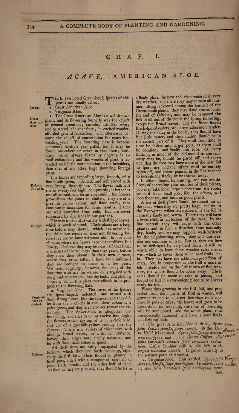 / 334 A COMPLETE BODY OF PLANTING AND GARDENING. CHAP. I. AGAVE, AMERICAN ALOE. Species. Great American Aloe. Defcrip- tion of it. Variety. Virginian Aloe de- fcribed. Culture. TH E two noted Green-houfe fpecies of this genus are ufually called, i. Great American Aloe. 2. Virginian Aloe. i. The Great American Aloe is a well-known plant, and its flowering formerly was the objeCt of general attention ; curiofity attracted every one to attend it in that ftate ; it excited wonder, afforded general fatisfa&ion, and afterwards be¬ came the objeCt of converfation for many fuc- ceeding years. The flowering now is become common; hardly a year paffes, but it may be found onc-where or other in that ftate; curi¬ ofity, which always abates by degrees, is al- moft exhaufted ; and this wonderful plant is at¬ tended with little more emotion in the beholders, than that of any other large flowering foreign plant. ' / The leaves are exceeding large, fmooth, of a fine bluifli green, indented, and well armed with very ftrong, fnarp fpines. The flower-ftalk will rife to twenty feet high, or upwards; it branches out all around, and forms a pyramid ; the flowers grow from the joints in clufters, they are of a greenifh yellow colour, and ftand ereCt; they continue in fuccefiion for fome months, if they are well protected from cold, but are never fucceeded by ripe feeds in our gardens. There is a beautiful variety with ftriped leaves, which is much admired. Thefe plants are a long time before they flower, which has occafioned the ridiculous report of their not flowering be¬ fore they are an hundred years old. In our cold climate, where the leaves expand themfelves but flowly, I believe they may be near half that time, and many of them longer than fifty years, before they fhew their bloom: In their own climate, where they grow falter, 1 have been informed they are brought to flower in a few years* We need not grudge, however, the delay of the flowering with us; for we are daily regaled with the grand appearance, healthy look, and pleafing contrail, which this plant ever affords in its pro- grefs to the flowering ftate. 2. Virginian Aloe. The leaves of this fpecies are fpear-fhaped, indented, and armed with lharp ftrong fpines, like the former ; and they dif¬ fer from them chiefly in this, their colour is a paler green, and they are narrower toward the ex¬ tremity. The flower-ftalk is altogether un¬ branching, and rifes to ten or twelve feet high ; the flowers crown tl?e top of it in a dole head, and are of a greenilh-yellow colour, like the former. There is a variety of this fpecies with oblong, broad leaves, of a thinner fubitance, having their edges more clofely indented, and fet with lharp dark-coloured fpines. All thefe forts are eafily propagated by the fuckers, which they fend forth in plenty, efpe- cially the firft fort. Thefe fhould be planted in Email pots, filled with a comport of one half of good frelh mould, and the other half of fand. As foon as they are planted, they fhould be let in a lhady place, be now and then watered in very dry weather, and there they may remain all fum- mer. Being reckoned among the hardieft of the Green-houfe plants, they may ftand abroad until the end of October, and may be removed the firft of all out of the houfe the fpring following, except the Broad-leaved, and the Broad-leaved. Black-fpined variety, which are rather more tender. During their ftay in the houfe, they fhould have but little water, and their ftation fhould be in the cooleft part of it. They mult from time to time be Ihifted into larger pots, as there fhall be occafion; and finally into tubs. At every fhifting, as much of the old mould as conveni¬ ently may be, lhould be pared off, and taken out, that the root may have more of the new foil to fport in; and the offsets mult be entirely taken off, and either planted in the like manner to increafe the ftock, or be thrown away. If offsets fhould be wanting, and you are dc- firous of encreafing your number of thofe plants, you may take fome large pieces from the roots* which if fet in fmall pots, like the offsets, will foon fhoot up, and become good plants. A few of thefe plants fhould be turned out of the pots, when they are pretty large, and fet in the Ever-green wildernefs quarters, if the foil is naturally fandy and warm. There they will have a fweet effeCt at all feafons of the year, by the fine contraft they will caufe with the other plants; and in fuch a fituation thus naturally dry, fandy, and we may fuppofe well-fheltered by the neighbouring trees, they will out-wea¬ ther our common winters. But as they are fure to be deftroyed by very hard frofts, it will be worth while to have fome wooden cafes made, with which to cover them when hard frofts fet- in. They may have the additional protection of mats, &c. in proportion as the froft is more or lefs intenfe *, and on the firft return of fine wea¬ ther, the whole fhould be taken away. Thefe cafes fhould be made to take to pieces, and fhould be laid in a convenient place to be always ready for ufe. Plants thus growing in the full foil, and pro¬ tected from the injuries of froft in winter, will grow fafter and to a larger fize than thofe con¬ fined in pots or tubs •, the leaves will grow to be upwards of fix feet high, the time of flowering will be accelerated, and the'whole plant, thus unexpectedly ftationed, will have a more lively and ftriking look. 1. The great American Aloe is titled. Agave Titks. foliis dentato-fpinofis, [capo ramofo. In the Hor- jj . tus Upfal. it is termed, Agave foliis fpinofo-dentatis^ mucronatifque; and in the Hortus Cliffort. A^^ foliis lanceolatis dent at is fpind terminatis radica- libus. Cafpar Bauhine calls it, Aloe folio in ob- longum mucrcnem abeunte. It grows naturally in the warmer parts of America. ~ 2. Virginian Aloe. This is titled. Agave foliis riifjt1' dentato-fpinofis, fcapo fimpliciffimo. Gronovius call* it, Aloe foliis lanceolatis fpind cartilaginea termi- nali. /