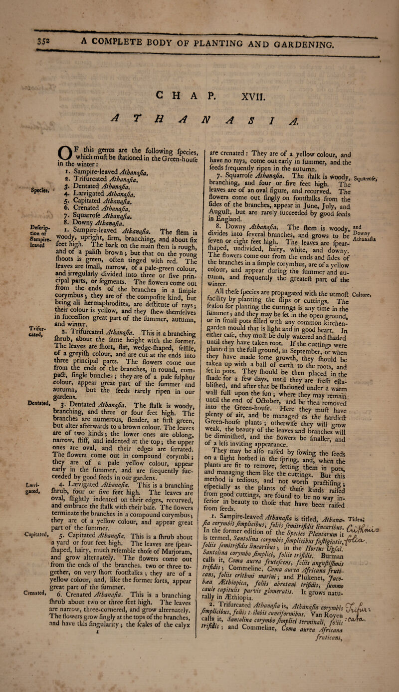 CHAP. XVII. A r H A N ASIA, Specie*. * Defcrip- tion of Sampire- leaved Trifur¬ cated, Dentated, Latvi- gated. Capitated, Crenated, OF this genus are the following fpecles, which muft be Rationed in the Green-houfe in the winter: i. Sampire-leaved Athanafia^ 2. Trifurcated Athanafia. 5. Dentated Athanafia. 4. Levigated Athanafia. 5. Capitated Athanafia. 6. Crenated Athanafia. 7- SqUarrofe Athanqfia. S. Downy Athanafia. 1. Sampire-leaved Athanafia. The ftem is woody, upright, firm, branching, and about fix leet high. The bark on the main ftem is rough, and of a palifh brown; but that on the young lhoots is green, often tinged with red. The leaves are fmall, narrow, of a pale-green colour and irregularly divided into three or five prin¬ cipal parts, or legments. The flowers come out from the ends of the branches in a fimple corymbus i they are of the compofite kind, but being all hermaphrodites, are deftitute of rays- their colour is yellow, and they fhew themfelves in fucceffion great part of the fummer, autumn, and winter. 2. Trifurcated Athanafa. This is a branching fhrub, about the fame height with the former. The leaves are fhort, flat, wedge-fhaped, feflile, of a greyifh colour, and are cut at the ends into three principal parts. The flowers come out from the ends of the branches, in round, corn- pad, Angle bunches ‘ they are of a pale fulphur colour, appear great part of the fummer and autumn, but the feeds rarely ripen in our gardens. 3. Dentated Athanafa. The ftalk is woody, branching, and three or four feet high. The branches are numerous, (lender, at firft green, but alter afterwards to a brown colour. The leaves’ are of two kinds; the lower ones are oblong, narrow, ftiff, and indented at the top; the upper ones are oval, and their edges are ferrated. The flowers come out in compound corymbi; they are of a pale yellow colour, appear early in the fummer, and are frequently fuc- ceeded by good feeds in our gardens. 4. Laevigaied Athanafa. This is a branching ftirub, four or five feet high. The leaves are oval, flighdy indented on their edges, recurved, and embrace the ftalk with their bafe. The flowers terminate the branches in a compound corymbus-, they are of a yellow colour, and appear great part of the fummer. 5. Capitated Athanafa. This is a fhrub about a yard or four feet high. The leaves are fpear- fhaped, hairy, much refemble thofe of Marjoram, and grow alternately. The flowers come out from the ends of the branches, two or three to¬ gether, on very fhort footftalks -, they are of a yellow colour, and, like the former forts, appear great part of the fummer. 6. Crenated Athanafia. This is a branching fhrub about two or three feet high. The leaves are narrow, three-cornered, and grow alternately. The flowers grow flngly at the tops of the branches, and have this Angularity; the feales of the calyx are crenated : They are of a yellow colour, and have no rays, come out early in fummer, and the feeds frequently ripen in the autumn. 7. Squarrofe Athanafa. The ftalk is Woody, Squarrofe, branching, and four or five feet high. The leaves are of an oval figure, and recurved. The flowers come out fingly on footftalks from the fides of the branches, appear in June, July, and Auguft, but are rarely iucceeded by good feeds in England. 8. Downy Athanafa. The ftem is woody, an°f divides into feveral branches, and grows to be fever, or eight feet high. The leaves are fpear- ‘a lhaped, undivided, hairy, white, and downy. The flowers come out from the ends and Tides of the branches in a fimple corymbus, are of a yellow colour, and appear during the fummer and au¬ tumn, and frequently the greateft part of the winter. All thefe fpecies are propagated with the utmoft Culture, facility by planting the flips or cuttings. The leafon for planting the cuttings is any time in the lummer * and they may be fet in the open ground or in fmall pots filled with any common kitchen- garden mould that is light and in good heart. In either cafe, they muft be duly watered and fhaded until they have taken root. If the cuttings were planted in the full ground, in September, or when they have made lome growth, they fhould be taken up with a ball of earth to the roots, and fet in pots. They fhould be then placed in the fhade for a few days, until they are frefh efta- bhfhed, and after that be ftationed under a warm wall full upon the fun ; where thev may remain until the end of Oftober, and be then removed into the Green-houfe. Here they muft have plenty of air, and be managed as the hardieft Oreen-houfe plants ; otherwife they will grow weak, the beauty of the leaves and branches will be dimimfhed, and the flowers be fmaller, and ol a lefs inviting appearance. They may be alfo railed by fowing the feeds on a flight hotbed in the fpring, andf when the plants are fit to remove, letting them in pots and managing them like the cuttings. But thU method is tedious, and not worth pra&ifing • efpecially as the plants of thefe kinds raild from good cuttings, are found to be no way in- fro'mfe'ed^1111^ “ th°fe that haVe been raifai >■ Sampire-leaved Athanafia is titled, Athana- Tide.; fia corymhs fimplmhus, fol.it fmitrifidit iimaribus. p ' ; - In the former edition of the Species Plantarum it is termed, Santolma corymhs fimplicibus faftwatish™^. folns femitrifdis Unearibus ; in the Hortus Upfal 1 Santolma corymbo fmplici, foliis trifidis. Burman calls n:, Coma aurea frutefeens, foliis anguftiffaUs trifidis \ Commeline, Coma aurea Africana fruth cans, foliis crithmi marini; and Plukenet, Jaco- , ^t hi 0pica, foliis abrotani trifidis, fummo n CaptSHl!s. Parvis gtomeratis. It grows natu¬ rally in /Ethiopia. 2 Trifurcated Athanafa is, Athanafa corymhs tfjL- fmplicibus, foliis t, ilobis cuneiformibus. Van Rove n ' calls it, Santolina corymbo fimplici terminals, foliis :Ca^' trifidis i and Commeline, Coma aurea Africana fruticans. I