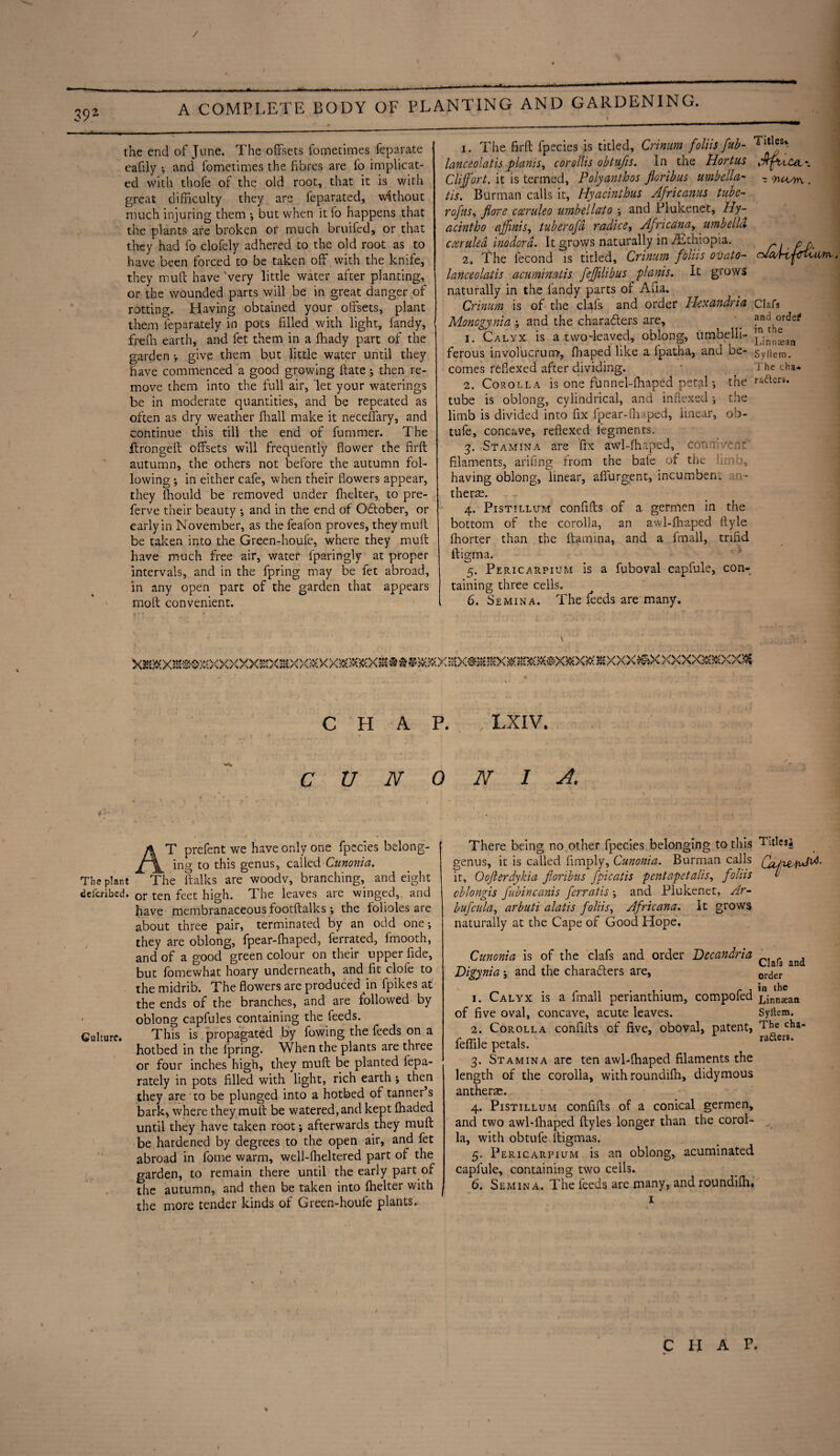 / 392 A COMPLETE BODY OF PLANTING AND GARDENING. the end of June. The offsets foinetitnes feparate eafily •, and fometimes the fibres are fo implicat¬ ed with thofe of the old root, that it is with great difficulty they are feparated, without much injuring them •, but when it fo happens that the plants are broken or much bruited, or that they had fo clofely adhered to the old root as to have been forced to be taken off with the knife, they muff have Very little water after planting, or the wounded parts will be in great danger of rotting. Having obtained your offsets, plant them feparately in pots filled with light, fandy, freffi earth, and fet them in a ffiady part of the garden -T give them but little water until they have commenced a good growing ffate; then re¬ move them into the full air, let your waterings be in moderate quantities, and be repeated as often as dry weather fhall make it neceflary, and continue this till the end of fummer. The ftrongeft offsets will frequently flower the firft autumn, the others not before the autumn fol¬ lowing ; in either cafe, when their flowers appear, they fhould be removed under {belter, to pre- ferve their beauty •, and in the end of October, or early in November, as the feafon proves, they muff be taken into the Green-houfe, where they muff have much free air, water fparingly at proper intervals, and in the fpring may be fet abroad, in any open part of the garden that appears molt convenient. 1. The firft fpecies is titled, Crinum foliis fub- lanceolatis plants, coroltis obtufis. In the Hortus Cliffort. it is termed, Polyanthos jloribus umbella* tis. Burman calls it, Hyacinthus Africanus tube- rofus, flore cceruleo umbellato ; and Plukenet, Hy- acintho ajfnis, tuberofd r a dice, Africana, umbella ccerulea inodord. It grows naturally in ^Ethiopia. 2, The fecond is titled, Crinum foliis ovato- lanceolatis acumimtis fejfilibus planis. It grows naturally in the fandy parts of Alia. Crinum is of the clafs and order Ilexandria Moncgynia ; and the characters are, 1. Calyx is a two-leaved, oblong, umbelli¬ ferous involucrum, ffiaped like a ipatha, and be¬ comes reflexed after dividing. 2. Corolla is one funnel-fliaped petal; tube is oblong, cylindrical, and indexed, limb is divided into fix fpear-fhaped, linear, tufe, concave, reflexed legmen ts. 3. Stamina are fix awl-fhaped, connive nr. filaments, arifing from the bale of the flmb, having oblong, linear, affurgent, incumbent a,- therse. 4. Pistillum confifts of a germen in the bottom of the corolla, an awl-fhaped ftyle fhorter than the ftamina, and a fmall, trifid ftigma. 5. Pericarpium is a fuboval capfule, con¬ taining three cells. 6. Semina. The feeds are many. Titles* Jfpu CtL\ - vuMn . the the ob- Uim, Clafs and order in the Linnsan Syftem. The cha¬ racters. XK)KX!SSOXO<X>;XXHXS£XX;XXX)e£3KjKXS®*@^K(X!!iX*3SiSXSKSt!KKWX)k'>vK^XXXJSXXXXX3{£SXX) CHAP. LXIV. c V N 0 N 1 A. T prefent we have only one fpecies belong¬ ing to this genus, called Cunonia. The plant The Salks are woodv, branching, and eight deferibed. or ten feet high. The leaves are winged,, and have membranaceous footftalks; the folioles are about three pair, terminated by an odd one; they are oblong, fpear-fhaped, ferrated, fmooth, and of a good green colour on their upper fide, but fomewhat hoary underneath, and fit clofe to the midrib. The flowers are produced in fpikes at the ends of the branches, and are followed by oblong capfules containing the feeds. Culture. This is propagated by fowing the feeds on a hotbed in the fpring. When the plants are three or four inches high, they muft be planted fepa¬ rately in pots filled with light, rich earth ; then they are to be plunged into a hotbed of tanner s bark, where they muft be watered, and kept fhaded until they have taken root; afterwards they muft be hardened by degrees to the open air, and fet abroad in fome warm, well-fhekered part of the garden, to remain there until the early part of the autumn, and then be taken into fhelter with the more tender kinds of Green-houfe plants. There being no other fpecies belonging to this Title*} genus, it is called limply, Cunonia. Burman calls \jvS- ir, Oojlerdykia jloribus fpicatis pentapetalts, foliis l cblongis fubincanis ferratis ; and Plukenet, Ar- bufcula, arbuti alatis foliis, Africana. It grows naturally at the Cape of Good Hope, Cunonia is of the clafs and order Decandria and Digynia and the characters are, orcJer 1. Calyx is a fmall perianthium, compofed j”jnn£ean of five oval, concave, acute leaves. Syltem. 2. Corolla confifts of five, oboval, patent, T^e cha* feffile petals. ra£leis' 3. Stamina are ten awl-fhaped filaments the length of the corolla, with roundifh, didymous anthers. 4. Pistillum confifts of a conical germen, and two awl-fhaped ftyles longer than the corol¬ la, with obtufe ltigmas. 5. Pericarpium is an oblong, acuminated capfule, containing two cells. 6. Semina. The feeds are many, and roundifh* C H A P.