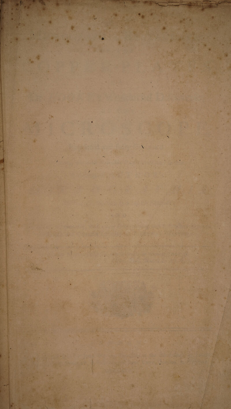 X t ♦ . rs- / ■t- ■ V 1 > $ ♦