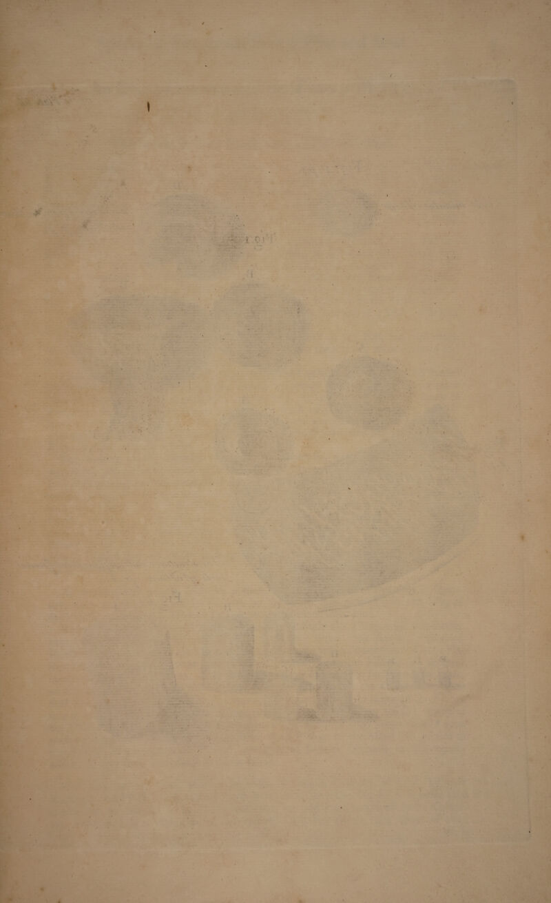 I .. ' * t - * ■ t ■ • - < • - , - v. . H , . . - \ f - .* • ' ' - r i ’• , ■; ■ ■4 . *' . . i ■ i * / > - ■' - ■ « , ■ ■ , - . - / • *N •• - ' V - 'V . ■ ' ■ . - » V ' J 1 * • . t > •** ' , - ■ / > > •