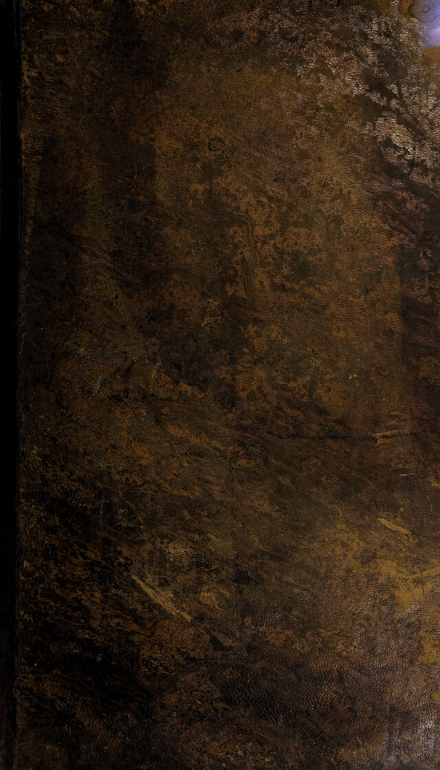 No text description is available for this image