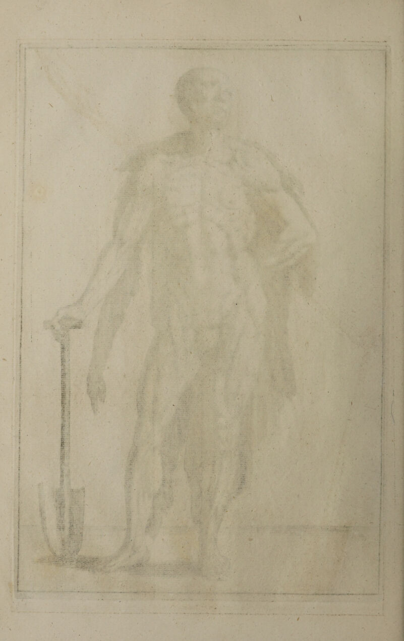 / . . J I ». • ;■* N • JiV V •I' ' . \ . *1 ' V* A • • s ; ■ v : /•V' ■ - ' K -■ ( >■■■' f s R : » | » A •I j jf f ï f *• ? • - y\ \ ' '< ' yli*Vv ■* A*l « ;■ : i-t . ) - I I' H- E v m ' JTi ; ■ V •; ?.. ' É ' S : fg k • 1 w • | : V’ i ‘ - , if :> ; ■ V k ; .V . ■; • %*v ‘s!- :-i! • '1 >■ - a;- ' r. '■ f ■ ■■ '■ ■ ■ < . ■ . ■ • .• ■ 1 1 i ' I >»- • •f- s ■ \ ; i . .* *»• V * ..V ,4-.. ‘ i v . ■ ; • * - . , _:t4 - - — - : —’ ^.V- - “ • >. . . •. ~ . < . r - - . : J . -V' ■ cl;. . -