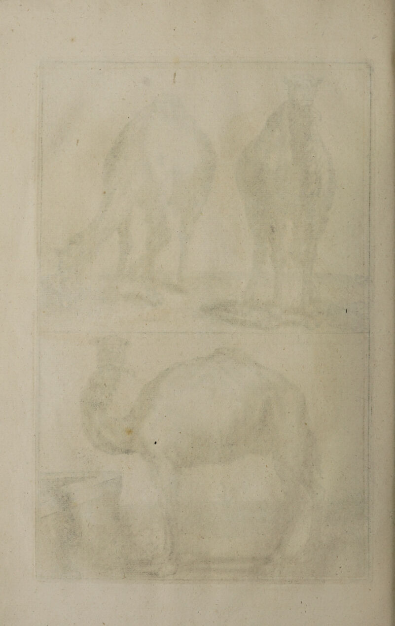 >■ ... - .... , * ..■•..V ••• , ■' ' ’7 W: ■ - ' 'V . . . - ■ . ' ; 4 -,... , v#r - - yx r. • .* - • '  ■ •: . • /r- . - ■ —• ' - :-H . . • . '• • <  • N ' ï i . ■„ • i ■ \ . i- : - -i/ H { » ' \ » . >