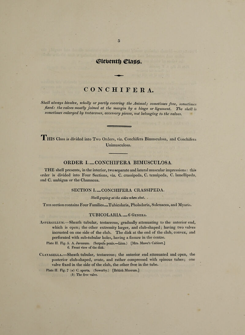 CONCHIFERA. Shell always bivalve, ivholly or partly covering the Animal; sometimes free, sometimes fixed: the valves mostly joined at the margin by a hinge or ligament. The shell is sometimes enlarged by testaceous, accessory pieces, not belonging to the valves. This class is divided into Two Orders, viz. Conchifera Bimiisculosa, and Conchifera Unimusculosa. ORDER I_CONCHIFERA BIMUSCULOSA. THE shell presents, in the interior, two separate and lateral muscular impressions: this order is divided into Four Sections, viz. C. crassipeda, C. tenuipeda, C. lamellipeda, and C. ambigua or the Chamacea. SECTION I_CONCHIFERA CRASSIPEDA. Shell gaping at the sides when shut. . This section contains Four Families_Tubicolaria, Pholadaria, Solenacea, and Myaria. TUBICOLARIA_6 Genera. Aspergillum.—Sheath tubular, testaceous, gradually attenuating to the anterior end, which is open; the other extremity larger, and club-shaped; having two valves incrusted on one side of the club. The disk at the end of the club, convex, and perforated with sub-tubular holes, having a fissure in the centre. Plate II. Fig. 5. A. Javanum. (Serpula penis.—Linn.) [Mrs. Mawe’s Cabinet.] 6. Front view of the disk. Clavagella.—Sheath tubular, testaceous; the anterior end attenuated and open, the posterior club-shaped, ovate, and rather compressed with spinous tubes; one valve fixed in the side of the club, the other free in the tube. Plate II. Fig. 7 (a) C. aperta. (Sowerby.) [British Museum.] (i) The free valve.