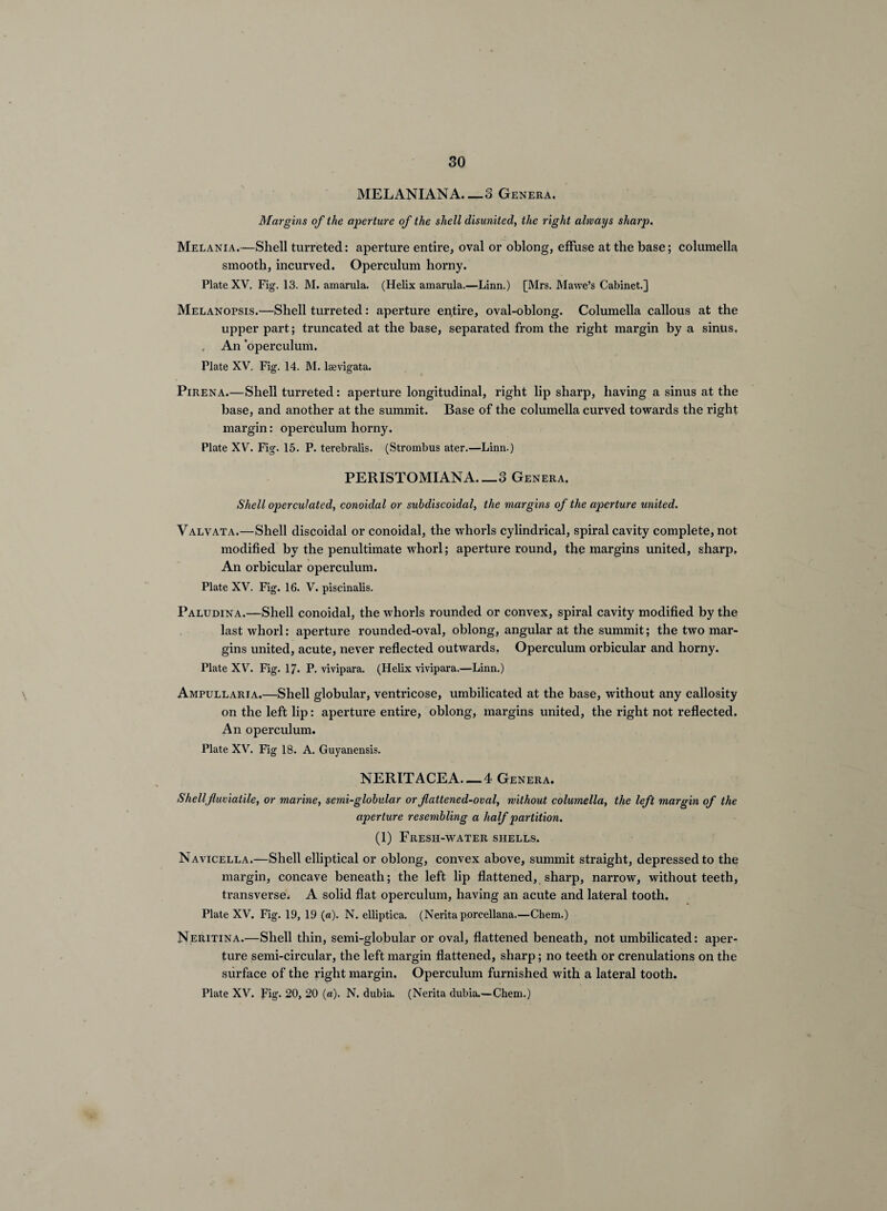 MELANIANA.—3 Genera. Margins of the aperture of the shell disunited, the right always sharp, Melania.—Shell turreted: aperture entire, oval or oblong, effuse at the base; columella smooth, incurved. Operculum horny. Plate XV. Fig. 13. M. amarula. (Helix amarula.—Linn.) [Mrs. Mawe’s Cabinet.] Melanopsis.—Shell turreted: aperture entire, oval-oblong. Columella callous at the upper part; truncated at the base, separated from the right margin by a sinus. , An ‘operculum. Plate XV. Fig. 14. M. laevigata. PiRENA.—Shell turreted: aperture longitudinal, right lip sharp, having a sinus at the base, and another at the summit. Base of the columella curved towards the right margin: operculum horny. Plate XV. Fig. 15. P. terebralis. (Strombus ater.—Linn.) PERISTOMIANA_3 Genera. Shell op)erculated, conoidal or suhdiscoidal, the margins of the aperture united. Valvata.—Shell discoidal or conoidal, the whorls cylindrical, spiral cavity complete, not modified by the penultimate whorl; aperture round, the margins united, sharp. An orbicular operculum. Plate XV. Fig. 16. V. piscinalis. Paludina.—Shell conoidal, the whorls rounded or convex, spiral cavity modified by the last whorl: aperture rounded-oval, oblong, angular at the summit; the two mar¬ gins united, acute, never reflected outwards. Operculum orbicular and horny. Plate XV. Fig. 17. P. vivipara. (Helix vivipara.—Linn.) Ampullaria.—Shell globular, ventricose, umbilicated at the base, without any callosity on the left lip: aperture entire, oblong, margins united, the right not reflected. An operculum. Plate XV. Fig 18. A. Guyanensis. NERITACEA. — 4 Genera. Shellfluviatile, or marine, semi-globular orflattened-oval, without columella, the left margin of the aperture resembling a half partition. (1) Fresh-water shells. Navicella.—Shell elliptical or oblong, convex above, summit straight, depressed to the margin, concave beneath; the left lip flattened, sharp, narrow, without teeth, transverse. A solid flat operculum, having an acute and lateral tooth. Plate XV. Fig. 19, 19 («). N. elliptica. (Neritaporcellana.—Chem.) Neritina.—Shell thin, semi-globular or oval, flattened beneath, not umbilicated: aper¬ ture semi-circular, the left margin flattened, sharp; no teeth or crenulations on the surface of the right margin. Operculum furnished with a lateral tooth. Plate XV. Fig. 20, 20 («). N. dubia. (Nerita dubia.—Chem.)