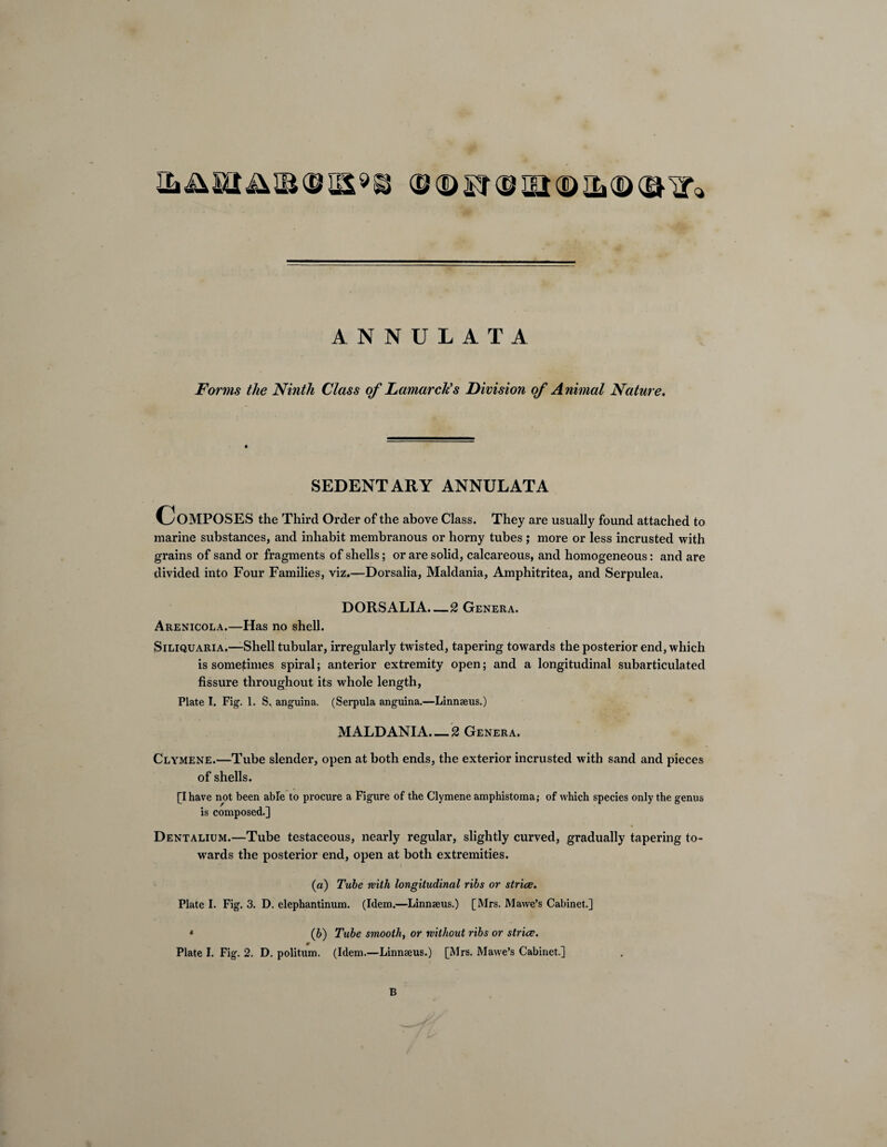 ANNULATA Forms the Ninth Class of Lamarck's Division of A nimal Nature. SEDENTARY ANNULATA Composes the Third Order of the above Class. They are usually found attached to marine substances, and inhabit membranous or horny tubes ; more or less incrusted with grains of sand or fragments of shells; or are solid, calcareous, and homogeneous: and are divided into Four Families, viz.—Dorsalia, Maldania, Amphitritea, and Serpulea. DORSALIA.—2 Genera. Arenicola.—Has no shell. Siliquaria.—Shell tubular, irregularly twisted, tapering towards the posterior end, which is sometimes spiral; anterior extremity open; and a longitudinal subarticulated fissure throughout its whole length, Plate I. Fig. 1. S, anguina. (Serpula anguina.—Linnaeus.) MALDANIA. — 2 Genera. Clymene.—Tube slender, open at both ends, the exterior incrusted with sand and pieces of shells. [I have not been abTe to procure a Figure of the Clymene amphistoma; of which species only the genus is composed.] Dentalium.—Tube testaceous, nearly regular, slightly curved, gradually tapering to¬ wards the posterior end, open at both extremities. (a) Tube with longitudinal ribs or strice. Plate I. Fig. 3. D. elephantinum. (Idem.—Linnaeus.) [Mrs. Mawe’s Cabinet.] 4 (b) Tube smooth, or without ribs or strice. Plate I. Fig. 2. D. politum. (Idem.—Linnaeus.) [Mrs. Mawe’s Cabinet.] B
