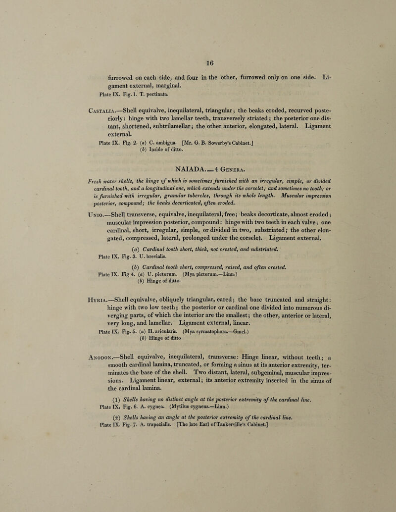 furrowed on each side, and four in the other, furrowed only on one side. Li¬ gament external, marginal. Plate IX. Fig. 1. T. pectinata. Castalia.—Shell equivalve, inequilateral, triangular; the beaks eroded, recurved poste¬ riorly : hinge with two lamellar teeth, transversely striated; the posterior one dis¬ tant, shortened, subtrilamellar; the other anterior, elongated, lateral. Ligament external. Plate IX. Fig. 2. (a) C. ambigua. [Mr. G. B. Sowerby’s Cabinet.] (b) Inside of ditto. NAIAD A. — 4 Genera. Fresh water shells, the hinge of which is sometimes furnished with an irregular, simple, or divided cardinal tooth, and a longitudinal one, which extends under the corselet; and sometimes no tooth; or is furnished with irregular, granular tubercles, through its whole length. Muscular impression posterior, compound; the beaks decorticated, often eroded. XTnio.—Shell transverse, equivalve, inequilateral, free; beaks decorticate, almost eroded; muscular impression posterior, compound: hinge with two teeth in each valve; one cardinal, short, irregular, simple, or divided in two, substriated; the other elon¬ gated, compressed, lateral, prolonged under the corselet. Ligament external. (a) Cardinal tooth short, thick, not crested, and substriated. Plate IX. Fig. 3. U. brevialis. (b) Cardinal tooth short, compressed, raised, and often crested. Plate IX. Fig 4. (a) U. pietorum. (Mya pictorum.—Linn.) (6) Hinge of ditto. Hyria.—Shell equivalve, obliquely triangular, eared; the base truncated and straight: hinge with two low teeth; the posterior or cardinal one divided into numerous di¬ verging parts, of which the interior are the smallest; the other, anterior or lateral, very long, and lamellar. Ligament external, linear. Plate IX. Fig. 5. (a) H. avicularis. (Mya syrmatophora.—Gmel.) (£>) Hinge of ditto Anodon.—Shell equivalve, inequilateral, transverse: Hinge linear, without teeth; a smooth cardinal lamina, truncated, or forming a sinus at its anterior extremity, ter¬ minates the base of the shell. Two distant, lateral, subgeminal, muscular impres¬ sions. Ligament linear, external; its anterior extremity inserted in the sinus of the cardinal lamina. (1) Shells having no distinct angle at the posterior extremity of the cardinal line. Plate IX. Fig. 6. A. cygnea. (Mytilus cygneus.—Linn.) (2) Shells having an angle at the posterior extremity of the cardinal line. Plate IX. Fig. 7- A. trapezialis. [The late Earl of Tankerville’s Cabinet.]
