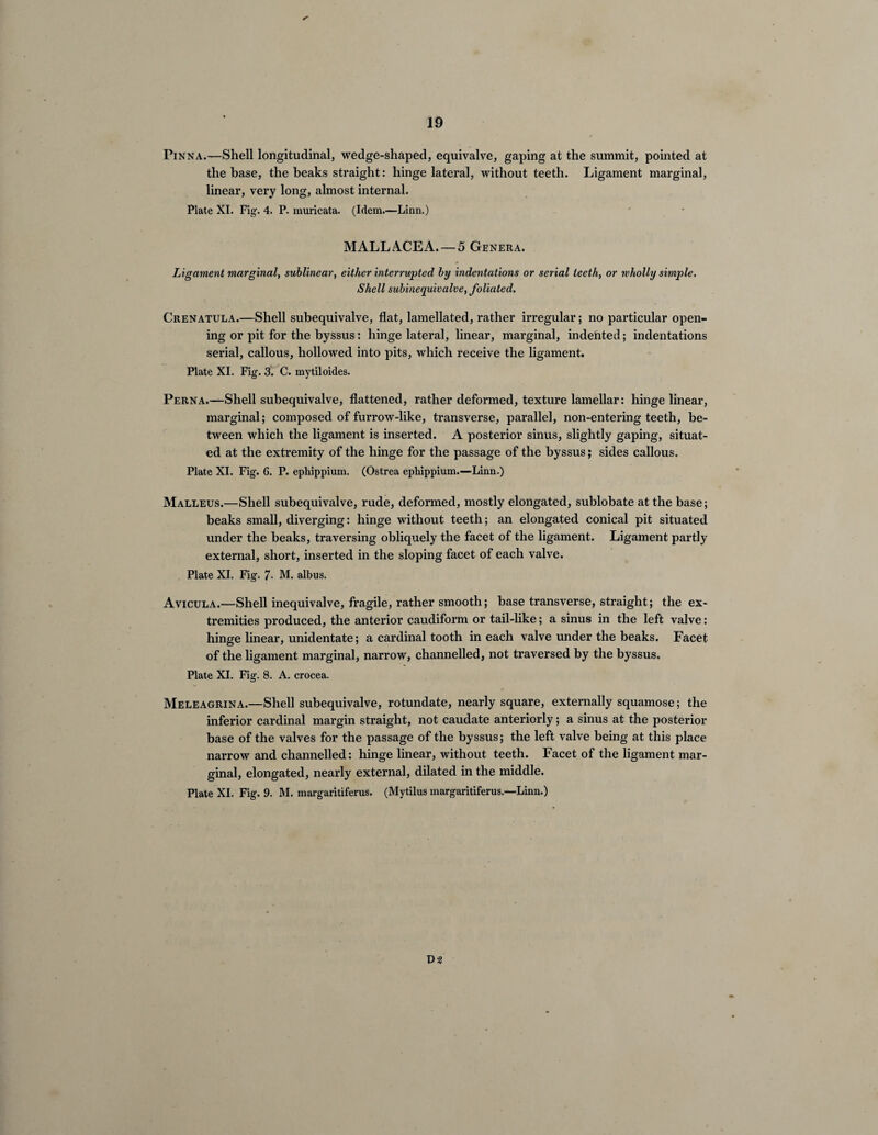 * Pinna.—Shell longitudinal, wedge-shaped, equivalve, gaping at the summit, pointed at the base, the beaks straight: hinge lateral, without teeth. Ligament marginal, linear, very long, almost internal. Plate XI. Fig. 4. P. muricata. (Idem.—Linn.) MALL ACE A.— 5 Genera. * Ligament marginal, sublinear, either interrupted by indentations or serial teeth, or wholly simple. Shell subinequivalve, foliated. Crenatula.—Shell subequivalve, flat, lamellated, rather irregular; no particular open¬ ing or pit for the byssus: hinge lateral, linear, marginal, indented; indentations serial, callous, hollowed into pits, which receive the ligament. Plate XI. Fig. 3. C. mytiloides. Perna.—Shell subequivalve, flattened, rather deformed, texture lamellar: hinge linear, marginal; composed of furrow-like, transverse, parallel, non-entering teeth, be¬ tween which the ligament is inserted. A posterior sinus, slightly gaping, situat¬ ed at the extremity of the hinge for the passage of the byssus; sides callous. Plate XI. Fig. 6. P. ephippium. (Ostrea ephippium.—Linn.) Malleus.—Shell subequivalve, rude, deformed, mostly elongated, sublobate at the base; beaks small, diverging: hinge without teeth; an elongated conical pit situated under the beaks, traversing obliquely the facet of the ligament. Ligament partly external, short, inserted in the sloping facet of each valve. Plate XI. Fig. 7- M. albus. Avicula.—Shell inequivalve, fragile, rather smooth; base transverse, straight; the ex¬ tremities produced, the anterior caudiform or tail-like; a sinus in the left valve: hinge linear, unidentate; a cardinal tooth in each valve under the beaks. Facet of the ligament marginal, narrow, channelled, not traversed by the byssus. Plate XI. Fig. 8. A. crocea. Meleagrina.—Shell subequivalve, rotundate, nearly square, externally squamose; the inferior cardinal margin straight, not caudate anteriorly; a sinus at the posterior base of the valves for the passage of the byssus; the left valve being at this place narrow and channelled: hinge linear, without teeth. Facet of the ligament mar¬ ginal, elongated, nearly external, dilated in the middle. Plate XI. Fig. 9. M. margaritiferus. (Mytilus margaritiferus.—Linn.) D2