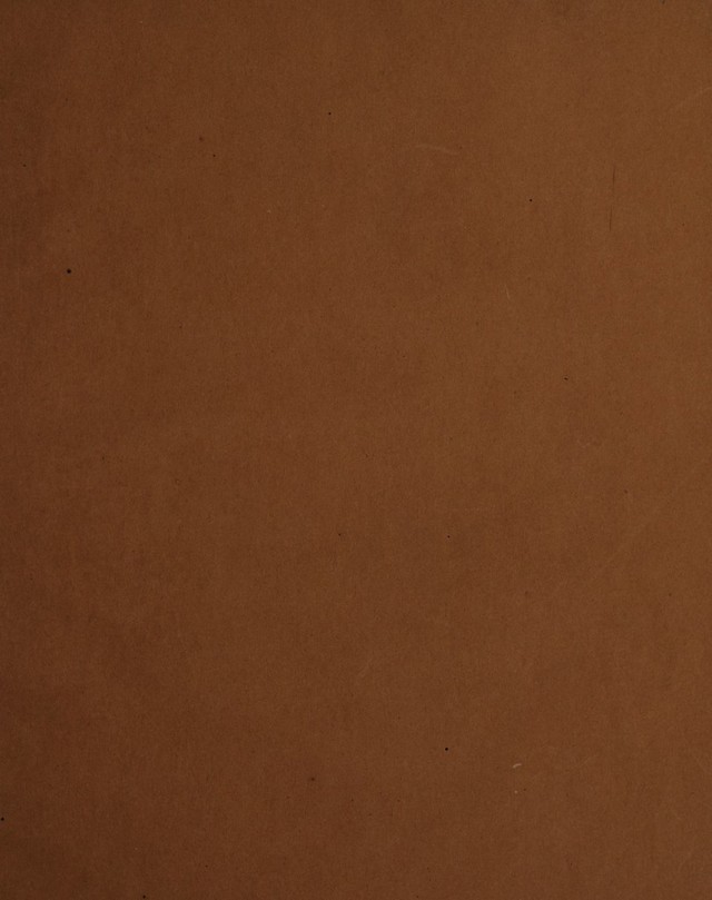 digitised image 3