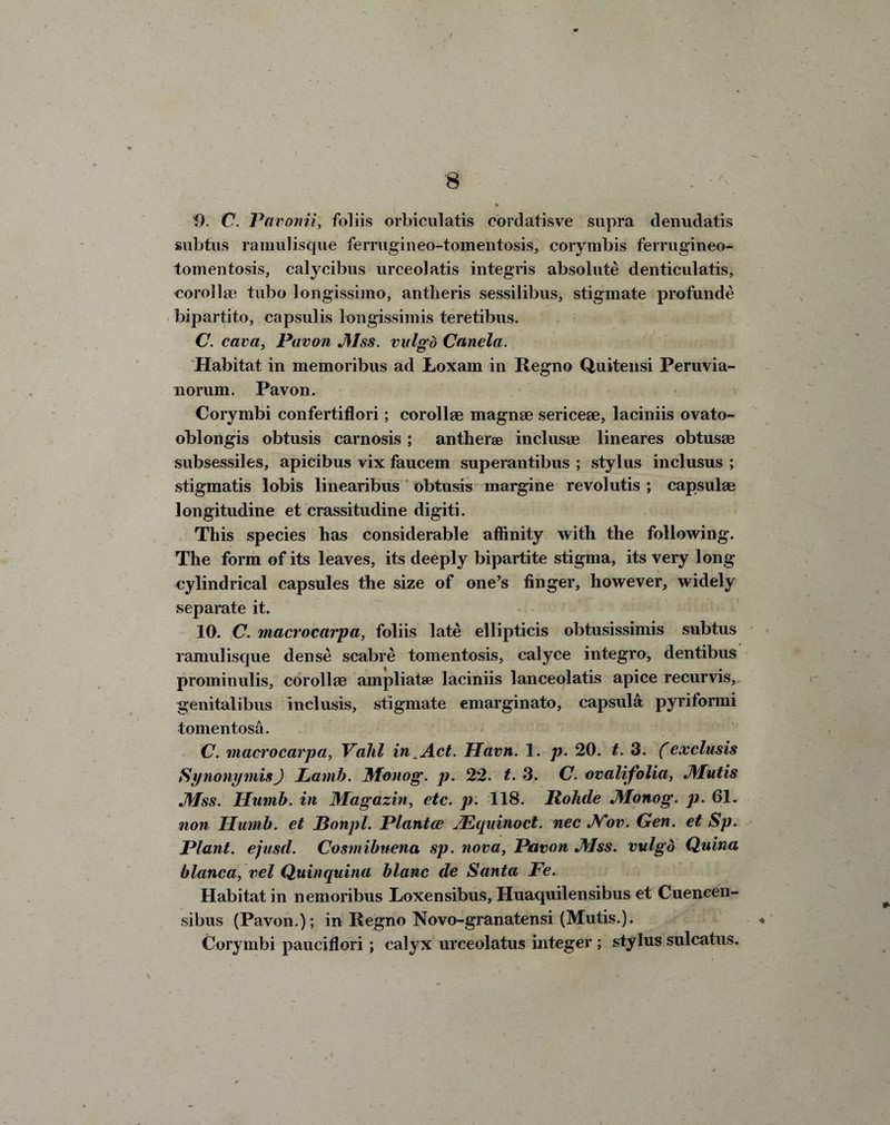 f). C. Pavonii, foliis orbiculatis cordatisve supra denuclatis subtus ramulisque ferrugineo-tomentosis, corymbis ferrugineo- tomentosis, calycibus urceolatis integris absolute denticulatis, corollse tubo longissimo, antheris sessilibus, stigmate profunde bipartito, capsulis longissimis teretibus. c. cava, Pavon Mss. vulgd Canela. Habitat in memoribus ad Loxarn in Regno Quitensi Peruvia- norum. Pavon. Corymbi confertiflori; corollae magnae sericeae, laciniis ovato- oblongis obtusis carnosis; antherse inclusae lineares obtusae subsessiles, apicibus vix faucem superantibus ; stylus inclusus ; stigmatis lobis linearibus obtusis margine revolutis ; capsulae longitudine et crassitudine digiti. This species has considerable affinity with the following. The form of its leaves, its deeply bipartite stigma, its very long cylindrical capsules the size of one’s finger, however, widely separate it. 10. C. macrocarpa, foliis late ellipticis obtusissimis subtus ramulisque dense scabre tomentosis, calyce integro, dentibus prominulis, corollae ampliatse laciniis lanceolatis apice recurvis, genitalibus inclusis, stigmate emarginato, capsule pyriformi tomentos&. C. macrocarpa, Vahl in,Act. Uavn. 1. p. 20. t. 3. (exclusis Stfnonpmis) Lamb. Monog. p. 22. t. 3. C. ovalifolia, JVIutis Mss. TIumb. in Magazin, etc. p. 118. Rohde Monog. p. 61. non TIumb. et Bonpl. Planted TEcpiinoct. nec Nov. Gen. et Sp. Plant, ejuscl. Cosmibucna sp. nova, Pavon Mss. vulgd Quina blanca, vel Quinquina blanc de Santa Fe. Habitat in nemoribus Loxensibus, Huaquilensibus et Cuencen- sibus (Pavon.); in Regno Novo-granatensi (Mutis.). ♦ Corymbi pauciflori ; calyx urceolatus integer ; stylus sulcatus. v