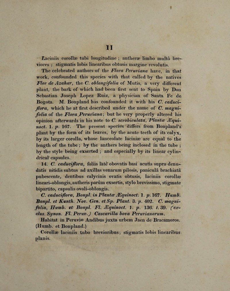 Laciniis corollae tubi longitudine ; antherae limbo multo bre- viores ; stigmatis lobis linearibus obtusis margine revolutis. The celebrated authors of the Flora Peruviana have, in that work, confounded this species with that called by the natives Flor de Azaliar, the C. oblongifolia of Mutis, a very different plant, the bark of which had been first sent to Spain by Don Sebastian Joseph Lopez Ruiz, a physician of Santa Fe de Bogota. M. Bonpland has confounded it with his C. caduci- flora, which he at first described under the name of C. magni- folia of the Flora Peruviana; but he very properly altered his opinion afterwards in his note to C. scrobiculata, Planted JEqui- noct. 1. p. 167. The present species differs from Bonpland^ plant by the form of its leaves, by the acute teeth of its calyx, by its larger corolla) whose lanceolate laciniae are equal to the length of the tube ; by the anthers being inclosed in the tube ; by the style being exserted ; and especially by its linear cylin¬ drical capsules. 14. C. caducijtora, foliis late obovatis basi acutis supra denu- datis nitidis subtus ad axillas venarum pilosis, paniculd brachiata pubescente, dentibus calycinis ovatis obtusis, laciniis corollae lineari-oblongis, autheris paruin exsertis, stylo brevissimo, stigmate bipartito, capsulis ovali-oblongis. C. caduciflora, Bonpl. in Planted JEquinoct: 1. p. 167. IJumb. JBonpl. et Kunth. JVov. Gen. etSp; Plant. 3. p. 402. C. magni- folia, IJumb. et Bonpl. FI. Mquinoct. 1. p. 136. t. 39. (ex* clus. Synon. FI. Peruv.) Cascarilla bova Peruvianorum. Habitat in Peruvian Andibus juxta urbem Jaen de Bracamoros. (Humb. et Bonpland.) Corollae laciniis tubo brevioribus; stigmatis lobis linearibus planis.