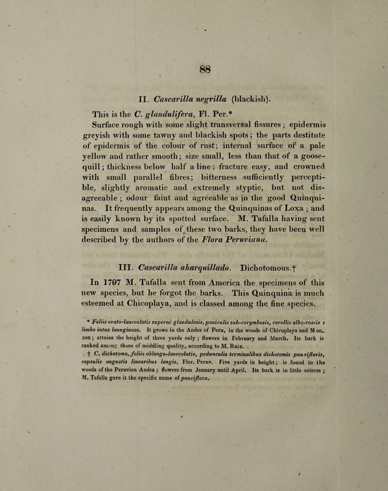 II. Cascarilla negrilla (blackish). This is the C. glandulifera, FI. Per.* Surface rough with some slight transversal fissures ; epidermis greyish with some tawny and blackish spots; the parts destitute of epidermis of the colour of rust; internal surface of a pale yellow and rather smooth; size small, less than that of a goose- quill ; thickness below half a line; fracture easy, and crowned with small parallel fibres; bitterness sufficiently percepti¬ ble, slightly aromatic and extremely styptic, but not dis¬ agreeable ; odour faint and agreeable as \n the good Quinqui¬ nas. It frequently appears among the Quinquinas of Loxa ; and is easily known by its spotted surface. M. Tafalla having sent specimens and samples of these two barks, they have been well described by the authors of the Flora Peruviana, « t , _ m ■. V f. • H III. Cascarilla aharquillado. Dichotomous.f In 1797 M. Tafalla sent from America the specimens of this new species, but he forgot the barks. This Quinquina is much esteemed at Chicoplaya, and is classed among the fine species. * Foliis ovato-lanceolatis superne glandulosis, paniculis sub-corymbosis, corollis albo-roseis : limbo intus lanuginoso. It grows in the Andes of Peru, in the woods of Chicoplaya and M on_ zon; attains the height of three yards only ; flowers in February and March. Its bark is ranked among those of middling quality, according to M. Ruiz. f C. dichotoma, foliis oblongo-lanceolatis, pedunculis terminalibus dichotomis paucifloris, capsulis angustis linearibus longis, Flor. Peruv. Five yards in height; is found in the woods of the Peruvian Andes ; flowers from January until April. Its bark is in little esteem ; M. Tafalla gave it the specific name of paucijlora.