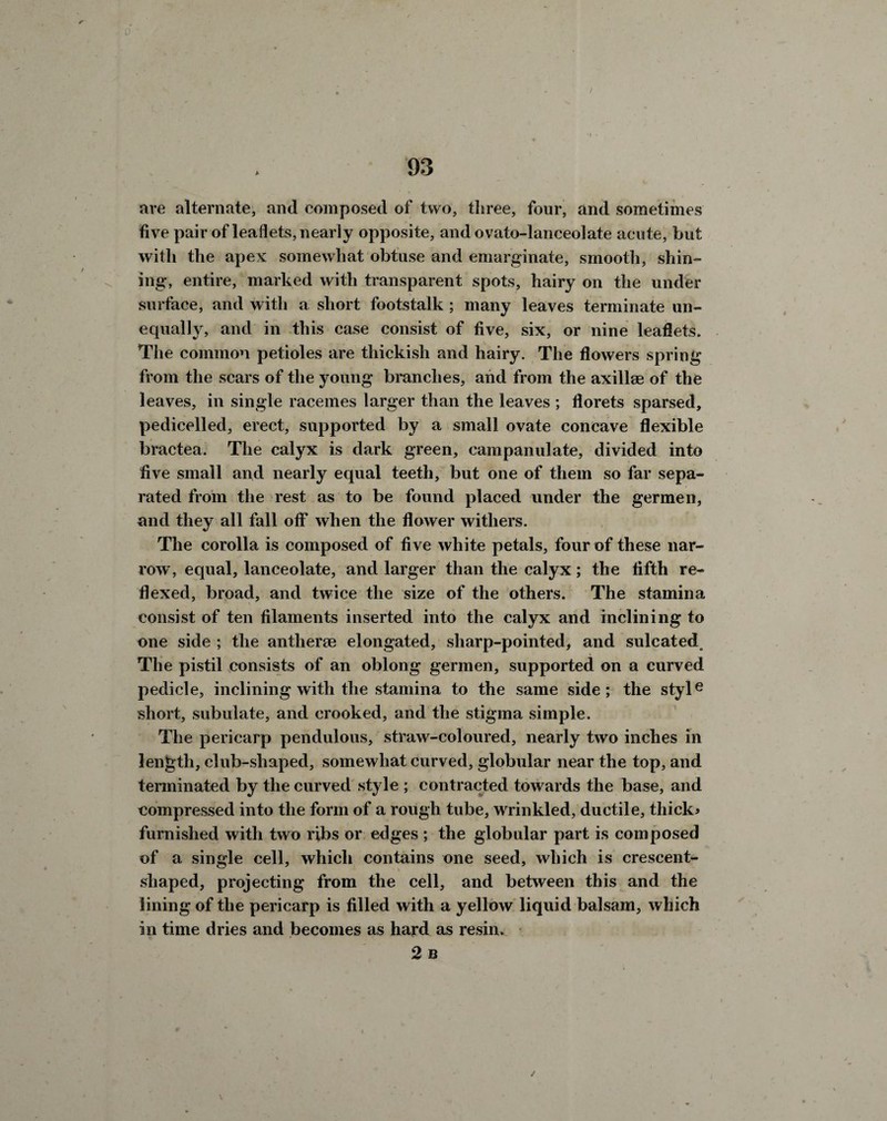 93 are alternate, and composed of two, three, four, and sometimes five pair of leaflets, nearly opposite, and ovato-lanceolate acute, but with the apex somewhat obtuse and emarginate, smooth, shin¬ ing, entire, marked with transparent spots, hairy on the under surface, and with a short footstalk ; many leaves terminate un¬ equally, and in this case consist of five, six, or nine leaflets. The common petioles are thickisli and hairy. The flowers spring from the scars of the young branches, and from the axillae of the leaves, in single racemes larger than the leaves ; florets sparsed, pedicelled, erect, supported by a small ovate concave flexible bractea. The calyx is dark green, campanulate, divided into five small and nearly equal teeth, but one of them so far sepa¬ rated from the rest as to be found placed under the germen, and they all fall off when the flower withers. The corolla is composed of five white petals, four of these nar¬ row, equal, lanceolate, and larger than the calyx; the fifth re¬ flexed, broad, and twice the size of the others. The stamina consist of ten filaments inserted into the calyx and inclining to one side ; the anther® elongated, sharp-pointed, and sulcated. The pistil consists of an oblong germen, supported on a curved pedicle, inclining with the stamina to the same side; the style short, subulate, and crooked, and the stigma simple. The pericarp pendulous, straw-coloured, nearly two inches in length, club-shaped, somewhat curved, globular near the top, and terminated by the curved style ; contracted towards the base, and compressed into the form of a rough tube, wrinkled, ductile, thick* furnished with two ribs or edges ; the globular part is composed of a single cell, which contains one seed, which is crescent- shaped, projecting from the cell, and between this and the lining of the pericarp is filled with a yellow liquid balsam, which in time dries and becomes as hard as resin. 2 B