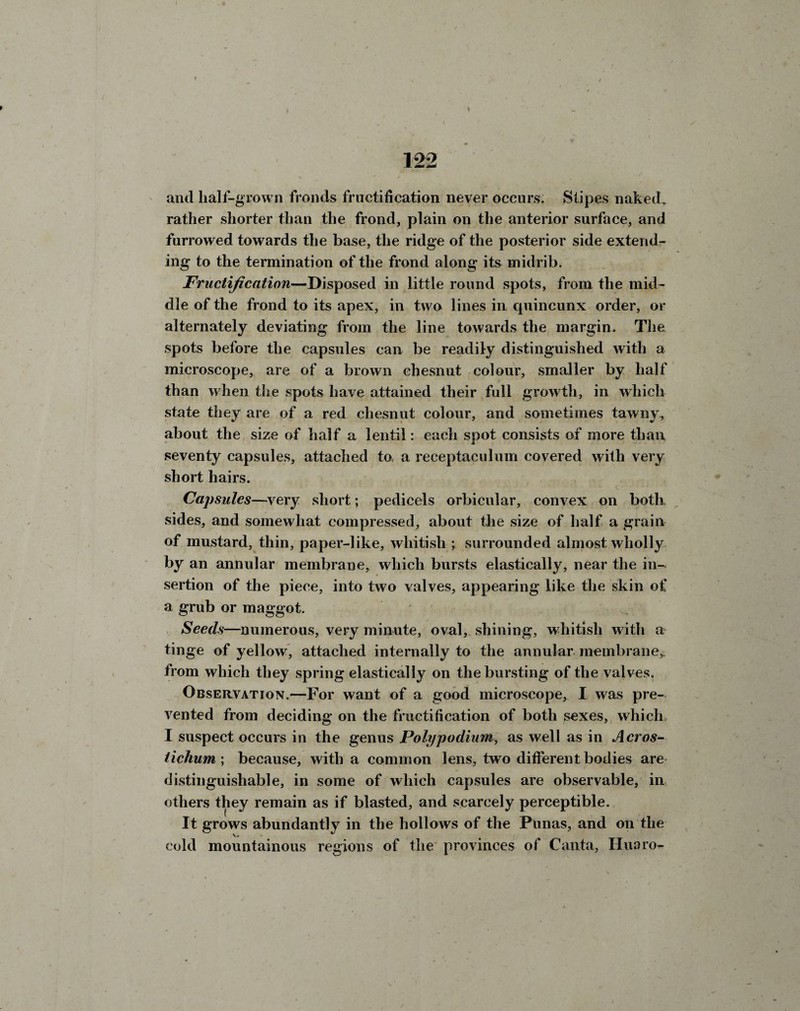 and half-grown fronds fructification never occurs. Stipes naked, rather shorter than the frond, plain on the anterior surface, and furrowed towards the base, the ridge of the posterior side extend¬ ing to the termination of the frond along its midrib. Fructification—Disposed in little round spots, from the mid¬ dle of the frond to its apex, in two lines in quincunx order, or alternately deviating from the line towards the margin. The spots before the capsules can be readily distinguished with a microscope, are of a brown chesnut colour, smaller by half than when the spots have attained their full growth, in which state they are of a red chesnut colour, and sometimes tawny, about the size of half a lentil: each spot consists of more than seventy capsules, attached to a receptaculum covered with very short hairs. Capsules—very short; pedicels orbicular, convex on both sides, and somewhat compressed, about the size of half a grain of mustard, thin, paper-like, whitish ; surrounded almost wholly by an annular membrane, which bursts elastically, near the in¬ sertion of the piece, into two valves, appearing like the skin of a grub or maggot. Seeds—numerous, very minute, oval, shining, whitish with a tinge of yellow, attached internally to the annular membrane^ from which they spring elastically on the bursting of the valves. Observation.—For want of a good microscope, I was pre¬ vented from deciding on the fructification of both sexes, which I suspect occurs in the genus Poly podium, as well as in Acros- tichum; because, with a common lens, two different bodies are distinguishable, in some of which capsules are observable, in others they remain as if blasted, and scarcely perceptible. It grows abundantly in the hollows of the Punas, and on the cold mountainous regions of the provinces of Canta, Huaro-
