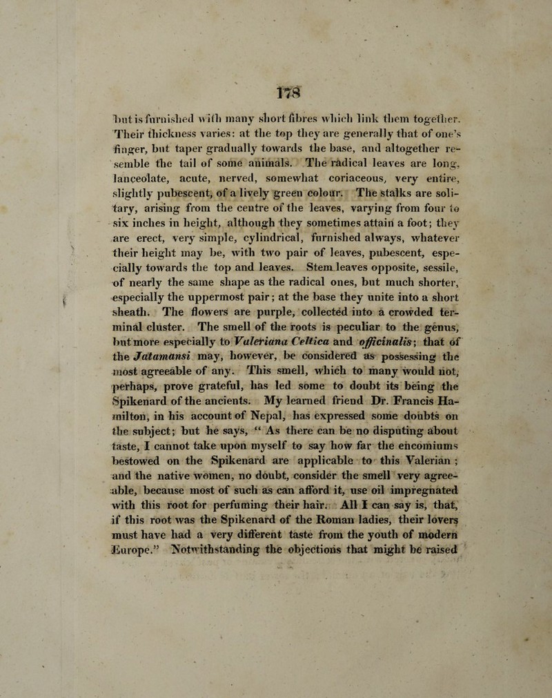 T7S l kut is furnished with many short fibres which link them together. Their thickness varies: at the top they are generally that of one’s finger, but taper gradually towards the base, and altogether re¬ semble the tail of some animals. The radical leaves are long, lanceolate, acute, nerved, somewhat coriaceous, very entire, slightly pubescent, of a lively green colour. The stalks are soli¬ tary, arising from the centre of the leaves, varying from four to six inches in height, although they sometimes attain a foot; they are erect, very simple, cylindrical, furnished always, whatever their height may be, w ith twro pair of leaves, pubescent, espe¬ cially towards the top and leaves. Stem leaves opposite, sessile, of nearly the same shape as the radical ones, but much shorter, especially the uppermost pair; at the base they unite into a short sheath. The flowers are purple, collected into a crowded ter¬ minal cluster. The smell of the roots is peculiar to the genus, but more especially to Valeriana Celtica and officinalis; that of the Jatamansi may, however, be considered as possessing the most agreeable of any. This smell, which to many would riot, perhaps, prove grateful, has led some to doubt its being the Spikenard of the ancients. My learned friend Dr. Francis Ha¬ milton, in his account of Nepal, has expressed some doubts on the subject; but he says, “ As there can be no disputing about taste, I cannot take upon myself to say how far the encomiums bestowed on the Spikenard are applicable to this Valerian ; and the native women, no doubt, consider the smell very agree¬ able, because most of such as can afford it, use oil impregnated with this root for perfuming their hair. All I can say is, that, if this root was the Spikenard of the Roman ladies, their lovers must have had a very different taste from the youth of modern Europe.” Notwithstanding the objections that might be raised