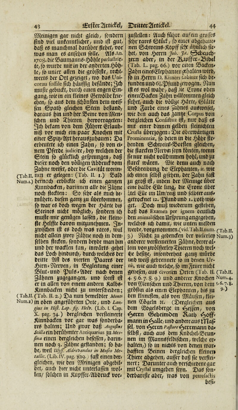 igcfiec^tticfef/ SMeinigen gar nic&t gleid)/ fcn&ern iftnb viet unfenntficfjer, ime ifi gut, t>a(j c« mancfjmal barubcr pet>ef/ cor n>as nian eS anle&eii fofle. 2(1« An. 1708. Oie S5aumaim«'^5()(e pertuftrir» tC/fo trntrbc nitrin ber an6ertenJ>?6f)= lc, fo unicr a(Ien bie groftcftc, rcdjt-' tcerto ber Drt gejeiget, tco ba« Uni- cornu foflile fectj fyduffig befdnbe;3ct) ttuifie gebucft/ burd) emcn cngcn <£in* 8ang,toiein cin flctnco ©cicolbe fnc- cbeii/ fo aiiiJ bem |'d;onften bem tvctf fcn ©patf) gfcicfjcn ©fcin beftanb/ barauo f)in unb ber 25einc con®ten' fcben unb Xbieren bcrcorrageten: 3cb befam con bem gubrer <Sr(aub< tii§ cor mid) ein paar £tiod)cn mit ciber ©piljf 2(pf beraugjubauen: Da crbeutete icb einen 3atjn/ fo eon el< nem <Pfer6e judicire, bep melcben ber ©tein fo glucilid) gcfprungen, bafj biefer nocb ben codigcn 2ibbruef com gabnc icetlcf/ ober bie Cavitdt tcorim (Tab.11.nen er gelegen: (Tab. II. 1.) S5a(b Num.i.) bernccb erbbcfte icb einen gamjctt jUnnbacfen, barinnen a(ie bie§4bne nocb ftecften; ©0 |ebr ale mid) bv mubcte, biefen gam$ ju fiberfommen, fo tcar e« bocb tcegen ber £arte be« ©tcmcs nicbt m&gdd), fonbern id) tttufle mir genftgcn lalfeti, bie fiant- fle Jfjelffte bacon mitiuncbmen. 3n< jicifcben ift e« bod) tcas rarce, iceil nicbt adcin jiccp gdbne nod) in bem- fclben ffecfen/ fonbern bepbe tnan bm unb ber roacftcn fan/ imcarto gebet baes £otb binburcb/ burcb tcelcbees ber britte 9(f! bee cierten *Paare« ber #irn»91ercen, in 25egleitung einer 2Mut<unb <pul«»2(Der nacb benen 3<tbnen jugegangen, uno fonff ift er in aden con emem anbern Ko(be< ^innbarten nicbt 511 unterfdbeiben; (Tab.11. (Tab. ii. 2.) Da nun bemclbter Monti Num.zjjn oben angefubrten Dtic, unb Lan- gms in Hifl. Lap. fig. He/y>. (Lib. I. Cap. X. pag. 34.) berglncben Derflemertc $innbacfen bor gar toaO fonberba* reo balten; Unb $mv bag Auguftns Scilla ein benlbmter Antiquarius 5tt Mes- flna emcn bergleid>en befeffcn, barim nen nocb 3* Sfl&ne gcflanben; fo ba* £>e, n?et( Ulyjf Aldrorandus in Mufco Me- taiiic. (Lib. iv. pag. 8290 faf! eincnber* gleicben, n?ie ben 9>fetnigen abgcbil* fccf/ and) btcr nicbt unterlaffcn rool'! Uni felcbcn in JUip(fcr>2lbbrucf por* jufletlen: 2tud) ffi&w aufein grofle* febr rareo ©tucf, fo cinc? abgefraue* nen ©dupeino^opff fel? dbnlicb fit* bct/ bon ^errti job. j*. Qcbeud}5 3ecn aber, tn ber 2\4pffec'23ibe! (Tab. L. pag. 66.) nor einen SSacfen* ga&n cinco^lfpbamen pcbalten rnirb, fb in ^errn D. Kisners tiabinec fid) funben unb 6|«^)funb jcmogen. 9]un ift eo trol toabf/ bag )ie drone oben einenSSacfen gafm pdifommenpfdd) \xtbti, aucb bie boO^e ^4rU, Oldtte unb Sarbe einco £a&neo auometlet/ mie ben aucb bao ^an^e Corpus t)on , ber$leid)en Confift/nz ifl, nur ba0 eo mit einer binnen gelben fleinicbtm Crufta flbtrjogen; 2)te obmpdrtigen Prominentiae, fo bCICU in bie i)6bc benben ©cbmeii^^orflen flleicbeu/ bie ffarcfen 97crt>ai fa;n fonten/toenn ftenur nicbt oobbuimen bobl/unb ju fiarcf mdreiu Sic benu aucb nad) Sefcbreibung bet SIepbantcn/ it. nnc icb cinen felbfl gifeben, ber gabn fafl 511 gro^ ift/ inbetn ber Stemige fibct: eine balbe €lle ung, bie grone fiber ^tel (£0e im Umfmg unb fcibter auO# getrocfnet 12♦ OTunbunb i^^otbmie^ get* £)ocb mu^ mteberum gefleben/ bag baO Examen per ignem OCUtlid) ben animalifcbcnUrfprungangegeben/ melcbco icb bamit, n?ie unten melben merbe, borgenommen»(vid.Tab.ii.num. (Tab.ii. 3) 91id)t; §ti gebencfen ber mcicriep Num.3) anberer oerflemerten gdbne/bereral* lein oonamolfferlepJbicrennocb tl)e beflb?/ infonberbeit ganb nifirbe unb weifj gebrennete fo in benen Ur- nij, mie aud) n)dd)e/ fo im geuer nid)t gei^efen/ auo diverien Drtcn (Tab. n. (Tab.ii. 4.5.6.7.8- 9) unb.anberer 5tnod)cn Num.4. bonStenfcben unb Sbiercn/ non bem ^-6*7-8. grofhn alo einen glepbanten/ bio £U 9 ^ ben fliineflcm alo oon S^aufen, fici» nen ^bgcln k* Oerglcicben auo bem Sogelobergc in oon fyttn (Bebeim^en ivatb mtann in fyoiXt, unb anbere auo ttlap fel/ non i^ettn ^/^^errmann ba» felbft/ aucb auo bem ^nbd)el#S5run» nen im StannOfelbifcben, meld)e cr=* balten;) fo in nicbto bon benen tvar» bafften ®einen bcrglcicben fletner» X fuere abgeben/ auffer bag ftc oerpet^ nert: Sarunteraud) oerfd)iebenegar mit Cryftal umgcbcn fepn. Z)ao fon^ berbareflc aber/ tvao bon petrefadis be(t-