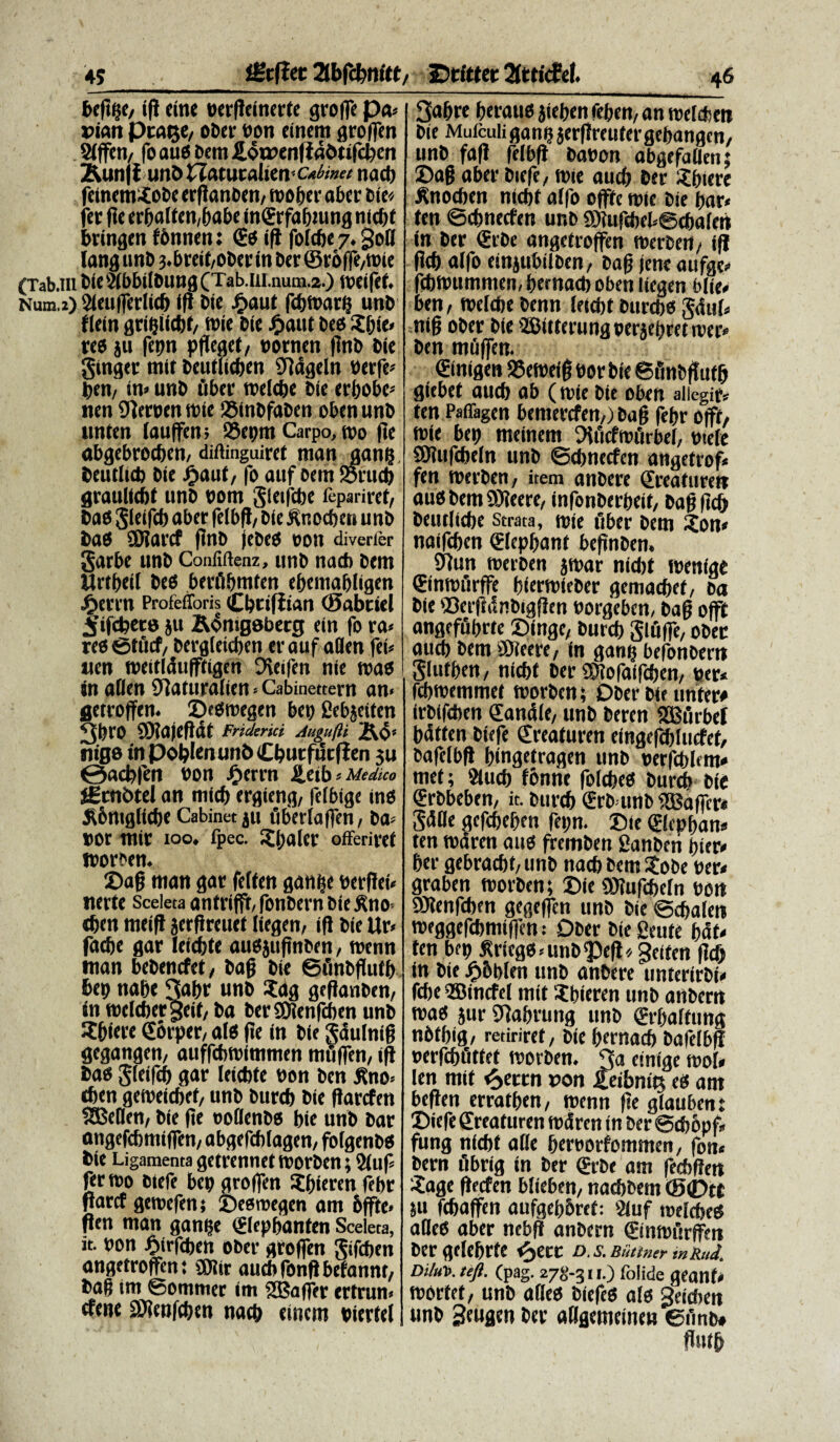 befuje, ifl eine berfleinertc grofle pa» prage, oDer bon einern groffen Sfffcn, fo aus Dem £ott>enfiadtifcl)en 2Um j f unt> WatucaheU' c*binet nad) feinemSobe erflanDen, rootjer aber Die* fer fle erbaftM/babe in€rfabtung nicbt bringen fbnnen: €s i(i fofcbe 7. goH lang unD 3.breit,oDerin Der ©r6ffe,mie (Tab.Hl Die3(bb|itDung(Tab.IlI.nutn.2.) meifet. Num.2) 2ieu|ferlicb ifl Die £aut (cf)tt>at(j unD flem griblicbf, mie Die £aut Des £bse» res ju fepn pfleget, bornen flnD Die ginger mit Deutlicben 9ldgeln berfe» ben, in» unD uber roelcbe Die erbobe» nen 91eroen mie ©inDfaDcn oben unD unten lauffen; ©epm Carpo, tt>o fle «bgebrocben, diftinguiret man gamj Deutlid) Die ijaiit, fo auf Dem SSrucb graultcbt unD oom Sletfcbe fepariret, Das glcifcb aber felbfl, Die Inocben unD DaS SMarcf flnD ieDeS COil diverfer garbe unD Conliftenz, unD nacb Dem Mrtbeil Des berfibmten ebemabligen £errn Profefforis Cbcifiian ©abtiel jjifcbet» ju ftonigeberg ein fo ra* res0tficf/ Dergleicben er auf aflen fei» uen meitldufffigen Dleifen nie mas In aflen 01aturafien*Cabinettern an< getroffen. ©esroegen bep Sebjeiten 3br0 SOiafefldt Fnderki Augufh 2v$* nige tn Pollen unD Cbutfurflen $u ©acbfen bon £errn iletb i Medico lEmDtd an micb ergieng, fei bige ins $6mglicbe Cabinet ju uberlaffni, Da» »or mir ioo. fpec. i^ljaier offeriret morDen. 2>afj man gar feften ganlje berflei» nerte Sceieta antviffr, fonDern Die &no d>en meiff jerflreuet iiegen, ifl Die Ur< facbe gar leicbte aus juflnDen, menn man beDencfet, Dafj Die ©fmbflutb bep nabe 3abr unD £ag geflanDen, fn mclcbcrgeit, Da berSRenfcben unD ?biere CEorper, ais fle in Die gaulnig gegangen/ auffcbmimmen mfiffen, ifl Das gleifeb gar feicbte bon Den j?no» tben gemeicbet, unD Durcb Die flarcfen SBeflen, Die fle ooilenDs bie unD Dar angefcbmiffen, abgefcbfagen/ folgenDS Die Ligamenta getrennet morDen; $(uf» fer mo Diefe bep groffen Sbieren febr flaret gemefen; ©esroegen am bffte. flen man ganfje <£lepbanten Sceieta, it. bon ^irfeben oDer groffen gifcben angetrojfen; SKir aucbfonflbefannt, Dag im Somnier im SBaffcr ertrun» cfene 8)?en|cben naeb eincm bierfef 3abre beraus jteben feben, an roelcben Die Muiculi ganp jerflreuter gebangcn, unD fafl felbfl Dabon abgefallen; ©afs aber Diefe, tbie aueb Der Sbiere £nocben nicbt affo offfe nue Die bar< ten ©cbnecfen unD 9)lufebef»©cbaferi in Der €rDe angetroffen merDen, ifl leb affo einjubilDen, Daf jene aufge» cbibtimmen, bernaeb oben Iiegen bfie» ben, wefebe Denn leicbr Durcbs gduf» nifj oDer Die 'ICttlerung oenebret ruer» Den mflffen. €inigen S5eibeig bor Die ©fmDftufb giebet aueb ab (n>ie Die oben aliegir» ten Paffagen bemercfen,) Da§ febr offt, mie bep meinem Otficfmfirbef, btefe SOlufcbeln unD ©ebnecfen angetrof» fen trerDcn, item anDere Sreafuretr aus Dem SWeere, infonDerbeit, Dag ficb Deutfiebe strata, mie fiber Dem Xon* naifcben €Iepbant beflnDen» 01un merDen jmar nicbt menige ©nmfirffe biermieDer gemacbet, Da Die ©erfldnDigflen borgeben, Dag offt angefubrte Singe, Durcb gluffc, oDer aueb Dem fOieere, in gantj befonDerrt gfufben, nicbt Der SDlofaifcben, bcr* fcbmemmet morDen; DDer Die unter# irDifcben dandle, unD Deren SBfirbel bdtten Diefe Creaturen eingefcbiucfet, Dafelbfl bingetragen unD oerfcblem* met; ?iucb fonne fofcbes Durcb Die QtrDbeben, it. Durcb SrD unD SKaffcr* Sdfle gefcbeben fepn. Sie ©cpban* ten mdren a«s fremDen SanDeti bier» ber gebracbt, unD nacb Dem StoDe ber« graben morDen; ©ic ©lufcbefn bort ©lenfcben gegeffcn unD Die ©cbalen meggefcbmiffen: ODer Die Seute bdt» ten bep Iricgs»unD!J)efl»/ geifen flc& in Die £6bfen unD anDere unterirDi» fcbe QBincfef mit Xbieren unD anDern mas jtir 91abrung unD <£rbaftung nbtbig, redriret, Die bernaeb Dafelbfl berfcbtlttet morDen. 3a etnige mof* fen mit ^>ecrn t>on feibnig es am beflen erratben, menn fle gfaubent ©iefe Sreafuren mdren in Der ©cbopf* fung nicbt aCfe berborfommen, fon« Dem fibrig in Der SrDe am fecbdett ?age flecfen blieben, nacbDem (S0tt ju fcbaffen aufgebbret: 2luf melcbeS ades aber nebft anDern (Einmfirffm Dergclebrfe ^ecc D,s.BSttnermRud. Di/u1>. teft. (pag. 278-311.) folide geant» mortet, unD abes DiefeS ais geieben unD geugen Der aagemtineu ©unD* flntb