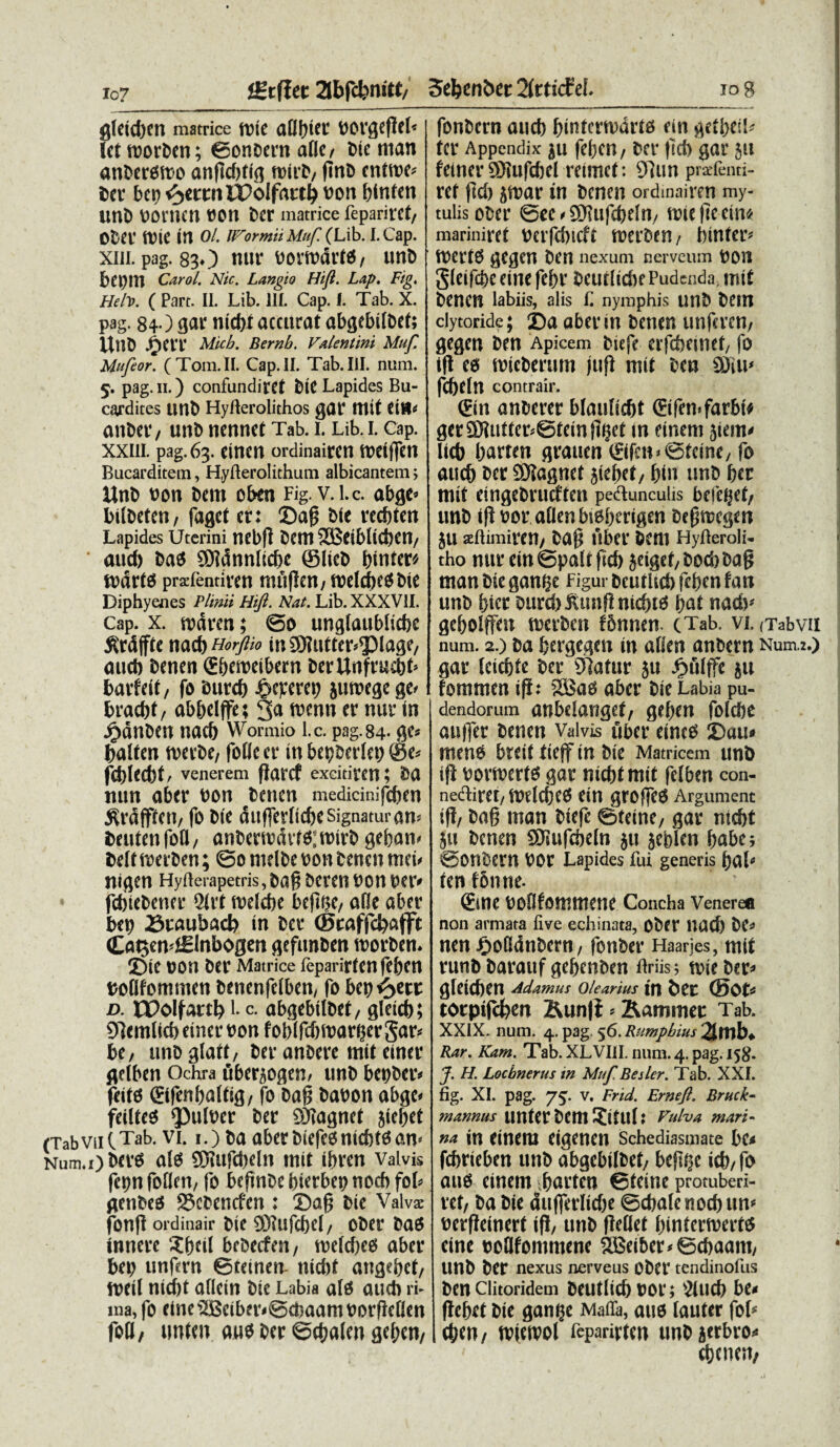 igtflet 3bfd;>mtt/ 3ebenber Tittidei io g g(etd)en matrice tv\c aflb^r borgefiel* letroorben; ©onbernafle, Ne man anberomo an|td)tig roirb/ ftnb entroe* Der beo ^errn IPoIfartb bon btnten irnD bomcn bon ber matrice feparirct, Ober tt)te in o/. UPormiiMuf. (Lib. I.Cap. xiii. pag. 83O nur borwdrW/ unb beorn Carol. Nic. Langto Hfl. Lap. Fig, Heiv. ( Part. II. Lib. 111. Cap. I. Tab. X. pag. 84) gar nicbt accurat abgebdbef; Unb J^err Micb. Bernb. Valentini Muf. Mufeor. (Tom.II. Cap. II. Tab. III. num. 5. pag. 11.) confundiret Ne Lapides Bu- cardites litti) Hyflerolithos gar ttlit tiVl* anber / unb nennet Tab. i. Lib. i. Cap. xxui. pag. 63. eirtctt ordinairen meiffcn Bucarditem, Hyfterolithum albicantem ? Unb bon bem cben Fig.v.l.c. abge* bdbetcn, faget er: ©ag Ne recbten Lapides Uterini nebff bem SOBeiblicbeu/ aud) bao 2Didnnlid>e ©lieb binter* fbdrts pradentiren muflert/roelcbeBNe Diphyenes Plinii Hifl. Nat. Lib. XXXVII. Cap. x. rndren; © o unglaublicbc ^rdffte mfyHorftio m9J?utter*<plage/ aucb benen Sbemeibern ber Unf rudit5 barfeit, fo Durd) ^eperep jmbegege' braebt/ abbelffe; 3^ tbenn er nur tn j£)dnben nacb Wormio l.c. pag.84* ge* baifen merbe, fotte er in beperlep ©e* fdjlecbt/ venerem fiaref excitiren; ba tum aber bon benen medicinifeben ^rdfften/ fo Ne dttfferltcbe signaturam DeutenfoQ/ anbertbdrf^roirb gebam Delt rnerben; @o melbe bon benen mei* nigen Hyflerapetris, bag beren bon ber* febiebener $rt roelcbe beftiK/ afle aber bep Sraubad) in ber ©taffcbafft Ca^en^Inbogen gefttnben roorben. ©te bon ber Matrice feparirten feben boflfommen benenfelben/ fo bepi^m: d. IPolfartb L c. abgebilbet/ gleicb; 91emlicbeinerbon fobifdwargerSar* be, unbglatt, ber anbere mit etttcr griben Ochra uber^ogen/ unb bepber* feito ©fenbaltig, fo bag babon abge* feiltes spufber ber QKagnet jiebet (TabvutTab. vi. i.) ba aberDtefcenicbt6an«^ Numa) ber6 ais ®?ufd)eln mit ibren Valvis fepn foflen, fo bepnbe bierbep nocb fol* genbea 95cbencfen : Sag bie Valvae fonfl ordinair bie SJUtfcbel, ober bao tnnere $bdl brbecfen, rceldjeo aber bep unftrn Steinen- nid)t angebet, meil nicbt aflein bie Labia al£ aud) ri¬ ma, fo eine2Bciber*@et)aam borfleBen foH, unten aus ber ©cbalen geben/ fonbern aucb bintermarto etn getbeil* ter Appendix $U feljCB/ bCf fld> gar JU feiner SNufcbel reimet: 97un pratfenti- ret (id) $mar in benen ordinairen my- tulis ober ©ec^ufdjeln/ tote fte etn* mariniret betfd)icft merben/ binter^ mertd ge^en ben nexum nerveum bon gleifc&c etm fd)i' jjeutltdit Pudenda, mit benen labiis, alis f. nymphis Ull5 t)fin clytoride; £>a aber in tener, iinferen, gegen ben Apicem biefe eifcheintf, fo ifl es wteberum jtifi mit ben 93iii< fefieln contrair. gin anberer b(aultd[>t ®fen*farbt* gerSRutter^gteinft^et tn einem jiem^ licb barten grauen ©fetuSteine/ fo aucb ber 9)Jagnet jiebet/ l)in unb ber mit etngebrudten pedunculis befeget/ unb t|l bor aflenbteberigen bepmegen JU aftimireU/ ba@ Uber bem HyUerolN tho nur einSpait ftd) jeiget/bod)bag man Ne gan^e Figur beutltcb feben fan unb bicr burd)Ktm(!nicbtB bat nad)^ gebolffen merben tbnnen. (Tab. vi. (Tabvii num. 2.) ba bergegen tn alkn anbern Numz.) gar tcicbte ber SRatur 5« ^fllffe jit fommen i(i: SBao aber Ne Labia pu¬ dendorum anbeianget, geben folebe auffer benen Valvis uber etneo ©au» menB bteit tieff in bie Matricem uni) ifi bormertB gar nicbtmit fetben con- nediret/fbricbeB ein grojfeo Argument i(!, bag man biefe ©teine/ gar nicbt $ju benen SJiufcbetn ju jeblen babe; ©onbern bor Lapides fui generis baltf ten fbnne. ©ne boOfommene Concha Venerefi non armata five echinata, Ober ltacb be* nen J£>ofidnt>crn / fonber Fiaarjes, mit runb barauf gebenben flriis; toie ber* gletCben Adamus Olearius |f| bCC @0t* torptjcfoeti ^un|i * Mammer Tab. XXIX. num. 4. pag. 56. Rumpbius 2lttlb* Rar. Kam. Tab. XLVIII. num. 4. pag. 158. J. H. Locbnerus in Muf, Besler. Tab. XXL fig. XI. pag. 75. v. Frid. Erneft. Bruck- mannus UlltCr fcCttl Jitlll: Vulva mari¬ na in Cinera cihenen Schediasmate bc< fcfjricben unb abgcbilbct/ hefitjc id)/ fo auS einan faitcn ©tcinc protuberi- vet/ ba bie dti(f«rlicf)c ©cbalcnodjun' ocrflcincrf ifl/ unb fMet ()intctioci-ts cinc cotlfommtne 2Bei&cr.©d)aam/ unb ber nexus nerveus Obei' tendinofus ben clitoridem beutlicf) coe; 31ucf) be« (lebet bie gan^e Maffa, ane lauter fob (ben/ wietvol feparirten unb jerbro.