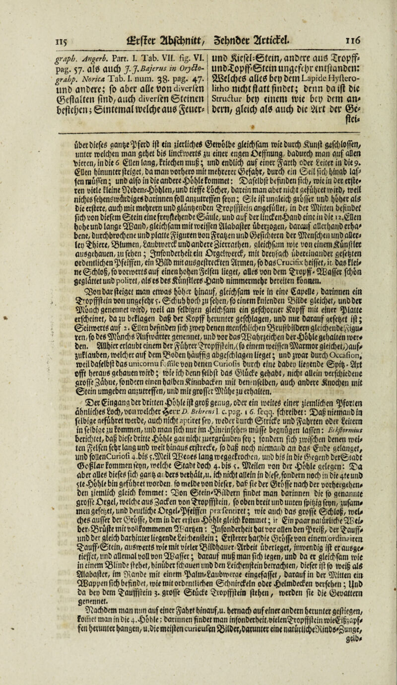 tiztflet 2tbf<fcmtt/ 2ittidtl 116 ns grapb. Angerb. Part. I. Tab. VII. fig. VI. pag. 57. al6 (UlCf) J.J.Bajerus in OryBo- grabp. Norica Tab. I. num. 38. pag. 47. unD anbere; fo abec atte ttondiverfen (geftalten ftrtD/ aud) diverfcn ©Icinen fcefic&cn ; ©intemat wlcfjc aus geucp unD £iefeL@fein, anDere auo ?ropff* unb£op(f’©fctn ungeftyr enrfmnbcn: 2Be(d)e0 aUc6 bcp betn Lapide Hyftero- litho nicbtftattfmbet; benn baifi Dic Strudur bet) etticnt ftne bcp Dem am Dcvti/ Q(eict) ate auc^ Die 8W Der @e* peu ubecbtefe^ ganfce'$fetb ift ein aterlicbe* ©ernolbe gleiebfam miebutcb £un(t gefd)lofien/ untet melcben man gebet bi$ lincfmerttf m ei net engen Oeffhung, babutcb man auf aDen \jieten, inbtc 6 gllen lang, ftkc&en mug; imb enblid) auf etner gartb ober Zeittt In bie 9♦ (5Ucn blnunterjleiget^amantjorberomltmebretcc^efabt/ burcb ein ©eilftcbbinab laf* fen raufen; unb alfo in bie anbere »&obi*fommet: ©afelbfr beftnben (td), mie in Det er (te* ren oiete f leine $fteben^£)oblen, unb fieffe Eecber, batem man abec nid)t aefubret u>ttb, meil nicb^feb^mfitbige^bacinnenfollan^mrejfenfepn; ©fe i(hmgletcb gtojTet unb bobetate bteecflece/aucbmitmebrernunbgldnbenben ^reppetr* angefulitt, in bec Sttitten beftnbef frd) oon btefem ©tein eine ftepfte^enbe ©dttle, unb auf Der lineten^mnb eme in Die 1 i.gaeti bobeunb lange^Banb/gtei^fammittveiiTenSilabafier uber^ogen, barauf alletbanberba' bene, bur#brocbeneunbplattegigurenbon§rabenunb©efid)tecn bet §ftenfcf)cuunDa8ec* lep Abiete/flumen/SaubmerS unb anbere gierratben, gleiebfam roie v>onemem$tunftlec mi$gcbauen,*ufeben; gnfonbetbeitcirt Orgeltuerct, mit brepfacb ubercinanbet gefe&ten erbentlicben ^feiffen, ein SBilb mit au^gefleccf ten $ltmen, fo bagCrudfix betffef, it. bae ilei* m©cblo§,foporrcert3auf etnenbob*n§effen lieget, afleSDonbem ^topjf* SBaffer fcftew gegldttetunbpoiitei/aleJe^bcg^unfileref^janb nimmermebr bereiten fonnern QSonbar jieiget man em>a$ feb^et binauf gleid)fam mie in eine CapeUe, barinnen ein ^opff(!dnoonungefel)r^0cbubbocf)sufeben/foememfnienben $8ilbe gleicbet, unb ber Sftoncb genennet mirb/ meti an felbtgen gleiebfam ein gefebotnet $vop|f mit einer ^Matte erfebeinet, ba &u bef(agen baf? ber $opff berunter gefdjlagen, unb nuc barauf gefe^et ijt; ©eitroetts auf 2* £l!en bejtnben ficb jmep benen mcnfcbiicben ^rufibilbern gleidbenbeSigu^ ren/ fo bes Vlufn>attet genennet/ unb oor ba^^abrieieben bet ^)bble gebaiten n>er* ben. 5iH^iet criaubi einem bet gubtet ^ropjf|leiR/(fo einem meijfcn Marmor gleicbe^)aufo jutiauben, melcbet auf bem ^?oben baufjig abgefcblagen lieget; unb amat butd) Occafion, n>eiibafelb(lba6unicornuL;.fli)eponbenenCuriofis butcb eine babep lie(?enbe ©pib*5id offe betau^gebauenmitb; mieicbbennfeibj^ bae§ (§3lucfe gebabL nicbt aUein oetfebiebene gtofTe3dl)ne,fonbetneineRba(ben^innbacben mit Dcn nfclbcn/ aucb anbere ^nod[)en mit ©tein umgeben an^utrefferi/ unb mir geofier ^ube ju erbaiten. ©et^ingangbetbtitten^obieijlgtoggenug/Obetein meite^ eim jiemlieben ^fotien dbnlid)e^£od)/Pontt)elcbet^euti). BehrensY c.pag. 16 feqq. febteibet: S)a§niemanbin felbige aefubtet metbe/ aucb nicbt aptiret feo, mebet Durcb ©triefe unb ftabrren ober £eifem in feibiae ^u fommen, unb man jieb nut im ^ineinfeben mujje begnugen lajTen: E<kjiormius beridjfet/ ba§ biefe btitte 4)bble gat nicbt auergrunDen fep; fonbern ficb jwifdjen benen mi* ten^elfcnfebtlangunb meitbinau^etjlrecfe, fo ba§ nccb niemanb an Das gnbe gelangef, unb follenCuriofi 4.bfe 9.^eii TBeoe^ langmeggehod)en/ unb b& in bie (^egenb bet©tabC <8ogl4tTommenfepn,meicbe ©tabtbocb 4‘bio u ^eilen ron bet ^)oble gclegen: ©a aber allee biefeei fid> ganb ai beto berbdlt/U. icb nicbt allein in biefe/fonbetn nod) in bie 4fe unb 5te^bbiebingefubtetmotben fotneibeoonbiefet/ Da£ftebet ©tbflenaebbee poebeegeben# ben ^iemiicb gleicb fommet: ^on ©tein^ilbern finDct man barinnen bie fo genannte grojfeOrgei/melcbeauoSacfen pon^topffltein/ foobenbreitunbuntenfpibigfepn/ j;ufam# mengefe^et/unbbeutiicbe/Otgei^feiffen pr^fentiret; mie and) bao grofie ©dbio§, mU cbeo auffer bet ©rbff?/ bem in bet erfien JfrhW gleicb lommet; it §in paar naturltcbe 2Bef# bet^rullemitp^ifommenen^Tarben: SnfonbetbeitbatnoraOenben^teib/ ber^auff# unb ber gleicb barbintet liegenbe £eid)enflein; grjletet bat]bie ©tbjfe bon einemiordinaitea ^auff^0tein, auOmertomiemitbieletQ3ilbbaueri5ltbeit uberleget, inmenbig ijl erauoge# riejfet, unb allemal pofl bon ^Baffet; barauf mu§ man ftcb legen, unb ba et gletebfam rnie in einem 33linDe flebet, binubet febauen unb ben £eicben|tein betrachten, biefet i)l fo mei§ al(5 $llaba(let, im £Ranbe mit einem ^alm^aubmerge eingefaffet, barauf in ber 5Jtitten eitt C®appen|td)beftnbet, miemitotbentltcben ©cbnircfeln obet »©elmbecfen betfeben; Ifnb ba bep bem $auff|iein 3. gtoffc ©tuete ^topfjtein (leben, rnerben (te bie ©ebattertt genennet. Cfiacbbem man nun auf einer Jabtf binauf;u. betnacb auf einer anbern berunter gefriegen/ f ornet man in bie 4.'#oble; barinnen finbet man infonberbeif/bielen3“topjffiein mie^ifoapf^ fen berunter bungen/ u.bie meijlen curieufen SSilbet/barumer eine naturlicbeDf inb^gunge, geib^