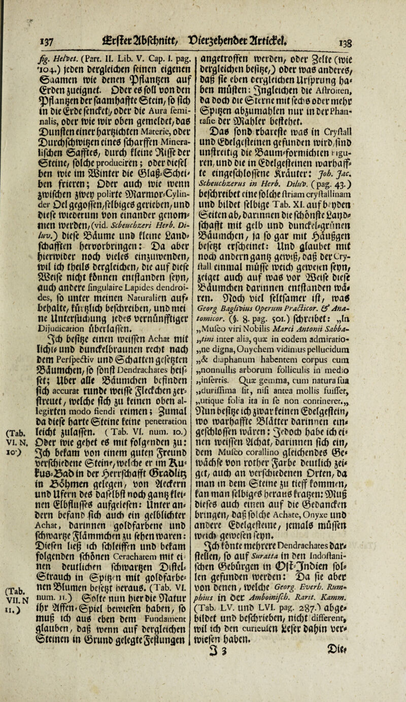»37 H:cf!fl:2tbfct)nitt, TOtet^ebenbet Xtti&cL fig. HelDet. (Part. II. Lib. V. Cap. I. pag. •104.) jeben bcrglcicben fctncn eigencn ©uamen fote Dcnen 'Pflatt^en «uf €rben jueignct. Ober ees fott con bcn «Pflangm Der faambaftte ©tcm, fo fici) tn Oie^fbefcncfcii/ODct' Die Aura femi¬ nalis, ober foic roir oben gemclbct,bad 2>unften einer ^ar^icbfen Materie, ober SDurcbrctjfoi^encines fcbarffcn Minera- lifcben ©afftcd/ burcfi fleine Dliffe Der ©teine, fbidje producireit; ooetr otefel ben nue im 2Binter Die ©[ag>©d)ei' bcn frieren; Dbcr auct) tote rcenn jroifcben jtoeo polirfe 9Karmor*Cylin- der Del gegoffen/fclbiged gerieben/ unb biefe nuccerunt oon einanber genom* ttien tVtfben/(vid. Scbeuchzeri Heri. Di- luv.') biefe S3dtime unb fleine 2anb» fcbafften bcroorbringen: ©a aber (jierrotcer nocb tJieleef einjuroenben/ toti id) tbetld bergleitben/ bie auf biefe SSSeife nicbt fSnnen entflanben fetm, aud) anbere lingulaire Lapides dendroi- des, fo iinter meinen Naturalien auf* bciialte, ffnijlid) befcbretben, unb ntei ne Untcrfuduing jebed ocrniinfftigcr Dijuciication flbcrlaffcn. 3<b befijc einen toctflen Achat mif licbie unb Duncfelbraunen redit nad) bent Perfpediv unb ©cbatten gefcljtcn S5dtinubett/ fo fbnft Dendrathates bcif fet; Uber aOe ajaumefoen bcfitben jicb accurat tlMbe tbeiffe gfecfcben $ev* fireuet, roelcbe flcb 511 feinen oben al- legirten modo fiendi veimcri; Sumal fea biefe burte ©teine teine penetration (Tab. leicbt jutaffcn^ ( Tab. VI. num. 10.) vi. n. Dber tvie gefet ed mif fofgenben ju: *>•) 3<6 befam von einem guten Sreunb berfebiebene ©tein<vtt>el«i)e er im fuscat» in ber Jjjerrfcbaff t (Stadlig in fidamen gelcgcn, voti 31ecfern unbUfern bed bafeibfl nocb ganlj flet* nen (Elbfulffd aufgelefrn: Unter an* bern befanb ftcb autb ein gelblicbter Achat, barinnen golbfarbene unb febroarge $l<Smmcben ju feben roaren : ©iefen liefj icb fctoleiffcn unb befam folgenben fcbbncn Cerachatem niit ei1 nen beutiicben febroargen ©iflel* ©traucb in ©pifjrn mit golbfarbe* (Tab. nen S5lumen bcfciu ueraud. (Tab. vi. vii. n num-11) ©ofte nun bier bie Olatur n.) ibr 2tffen.©pie( berotejen babeu/ fo mug icb aud eben betn Fundament gtouben, bag tvenn attf bcrglctcben ©temen in ©runb gelegteSejlungen 138 angetroffen tverben, ober gelfe (roie bergleicben be|ige,;) ober roae anbered/ bag fle eben cergleicben Urfprung ba* ben mfillen: 3ngleid)cn bte Aflroiten, ba bocb Cie ©terne mit fecbe ober mebe ©pujen abjumablen nur inberPhan- tafie ber OJiabfer bcflcbef. ©a$ fonb rbatcfle road in Cryrtall unb l£befge|leinen gcfunben mirbftnb unjlreitig bie SSaum*formicbten ngu- ren,unb bie in (£belgefleinen roarbaff» te eingefcbloffcne Arati ter: job. jac. Scbeucbzerus in Herb. DiluD. ( pag. 43.) befebreibet Cfne folebe tlriam cryflallinam unb bilbet felbige Tab. XI. aufb pben ©citen ab/ barinnen bie fcbbnfie Daijb* fcbaftt mit gelb unb buncfebgrnnm 33dumd)cn, ja fo gar mit ^auggtn befe^t erfebeinet: Unb glaubet mit nocb anbcrngani) getwg, oag berCry- tlall emmal muffe tbeid) geroeien feptt/ jciget aucb auf road oor Betfe biefe SSdumcben barinnen entflanben rod* ren. 91ocb vici feltfamer ifl/ road Georg Bagli\>ms Operum Pratticor. (f Ana- tomicor. ($. 8. pag. SOI.) fd)t*nbet: „Mideo viri Nobilis Marci Antonii Sabba- „tini iater alia,qua: in eodem admiratio* „ne digna, Oay ehem vidimus pellucidum „& diaphanum habentem corpus cum „nonnullis arborum folliculis in medio „inlertis. Qux gemma, cum natura fua „duriflima lit, nili antea mollis fuiflet, ^utique folia ita in fe non continerer.,, 9]un beft^e tct> jmar fetnen ®Defgef!em, m war()affte 23(dtter Darinnen em* gefcblcfTen tpdren: 3^oct> ^abe icfm* nen n>eif]en fiebat, barinnen (icb etn. Dem Mufco corallino $leicben6e$ @e* rndcbfe t>on rotber Jmbe beutlicb jet* get/ aucb an fcerfcbie&encn Drren, ba man in bem ©teine ju ttcff fommm/ fan man felbig^ beraiid fia^cn: t)iefe6 aucb emen auf bie ©ebandfw briU^eU/ ba@fOlcbe Achate,Onyxe mb anbere goe^efleme/ jeroate mufletr mdcb gemefenfepUd 3* Bute mebrere Dendrachates bar* flefien/ fo auf suratta in ben indoUani- feben ©eburgen in 0|l?Jnbicn fof* len gefunben merben: ©a jie abet \)on benen, welcbe Georg. Everb. Rum- pbius ifl dCt Amboinifcb. Rartt. Kamm. (Tab. lv. unb lvi. pag. 2g7^ abge* bilbet unb befcbneben/ nicbt different, mil icb fcen cuneuien kiefer babin ber* ibiefen babem