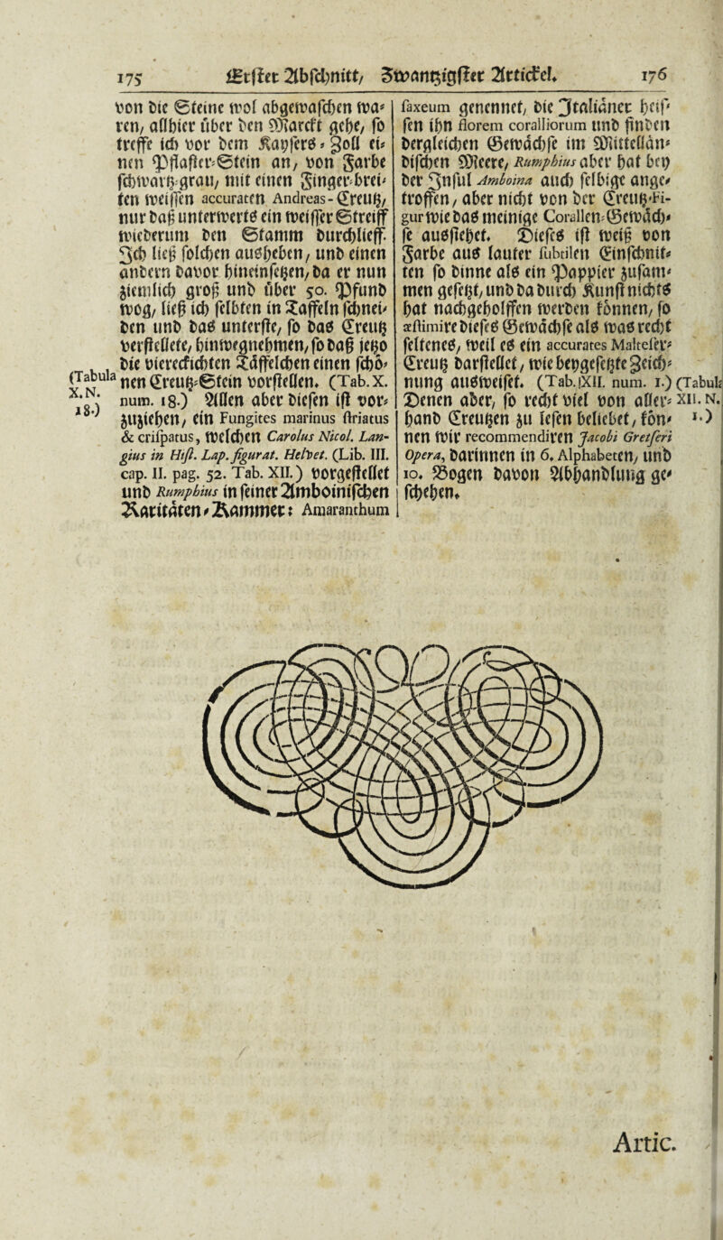 igijfet 2tbfa>nitt/ SiffltiQtgfitr 2fttic£c!, bon Cie ©leine srof abgeroafeben ira* ren, aflbier uber ben CDTarcft gebe/ fo tvtffe idi bor bem £cu; feres > gofl tu nen ipflafkr<©tein an, bon garbe fcbivarigrati/ tuit euien Singerbreb fen ibeijfcn accuratett Andreas-dretliJ/ nur fcag untcriverfb ein ibeifferSfreiff nneberum beti ©lanuti bureblieff 3* licg folcfjcn aubljcbett/ unb einen anbern babor binetnfeflen/ba er nun jienilieb grofi unb fiber 50. epfunb tbog/ licfi id) fefbte n in Xaffeln fcbneb ben unb bao unterffe, fo bao dreu? berfiefiefe, btnibfgnebmen,fobd§ lego , , bie bierecficbten Jdffeicben einen fcbo< (Tabula ncng;reU^©fcin borfietlen. (Tab.x. x,fv num. 18 ) Siflen aberbiefen ifl t>or* jitjieben, ein Fungites marinus (iriatus & cnlpatus, fbelcben Carolus Nico/. Lan- gius in Hijl. Lap.figurat. Hcfoet. (Lib. III. cap. 11. pag. 52. Tab. xii.) borgefleUet unb Rumpbius in femer 21niboinifcben Jvatitaten / J&ammtt: Amaranthum 176 , faxeum genennet; bie 3to!wnet bcif fen ibn florem coralliorum unb finbeil bergieieben ©etbddife im 9JJittefIdn« bifeben SOfeere/ Rumpbius aber bat bcp ber 3nful Amloina aucf) fclbige ange/ troffen/ aber nicbt ben ber dfcuijFi- gurtbiebaomeinige Corallen>©etbdd)« fe auoflebet. ©iefcS iff tbeif? oon garbe au$ faufer fubtilen dinfefenif* ten fo binne ales ein ©appier 5ufam< men gefctjf unbbabureb jUmflnicbte bat nacbgebolffen roerben fbnnen/ fo aflimirebiefeeS ©etbdebfealo ibaererijt felfeneeS/ tbeil es ein accurates Maitefer* dreuij barffefief/ tbiebepgefcbfegeicb* nung OtlOibeifef. (Tab.jXII. num. 1.) (Tabui,- ©enen aber/ fo reebfbief bon aDer/Xii.N. banb dreugen }ti fefen beltcbet, fon< *•) tlCtl tVll* recommendintl Jacobi Gretferi opera, barinnen in 6, Alphabetcn/ unb 10. S5ogen babon SfbbanbUmg ge* febeben. 1